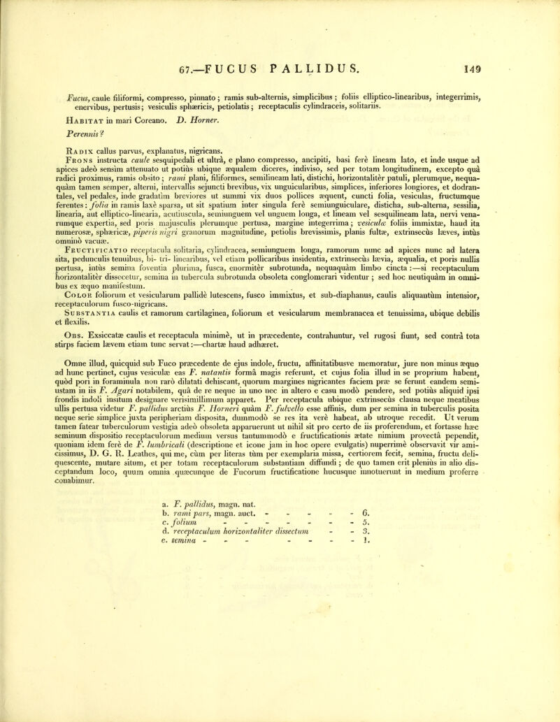 Fucns, c&ule filiformi, compresso, pinnato ; ramis sub-alternis, simplicibiis ; foliis elliptico-linearibus, integerrimis, enervibus, pertusis; vesiculis sphaericis, petiolatis; receptaculis cylindraceis, soiitariis. Habitat in mari Coreano. D. Horner. Perennis Radix callus parvus, explanatus, nigricans. Frons instructa c«M/e sesquipedali et ultr^, e piano compresso, ancipiti, basi fere lineam lato, et inde usque ad apices ade6 sensim attenuato ut potifis ubique aequalem diceres, indiviso, sed per totam longitudinem, excepto qud radici proximus, ramis obsito ; rami plani, filiformes, semilineam lati, distichi, horizontaliter patuli, plerumque, nequa- qu^m tamen semper, alterni, intervallis sejuncti brevibus, vix unguicularibus, simplices, inferiores longiores, et dodran- tales, vel pedales, inde gradatim breviores ut summi vix duos poUices sequent, cuncti folia, vesiculas, fructumque ferentes: folia in ramis laxe sparsa, ut sit spatium inter singula fer^ semiunguiculare, disticha, sub-alterna, sessilia, linearia, aut elliptico-Iinearia, acutiuscula, semiunguem vel unguem longa, et lineam vel sesquilineam lata, nervi vena- rumque expertia, sed poris majusculis plerumque pertusa, margine integerrima; vesiculce foliis immixtas, baud ita numerosse, spha;ricae, piperis nigri granorum magnitudine, petiolis brevissimis, planis fultae, extrinsecus laeves, intus omninc> vacuse. Feuctificatio receptacula solitaria, cylindracea, semiunguem longa, ramorum nunc ad apices nunc ad latera sita, pedunculis tenuibus, bi- tri- linearibus, vel etiam poUicaribus insidentia, extrinseciis laevia, aequalia, et poris nullis pertusa, intus semina foventia pluriraa, fusca, enormit^r subrotunda, nequaquam limbo cincta :—si receptaculum horizontaliter dissecetur, semina in tubercula subrotunda obsoleta conglomerari videntur; sed hoc neutiquam in omni- bus ex aequo manifestum. Color foliorum et vesicularum pallide lutescens, fusco immixtus, et sub-diaphanus, caulis aliquantilm intensior, receptaculorum fusco-nigricans. Substantia caulis et ramorum cartilaginea, foliorum et vesicularum membranacea et tenuissima, ubique debilis et flexilis. Obs. Exsiccatae caulis et receptacula minime, ut in praecedente, contrahuntur, vel rugosi fiunt, sed contra tota stirps faciem laevem etiam tunc servat:—chartae baud adhaeret. Omne illud, quicquid sub Fuco praecedente de ejus indole, fructu, affinitatibusve memoratur, jure non minus aequo ad hunc pertinet, cujus vesiculae eas F. natantis forma magis referunt, et cujus folia illud in se proprium habent, qu^td pori in foraminula non rar6 dilatati dehiscant, quorum margines nigricantes faciem prae se ferunt eandem semi- ustam in iis F. Agari notabilem, qua de re neque in uno nee in altero e casu mod6 pendere, sed potiiis aliquid ipsi frondis indoli insitum desiguare verisimillimum apparet. Per receptacula ubique extrinsecus clausa neque meatibus siUis pertusa videtur F. pallidm arctius F. Hornei'i quam F.futvello esse affinis, dum per semina in tuberculis posita neque serie simplice justa peripheriam disposita, dummodo se res ita vere habeat, ab utroque recedit. Ut verum tamen fatear tuberculorum vestigia adet) obsoleta apparuerunt ut nihil sit pro certo de iis proferendum, et fortasse ha?c seminum dispositio receptaculorum medium versus tantummod6 e fructilicationis aetate nimium provecta pependit, quoniam idem fere de F, lumbricali (descriptione et icone jam in hoc opere evulgatis) nuperrime observavit vir ami- cissimus, D. G. R. Leathes, qui me, cum per literas tilm per exemplaria missa, certiorem fecit, semina, fructu deli- quescente, mutare situm, et per totam receptaculorum substantiam diffundi; de quo tamen erit plenius in alio dis- ceptandum loco, quum omnia quaecunque de Fucorum fructificatione hucusque innotuerunt in medium proferre eouabimur. a. F. paUidus, magn. nat. b. rami pars, magn. auct. ----- 6. c. folium - 5. d. receptaculum horizontaliter dissectum - - 3. e. semina