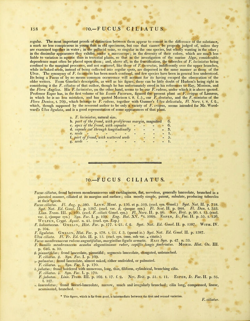 regular. The most important proofs of distinction between them appear to consist in the difference of the substance, a mark no less conspicuous in young than in old specimens, but one that cannot be properly judged of, unless they are examined together in water; in the pellucid veins, so singular in the one species, but wholly wanting in the other ; in the dissimilar appearance they exhibit under a microscope; in the diversity of their colors, which are much less liable to variation in aquatic than in terrestial plants, so that in the investigation of the marine Algae, considerable dependence must often be placed upon them ; and, above all, in the fructification, the tubercles of F. laciniatus being confined to the marginal processes, and not scattered, like those of F. laceratus, indifferently over the upper branches, while its naked seeds, instead of being collected into regular spots, are dispersed in the same manner as those of the Ulvae. The synonymy of F. laciniatus has been much confused, and few species have been in general less understood. Its being a Fucus of by no means common occurrence will account for its having escaped the observation of the older writers. From Gmelin's description, as well as his figure, there can be little doubt of Hudson's being right in considering it the F. ciliatus of that author, though he has unfortimately erred in his references to Ray, Morison, and the Flora Anglica. His F. laciniatus, on the other hand, seems to be our F. rubens, under which it is above quoted. Professor Esper has, in the first volume of his looms Fucorum, figured the present plant as F. crispus of Linnaeus, in which he is no less mistaken, and has quoted Morison t. 8. f. 5., our F. dentatus, and the F. miniatus of the Flora Danica, t. 769-, which belongs to F. rubens, together with Gunner's Ulva delicatula, Fl. Now. t. 8. f. 2., which, though supposed by the reverend author to be only a variety of F. crispus, seems intended for Mr. Wood- ward's Ulva ligulata, and is a good representation of some appearances of that plant. a. jP. laciniatus, natural size. b. part of the frond, with proliferous margin, magnified 6. c. apex of the frond, with capsules - - - - 6. ^ d. capsule cut through longitudinally - - - - 3. 6. seeds - -- -- -- -- l. f. part of frond, with scattered seeds - - - 5. g. seeds -------- ~ i. ^' 70.—FUCUS CILIATUS. Fucus ciliatus, frond between membranaceous and cartilaginous, flat, nerveless, generally lanceolate, branched in a pinnated manner, ciliated at its margins and surface ; cilia mostly simple, patent, subulate, producing tubercles at their apices. Fucus ciliatus. Fl. Ang. p. 580. Linn. Mant. p. 136. et p. 519. (excl. syn. Gmel.) Syst. Nat. It. p. 718. Syst. Nat. Ed. Gmel. II. p. 1387. (excl. var. ^, ejusque syn.) Fl. Scot. II. p. 944. Fl. Dan. t. 353. Linn. Trans. III. p. l60. (excl. F. ciliati Gmel. syn.) Fl. Norv. II. p. 90. Ner. Brit. p. 90. t. 15. (excl. var. ^, ejusque syn.) Syn. Fuc. I. p. I69. Eng. Bot. XV. *t. IO69. Esper, Ic. Fuc. II. p. 55. t. 136. WuLFEN, Crypto Aquat. n. 41. (excl. syn. Esp.) F. holosetaceus. Gmelin, Hist. Fuc. p. 177. t. 21. f. 2. Syst. Nat. Ed. Gmel.ll. p. J387. With. IV. p. 104. F. ligulatus. Gmelin, Hist. Fuc. p. 178. t. 21. f. 3. (quoad ic.) Syst. Nat. Ed. Gmel. II. p. 1387. Ulva ciliata. Fl. Fr. Ed. Ida. II. p. 13. (excl. syn, omn. sub var. « citatis.) Fucus membranaceus rubens angustifalius, marginibus ligulis armatis. Raii Syn. p. 47. n. 33. F. humilis membranaceus acaulos elegantissimus ruber, capi^lis longis fmbriatus. Moris. Hist. Ox. III. p. 646. n. 10. B. pinnatifidus; frond lanceolate, pinnatifid; segments lanceolate, elongated, unbranched. F. ciliatus. B- Syn. Fuc. I. p. 169- y. palmatus; frond lanceolate, almost naked, either undivided, or palmated. F. ciliatus. y. Syn. Fuc. I. p. 170. ^ S.jubatus; frond bordered with numerous, long, thin, filiform, cylindrical, branching cilia. F. ciliatus. Syn. Fuc. 1. p. 170. F.jubatus. Linn. Trans. III. p. 162. t. 17. f. 2. Ner. Brit. p. 51. t. 11. Esper, Ic. Fuc.ll. p. 35. t. 127. t. lanceolatus; frond lineari-lanceolate, narrow, much and irregularly branched; cilia long, compressed, linear, acuminated, branched. • This figure, which is far from good, is intermediate between the first and second varieties. jF. ciliatus.