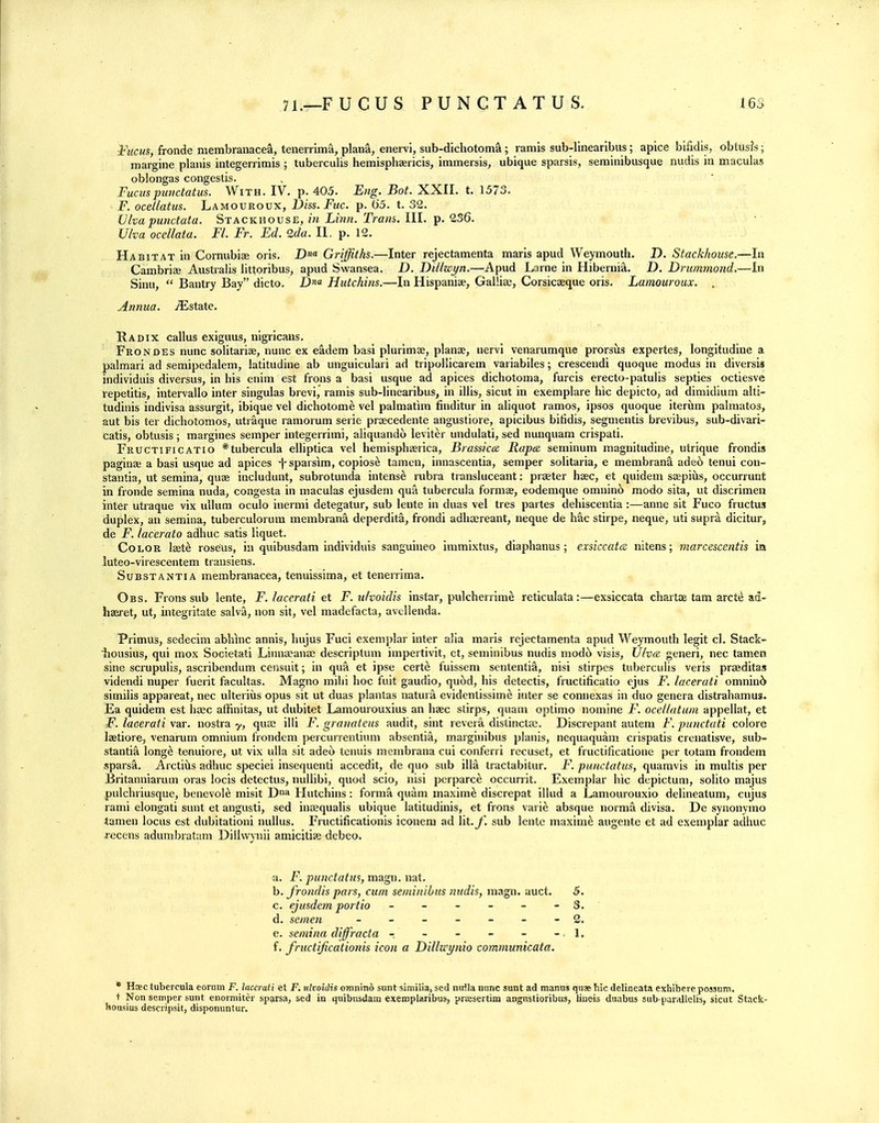 71.—FUCUS PUNCTATUS. 16S Fucus, fronde membranacea, tenerrima, plana, enervi, sub-dichotoma; ramis sub-linearlbus; apice blfidis, obtusis; margine planis integerrimis ; tuberculis hemisphajricis, immersis, ubique sparsis, serninibusque nudis in maculas oblongas congestis. Funispunctatus. With. IV. p. 405. Eng. Bot. i. 1513, F. ocellatus. Lamouroux, Diss. Fuc. p. 65. t. 32. Ulva punctata, Stackhouse, m rrc«5. III. p. 236. • Ulva ocellata, Fl. Fr. Ed. Qda, II. p. 12. Habitat in Cornubise oris. D«« Griffiths.—Inter rejectamenta maris apud Weymouth. D. Stackhouse.—In Cambriae Australis littoribus, apud Swansea. D. Dilhcyn.—Apud Larne in Hiberni^. D. Drummond.—In Sinu,  Bautry Bay dicto, D^a Hutchins.—In Hispaniae, Gallise, Corsicffique oris, Lamouroux. . Annua, j^^state. Radix callus exiguus, nigricans. Frondes nunc solitariae, nunc ex eadem basi plurimse, planae, nervi venarumque prorsus expertes, longitudine a palmari ad semipedalem, latitudine ab unguiculari ad tripollicarem variabiles; crescendi quoque modus in diversis individuis diversus, in his enim est frons a basi usque ad apices dichotoma, furcis erecto-patulis septies octiesve repetitis, intervalio inter siugulas brevi, ramis sub-linearibus, in illis, sicut in exemplare hie depicto, ad dimidium alti- tudinis indivisa assurgit, ibique vel dichotome vel palmatira finditur in aliquot ramos, ipsos quoque iterum palraatos, aut bis ter dichotomos, utraque ramorum serie praecedente angustiore, apicibus bitidis, segmentis brevibus, sub-divari- catis, obtusis ; margines semper integerrimi, aliquandi) leviter undulati, sed nunquam crispati. Fructificatio *tubercula elliptica vel hemisphaerica, Brassicce Rapce seminum niagnitudine, utrique frondis paging a basi usque ad apices f sparsim, copiose tamen, innascentia, semper solitaria, e membran^ ade6 tenui con- stantia, ut semina, quae includunt, subrotunda intense rubra transluceant: praeter haec, et quidem saepius, occurrunt in fronde semina nuda, congesta in maculas ejusdem qua tubercula formas, eodemque omuinb modo sita, ut discrimen inter utraque vix uUum oculo inermi detegatur, sub lente in duas vel tres partes dehiscentia :—anne sit Fuco fructus duplex, an semina, tuberculorum membrana deperdita, frondi adhaereant, neque de hac stirpe, neque, uti supra dicitur, de F. lacerato adhuc satis liquet. Color laet^ roseus, in quibusdam individuis sanguuieo immixtus, diaphanus ; exsiccata nitens; marcescentis in luteo-virescentem transiens. Substantia membranacea, tenuissima, et tenerrima. Obs. Frons sub lente, F. lacerati et F. ulvoidis instar, pulcherrime reticulata:—exsiccata chartae tarn arete ad- haeret, ut, integritate salva, non sit, vel madefacta, avellenda. Primus, sedecim abWnc annis, hujus Fuci exemplar inter alia maris rejectamenta apud Weymouth legit el. Stack- housius, qui mox Societati Linnseanae descriptum impertivit, et, seminibus nudis modt) visis, Ulva generi, nec tamen sine scrupulis, ascribendum censuit; in qua et ipse certe fuissem sententia, nisi stirpes tuberculis veris prseditas videndi nuper fuerit facultas. Magno milii hoc fuit gaudio, qu5d, his detectis, fructificatio ejus F. lacerati omnin6 simiiis appareat, nec ulteriiis opus sit ut duas plantas natura evidentissim^ inter se connexas in duo genera distrahamus. Ea quidem est base affinitas, ut dubitet Lamourouxius an heec stirps, quam optimo nomine F. ocellatum appellat, et F. laoeraii var. nostra y, quag illi F. granateus audit, sint revera distinctas. Discrepant autem F. pu?ictati colore laetiore, venarum omnium frondem ]>ercurrentium absentia, margiuibus planis, nequaquam crispatis crenatisve, sub- stantia long^ tenuiore, ut vix ulla sit adet) tenuis membrana cui conferri recuset, et fructificatione per totam frondem sparsa. Arctiiis adhuc speciei insequenti accedit, de quo sub ilia tractabitur. F. punctatus, quaravis in multis per Britanniarum oras locis detectus, nuUibi, quod scio, nisi perparce occunit. Exemplar hie depictum, solito majus pulchriusque, benevolo mislt D^a Hutchins: forma quam maxime discrepat illud a Lamourouxio delineatum, cujus rami elongati sunt et angusti, sed inaequalis ubique latitudinis, et frons varie absque norma divisa. De synonymo tamen locus est dubitationi nuUus. Fructificationis iconem ad lit.y. sub lente maxime augente et ad exemplar adhuc jrecens adumbratam Dillwynii amicitise debeo. a. F. punctatus, magn. nat. h. frondis pars, cum seminibus nudis, magn. auct. 5. c. ejusdem portio - - - - - - 3. d. semen - -- -- -- 2. e. semina diffracta - - - - - - \„ f. fructificationis icon a F>illwynio communicata. * Hac tubercula eoriim F. lacerati et F. idvoidis omnino sunt simiiia, sed nulla mine sunt ad manus quae hie delincata exhibcre possum, t Non semper sunt enormiter sparsa, sed in quibusdam exemplaribus, prsesertim angustioribus, liiieis duabus sub-parallelis, sicut Stack- hoa'sius descripsit, disponuntur.