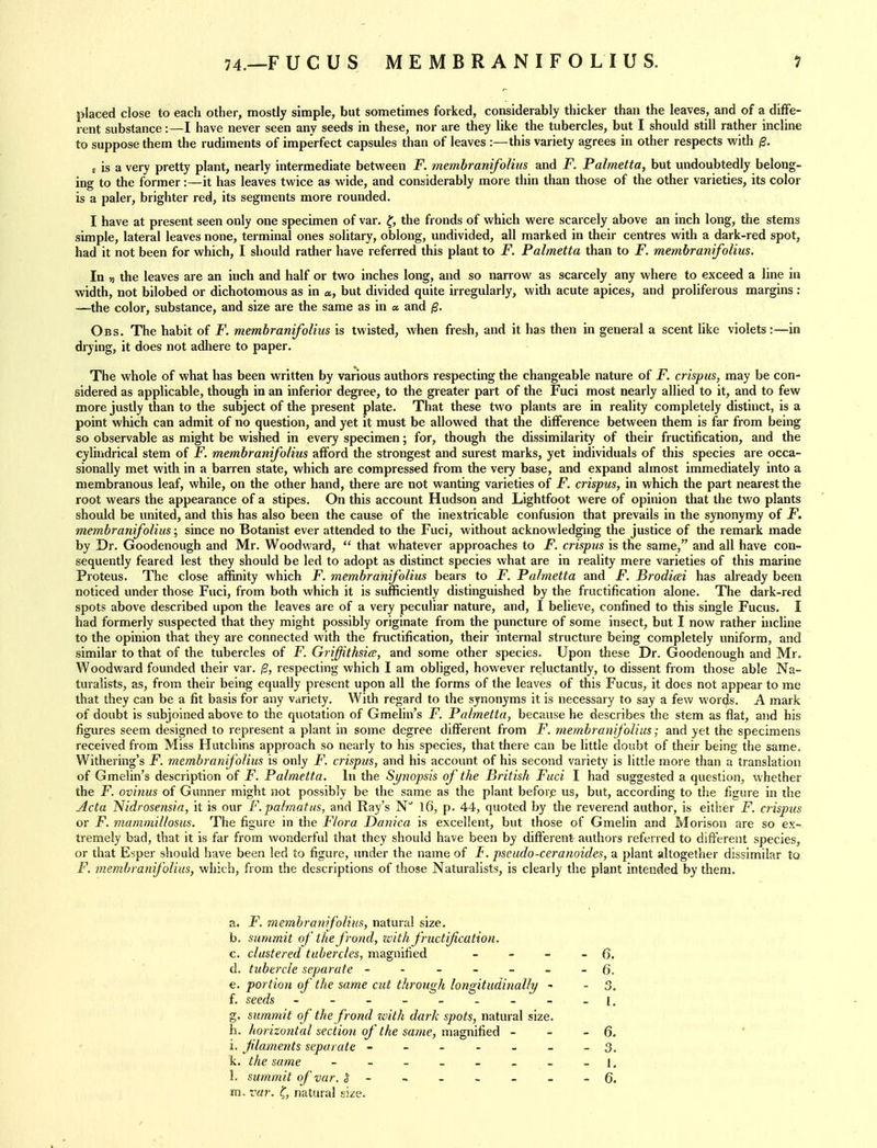 placed close to each other, mostly simple, but sometimes forked, considerably thicker than the leaves, and of a diffe- rent substance:—I have never seen any seeds in these, nor are they like the tubercles, but I should still rather incline to suppose them the rudiments of imperfect capsules than of leaves :—this variety agrees in other respects with ^. E is a very pretty plant, nearly intermediate between F. membranifolius and -F. Palmetta, but undoubtedly belong- ing to the former:—it has leaves twice as wide, and considerably more thin than those of the other varieties, its color is a paler, brighter red, its segments more rounded. I have at present seen only one specimen of var. ^, the fronds of which were scarcely above an inch long, the stems simple, lateral leaves none, terminal ones solitary, oblong, undivided, all marked in their centres with a dark-red spot, had it not been for which, I should rather have referred this plant to F. Palmetta than to F. membranifolius. In n the leaves are an inch and half or two inches long, and so narrow as scarcely any where to exceed a line in width, not bilobed or dichotomous as in a, but divided quite irregularly, with acute apices, and proliferous margins : —the color, substance, and size are the same as in a and p. Obs. The habit of F. membranifolius is twisted, when fresh, and it has then in general a scent like violets :—in drying, it does not adhere to paper. The whole of what has been written by various authors respecting the changeable nature of F. crispus, may be con- sidered as applicable, though in an inferior degree, to the greater part of the Fuci most nearly allied to it, and to few more justly than to the subject of the present plate. That these two plants are in reality completely distinct, is a point which can admit of no question, and yet it must be allowed that the difference between them is far from being so observable as might be wished in every specimen; for, though the dissimilarity of their fructification, and the cylindrical stem of F. membranifolius afford the strongest and surest marks, yet individuals of this species are occa- sionally met with in a barren state, which are compressed from the very base, and expand almost immediately into a membranous leaf, while, on the other hand, there are not wanting varieties of F. crispus, in which the part nearest the root wears the appearance of a stipes. On this account Hudson and Lightfoot were of opinion that the two plants should be united, and this has also been the cause of the inextricable confusion that prevails in the synonymy of J*'. membranifolius; since no Botanist ever attended to the Fuci, without acknowledging the justice of the remark made by Dr. Goodenough and Mr. Woodward,  that whatever approaches to F. crispus is the same, and all have con- sequently feared lest they should be led to adopt as distinct species what are in reality mere varieties of this marine Proteus. The close affinity which F. membranifolius bears to JP. Palmetta and F. Brodiai has already been noticed under those Fuci, from both which it is sufficiently distinguished by the fructification alone. The dark-red spots above described upon the leaves are of a very peculiar nature, and, I believe, confined to this single Fucus. I had formerly suspected that they might possibly originate from the puncture of some insect, but I now rather incline to the opinion that they are cormected with the fructification, their internal structure being completely uniform, and similar to that of the tubercles of F. Griffithsice, and some other species. Upon these Dr. Goodenough and Mr. Woodward founded their var. respecting which I am obliged, however reluctantly, to dissent from those able Na- turalists, as, from their being equally present upon all the forms of the leaves of this Fucus, it does not appear to me that they can be a fit basis for any variety. With regard to the synonyms it is necessary to say a few words. A mark of doubt is subjoined above to the quotation of Gmelin's F. Palmetta, because he describes the stem as flat, and his figures seem designed to represent a plant in some degree different from F. membranifolius; and yet the specimens received from Miss Hutchins approach so nearly to his species, that there can be little doubt of their being the same. Withering's F. membranifolius is only F. crispus, and his account of his second variety is little more than a translation of Gmelin's description of F. Palmetta. In the Synopsis of the British Fuci I had suggested a question, whether the J^. ovinus of Gunner might not possibly be the same as the plant before us, but, according to the figure in the j4cta Nidrosensia, it is our F. palmatus, and Ray's N l6, p. 44, quoted by the reverend author, is either F. crispus or J^. mammillosus. The figure in the Flora Danica is excellent, but those of Gmelin and Morison are so ex- tremely bad, that it is far from wonderful that they should have been by different authors referred to different species, or that Esper should have been led to figure, under the name of F. pseudo-ceranoides, a plant altogether dissimilar to F. membranifolius, which, from the descriptions of those Naturalists, is clearly the plant intended by them. a. F. membranifolius, natural size. b. summit of the fro7ul, with fructificatton. c. clustered tubercles, magnified - - - - 6. d. tubercle separate ------- 6. e. portion of the same cut through longitudinally - - 3. f. seeds - - - - - - - - - i, g. summit of the frond zdth dark spots, natural size. h. horizontal section of the same, ma^rvAefk - - - 6. i. filaments separate ------ - 3. k. the same - -- _- ___], 1. summit of var. S - - - - - - -6. m. var. ^, natural size.
