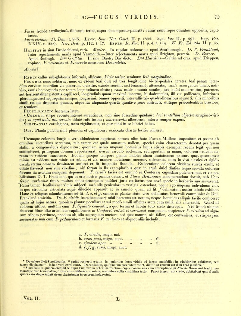 Fncus, fronde cartilaginea, filiformi, terete, supra-decomposito-pinnata: ramis ramulisque omnibus oppositis, capil- Fucus v'iridis. Fl. Ban. t. 8S6. Linn. Syst. Nat. Gmel. 11. p. 1383. Si/u. Fuc. 11. p. 397- Eng. Bot. XXIV. t. 1669. Ner. Biit. p. U1. t. 17. Esper, Ic. Fuc. II. p. 4, t. 114. Fl. Fr. Ed. 2da. II. p. 35. Habitat in sinu Drobachiensi, rar6. Muller.—In rupibus submarinis apud Scarborough. D. T. Frankland, Inter rejectamenta maris apud Yarmouth.—Inter rejectamenta maris apud Brighton, perrar6. D. Borrer.— Apud Budleigh. jD'* Griffiths. In sinu, Bantry Bay dicto. jD Hutchins—GaUiiB ad eras, apud Dieppen, copiose, F. vesiculosa et jF. serrato inuascens Decandolle. Annua ? Radix calkis sub-globosus,informis, albicans, Viciasativcz semlnum fere magnitudine. Frondes nunc sohtaria^, nunc ex e^dem basi duae vel tres, longitudine bi- tri-pedales, teretes, basi pennas inter- dum corvinag interdiim vix passerinse crassitie, exinde sensim, sed leuissim^, attenuatae, caide assurgentes unico, indi- viso, ramis homogeneis per totam longitudinem obsito; rami caulis omnino similes, nisi qu^)d minores sint, patentes, aut horizontaliter patentis capillacei, longitudinis quam maxime incertse, hi dodrantales, ilii vix poUicares, inferiores plerumque, sed nequaquam semper, longissimi, omnes oppositi, intervallis tri- quadri-linearibus sejuncti, aliis minoribus simili ratione dispositis pinnati, atque ita aliquand6 quarta quintave serie instructi, utraque praecedentibus breviore, et tenuiore. Fructificatio hactenus latet. * Color in stirpe recente intens^ aurantiacus, non sine fuscedlne quadam; luci tantillum objectce aerugineo-viri- dis; in aqua didci diu servata dilute rufo-fuscus ; marcesceritis albescens; nitoris semper expers. Substantia cartilaginea, tactu rigidiuscula, et quae nihil in se lubrici habet. Obs. Planta pulcherrim^ plumosa et capillacea: exsiccata charts leviter adhaeret. Utcunque colorem longe a vero abludentem exprimat nomen olim huic Fuco a Mullero impositum et postea ab omnibus auctoribus servatum, tale tamen est quale mutatum nollem, speciei enim characterem denotat per quem statim a congeneribus dignoscitur; quoniam nemo unquam botanicus hujus stirpis exemplar recens legit, qui non animadveret, priusquam domum reportaverat, sive in vasculo inclusam, seu apertam in manu, colorem nativum au- reum in viridem transivisse. Eodem quoque tempore plantas indoles aliam mutationem patitur, quae, quantumvis minus est evidens, non mirms est subita, et vix minoris notationis meretur, substantia enim in viva elastica et rigidi- uscula statim omnem firmitatem amittet et fit insigniter flaccida. Exsiccatione colorem viridem rursus exuit, et dilute flavescit non sine viredine; nisi forsan in iis exemplaribus quae in aqua dulci diutius aequo servata colorem fuscum ita ascitum nunquam deponunt. F. viridis facies est omnin6 ea Confervce cujusdam pulcherrimae, et vir no- bilissimus D. T. Frankland, qui in oris nostris primus detexit, et Flor(z BritanniccE annumerandum docuit, sub Con- ferv(£ awicoma titulo multos annos priusquam publici juris est factus pro nova specie in herbario suo servaverat. Rami tamen, lentibus acerrimis subjecti, rard ulla geniculorum vestigia ostenduat, neque ego unquam individuum vidi, in quo structura articulata aeque dilucide apparuit ac in ramulo quem ad Ut. ydelineatum nostra tabula exhibet. Hanc et reliquas adumbrationes ad lit. d, e, et g, onmes in plantse statu vivo delineatas, benevole communicavit Dni. Frankland amicitia. De F. viridis fructificationef nihil hacteniis est notum, neque botanicus aliquis facile conjiceret qualis sit hujus natura, quoniam plantae peculiari et sui modo simili affiuitas arcta cum nulla alia intercedit. Quod ad colorem attinet multiim cum F. ligulato consentit, a quo formi et habitu toto coelo discrepat. Nisi frondi ubique deessent fibras illae articulate capilliformes in Conferva villosa et verrucosa conspicuae, suspicarer F. viridem ad alga- rum tribum pertinere, nondum ab uUo segregatam auctore, sed quae naturae, nisi fallor, est conveniens, et stirpes janv jjiemoratas una cum F. pedunculaio Gt fortassis F. aculeato et aliquot ahis includit. a. F. viridis, magn. nat. b. rami pars, magn. auct. - - - 6, c. ejusdem apex - - - - - 3. d. e,J', g, rami, magn. auct. * De colore dicit Stackhouslus,  variat respectu aptatis: in jnnioribns liiteo-viridis ad liicem mutabilis; in adultioribus subfiiscus, sed tamen diaphanus:—in hoc vei o cei te enat.—DecandoUiiis, qui plaiitam nasceiitem videt, dicit  sa coiileur est d'un verd jaunatre. t Stackiiousiiis qiiidem credidit se hiijns Fuci vernm dctexi^se fructum, ciijus iconem una cum descriptione in Nereide Britannicd tradit me- moratque esse terniinalem, e vesicnlis ovalibus coiistanteni, seniinibus nuUis visibilibus intus. Pauci tamen, uti credo, dubitabunt quia fiondi* apices casu aliquo inflati virum clarissiinum in errorem iuduxerint. Vol. II.