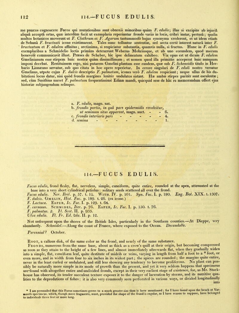 me paucos cognosceie Fucos qui mutationibus sunt obnoxii niinoribus qu^m -F. edulis; illas si exclpias ab injuria aliqu^ accepta ortas, quse interdiim facit ut exemplaria reperiantur fronde variis in locis, cribri instar, pertus^; qualia multos botanicos moverunt ut F. Clathrum et F. Agarum tantummod6^ hujus synonyma crederent, et ut idem etiatti de Sebana F. bracteati icons existimarent. Tales nunc toUuntur sententiae, sed arcta cert^ interest natur^ inter F. bracteahim et F. edulem affinitasarctissima, si respiciatur substantia, quamvis nulla, si fructus. Hunc in F. edtdis exeraplaribus a Schmidelio lectis primum detexerunt Weberus Mohriusque, et ab uno eorundem, quod mecum benevolo communicavit illust. Praeses de Scheber, hie ipse delineatum exhibeo. Vix opus est ut dicam F. edulem Gmelinianum esse stirpem huic nostras quam dissimillimam ; et nomen quod ilia primitiis acceperat huic nunquam imponi decebat. Restituissem ergo, nisi putarem Gmelini plantam esse eandem, quae sub jF. lichenoidis titulo in Her- bario Linnaeano servatur, sub quo citata in hoc opere reperietur. In errore singulari de F. eduli nostro versatur Gmelinus, utpote cujus jF. dulcis descriptio F. palmatum, icones ver5 F. edulem respiciunt; neque ullus de his du- bitationi locus datur, nisi qu6d frondis margines leniter undulatos sistant. Hae ambae stirpes pariter sunt eseulentae; sed, cixm Smithius narret F. palmatum frequentissime Edinae mandi, quicquid sese de hac re memorandum ofFert ejus historiae subjungendum relinquo. a. F. edulis, magn. nat. b. frondis portio, in qua pars epidermidis revolvitur, ut seminum situs appareat, magn, auct. - - 6. c. frondis interioris pars - - - ~ - 4. d. semina - - - - - - - 1. 114.—FUCUS EDULIS. Fitcus edulis, frond fleshy, flat, nerveless, simple, cuneiform, quite entire, rounded at the apex, attenuated at the base into a very short cylindrical petiolus : solitary seeds scattered all over the frond. Fucus edulis. Ner. Brit. p. 57. t. 12. With. IV. p. 101. Sj/w. Fuc. I. p. 180. Eng. Boi. XIX. 1.1307. F. dulcis. Gmelin, Hist. Fuc. p. 189- t. 26. (ex icone.) F. Lactuca. Esper, Ic. Fuc. I. p. 129. t. 64. Jp. carnosus. Schmidel, Iter. p. 76. Esper, Ic. Fuel. p. 150. t. 76. F. palmatus. /3. II. Scot. II. p. 935. Uha edulis. Fl. Fr. Ed. 2da. II. p. 12. Not unfrequent upon the shores of the British Isles, particularly in the Southern counties.—At Dieppe, very abundantly. Schmidel.—Along the coast of France, where exposed to the Ocean. Decandol/e. Perennial ? October. Root, a callous disk, of the same color as the frond, and nearly of the same substance. Fronds, numerous from the same base, about as thick as a crow's quill at their origin, but becoming compressed as soon as they attain to the height of a few lines, and almost immediately afterwards flat, when they gradually widen into a simple, flat, cuneiform leaf, quite destitute of midrib or veins, varying in length from half a foot to a * toot, or even more, and in width from four to six inches in its widest part; the apices are rounded; the margins quite entire, never in the least curled or undulated, and still less showing any tendency to become proliferous. No plant can pos- sibly be naturally more simple in its mode of growth than the present, and yet it very seldom happens that specimens are*found with altogether entire and undivided fronds, except in their very earliest stage of existence, for, as Mr. Stack- house has observed, its tender succulent texture exposes it to the danger of laceration by storms, and its nutritive qua- lities to the depredations of fishes: it is also very commonly seen perforated in various ways, or divided longitudinally into • I am persuaded that this Fncus sometimes grows to a much greater size than is here mentioned ; for I have found upon the beach at Yar- montli specimens, which, tlioiigh mere fragments, must, provided the shape of the frond is regular, as I have reason to suppose, have belonged to individuals three feet or more long.