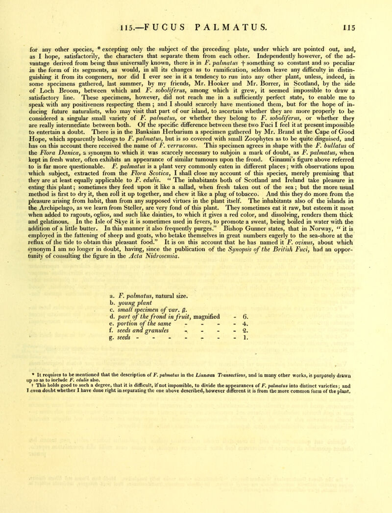 for any other species, * excepting only the subject of the preceding plate, under which are pointed out, and, as I hope, satisfactorily, the characters that separate them from each other. Independently however, of the ad- vantage derived from being thus universally known, there is in F, palmatus \ something so constant and so peculiar in the form of its segments, as would, in all its changes as to ramification, seldom leave any difficulty in distin- guishing it from its congeners, nor did I ever see in it a tendency to run into any other plant, unless, indeed, in some specimens gathered, last summer, by my friends, Mr. Hooker and Mr. Borrer, in Scotland, by the side of Loch Broom, between which and jF. soboliferus, among which it grew, it seemed impossible to draw a satisfactory line. These specimens, however, did not reach me in a sufficiently perfect state, to enable me to speak with any positiveness respecting them ; and I should scarcely have mentioned them, but for the hope of in- ducing future naturalists, who may visit that part of our island, to ascertain whether they are more properly to be considered a singular small variety of F. palmatus, or whether they belong to F. soboliferus, or whether they are really intermediate between both. Of the specific difference between these two Fuci I feel it at present impossible to entertain a doubt. There is in the Banksian Herbarium a specimen gathered by Mr. Brand at the Cape of Good Hope, which apparently belongs to F. palmatus, but is so covered with small Zoophytes as to be quite disguised, and has on this account there received the name of F. veri'ucosus. This specimen agrees in shape with the F. bullatus of the Flora Danica, a synonym to which it was scarcely necessary to subjoin a mark of doubt, as F. palmatus, when kept in fresh water, often exhibits an appearance of similar tumours upon the frond. Ginanni's figure above referred to is far more questionable. F. palmatus is a plant very commonly eaten in different places ; with observations upon which subject, extracted from the Flora Scotica, I shall close my account of this species, merely premising that they are at least equally applicable to F. edulis.  The inhabitants both of Scotland and Ireland take pleasure in eating this plant; sometimes they feed upon it like a sallad, when fresh taken out of the sea; but the more usual method is first to dry it, then roll it up together, and chew it like a plug of tobacco. And this they do more from the pleasure arising from habit, than from any supposed virtues in the plant itself. The inhabitants also of the islands in the Archipelago, as we learn from Steller, are very fond of this plant. They sometimes eat it raw, but esteem it most when added to ragouts, oglios, and such like dainties, to which it gives a red color, and dissolving, renders them thick and gelatinous. In the Isle of Skye it is sometimes used in fevers, to promote a sweat, being boiled in water with the addition of a little butter. In this manner it also frequently purges. Bishop Gunner states, that in Norway,  it is employed in the fattening of sheep and goats, who betake themselves in great numbers eagerly to the sea-shore at the reflux of the tide to obtain this pleasant food. It is on this account that he has named it F. ovinus, about which synonym I am no longer in doubt, having, since the publication of the Synopsis of the British Fuci, had an oppor= tunity of consulting the figure in the Acta Nidrosensia. a. F. palmatus, natural size. b. young plant c. small specimen of var. ^. d. part of' the frond in fruit, magnified - 6. e. portion of the same - - - - 4. f. seeds ana granules -.. - - - 2. g. seeds - - - - - - -1, • It requires to be mentioned that the description of F. palmatus in the Linnceau Transactions, and in many other works, is purposely drawn up so as to include F. edulis also. t This holds good to such a degree, that it is difficult, if not impossible, to divide the appearances of F. palmatus into distinct varieties; and I even doubt whether I have done right in separating the one above described, however different it is from the more common form of the plant.