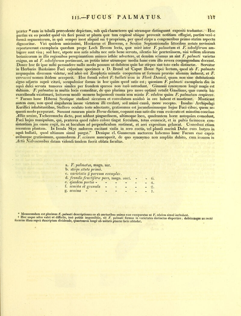 prseter *eam In tabula prsecedente depictam, sub qua characteres qui utramque distinguunt expositi traduntur. Hoc partim ex eo pendet qu6d vix fieri possit ut planta quae tarn copiose ubique provenlt notitiam effugiat, partim verc> e forma segnientorum, in qua semper inest aliquid sui f proprium, per quod stirps a congeneribus primo stalim aspectu dignoscitur. Viri quidem amicissimi, Hookerus et Borrerus, e Scotise Septentrionalis littoribus aestate novissima reportaverunt exemplaria quaedam prope Loch Broom lecta, quae mire inter F. palmatum et F. soholiferimi am- bigere sunt visa; sed haec, utpote non satis adulta nec satis bene servata, silentio hic praeteriissem, nisi vellem aliorum botanicorum in illis regionibus peregrinantium animos isthuc advertere, ut demilm sciamus an sint F. palmati varietas exigua, an ad F. soboliferion pertineant, an potiiis inter utrumque media hunc cum illo revera conjungendura doceant. Donee hoc fit ipse mihi persuadere nullo modo possum ut dubitem quin has stirpes sint toto caelo distinctae. Servatur in Herbario Banksiano Fuci cujusdam specimen a D. Brand ad Caput Bonse Spei lectum^ quod ab F. palmato nequaqu^m diversum videtur, sed adec) est Zoophytis minutis coopertum ut forniam prorsiis alienam induerit, et jP. verrucosi nomen ibidem acceperit. Hoc form^ refert F. hullati icon in Flora Danica, quam non sine dubitationis signo adjecto supra citavi, scrupulosior forsan in hoc quam quod satis est; quoniam F. palmati exemplaria diu in aqua dulci servata tumores similes per frondem sparsos non rar6 ostendunt. Ginannii synonymon longe magis est dubium. F. palmatus in multis locis comeditur, de quo plurima pro more optim^ retulit Gmelinus, quae cuncta hic exscribenda existimavi, lectorem mod6 monens hujusmodi omnia non miniis F. ediilem quam F. palmatum respicere.  Fucum hunc Hiberni Scotique studiose siccatum et convolutum assidu6 in ore habent et masticant. Masticant autem eum, non quod singularem inesse virtutem illi credant, sed animi causa, more recepto. Insulas Archipelagi Kurillici inhabitantibus, Stellero oculato teste adnotante, gratissimus est jucundissimusque hujus Fuci cibus, quem se- quenti modo praeparant. Suniunt rasuram piscis Borsa dictam, coquunt earn satis diu cum exsiccato et minutim concisso jlllio ursino, Tscheremscha dicto, post addunt pinguedinem, ultimoque loco, quadrantem horae antequam comedunt, Fuci hujus manipulum, qui, praeterea quod rubro colore tingat ferculum, totus evanescit, et in pulvis farinaceae con- sistentlam jus omne cogit, ita ut baculum ad perpendiculum sustineat, et aeri expositum gelascat. Comedunt etiam recentem plantam. In Insula Skye sudorem excitant violis in sero coctis, vel planta marina Dulse cum butyro in aqu^ bullata, quod ultimum simul purgat. Denique cl. Gunnerum auctorem habemus hunc Fucum esse capris ovibusque gratissimum, quamobrem F. ovinum nuncupavit, de quo synonymo non amplius dubito, cum iconem in Actis Nidrosensibus ddtam videndi tandem fuerit oblata facuitas. a. F. palmatus, magn. nat, b. sthps (date prima. c. varietatis /3 parvum exemplar. d. fro7idis frtictifercc pars, niagn. :u!ct. - - fi. e. ejnsdem portio 4. f. sem/iHt et granula - - - - - 2. g. semina - - - - - _ _ ]. * Memoiandum est plmimas F. palmati descriptiones eo ab auctoribns animo esse comparatas ut F. edukra simu! incSiidaat. t Hoc usque adeo valet ut difficile, imo potius impossibiie, sit F. palmati formas in varietates distinctas dispertire : dubitemque an recte tecenm illain supra descnptam dividendo, quautumvis longe ab usitatsl plantze facie abludat.