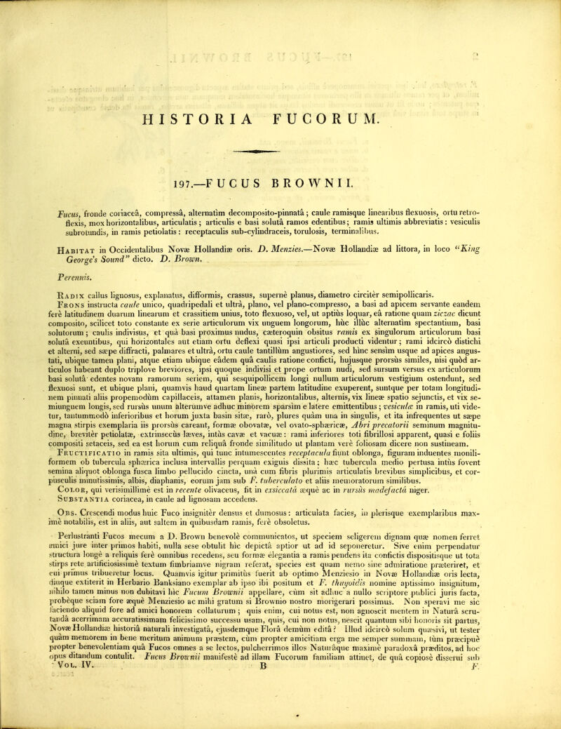 HISTORIA FUCORUM. 197._F UCUS BROWNII. Fucus, fronde coi iacea, compressa, alternatim decomposito-pinnata; caule ramisque linearibus flexuosis, ortu reti o- flexis, mox horizontalibus, articulatis; articulis e basi solut^ ranios edentibus; ramis ultimis abbreviatis: vesiculis subrotundis; in ramis petiolatis: receptaculis sub-cylindraceis, torulosis, terminalilnis. Habitat in Occidentalibus Novae HoUandiae oris. D. Menzies.—Novae HoUandiae ad littora, in loco King Georges Sound dicto. D.Brown, Peretmis. Radix cailus lignosus, explanatus, difformis, crassus, superne planus, diametro circiter semipollicaris. Frons instructa cau/e unico, quadiipedali et ultra, piano, vel plano-compresso, a basi ad apicem servante eandem fere latitudinem duarum linearum et crassitiem unius, toto flexuoso, vel, ut aptiiis loquar, ea ratione quam ziczac dicunt composite, scilicet toto constante ex serie articulorum vix unguem longorum, hhc illiic alternatim spectautium, basi solutorum; caulis indivisus, et qua basi proximus nudus, caeteroquin obsitus ramis ex singulorum articulorum basi soluta exeuntibus, qui horizontales aut etiam ortu defiexi quasi ipsi articuli producti videntur; rami idcircci distichi et alterni, sed saepe diffracti, palmares et ultra, ortu caule tantillilm angustiores, sed hinc sensim usque ad apices angus- tati, ubique tamen plani, atque etiam ubique e^dem qua caulis ratione conficti, hujusque prorsiis similes, nisi qu6d ar- ticulos habeant duplo triplove breviores, ipsi quoque indivisi et prope ortum nudi, sed sursum versus ex articulorum basi solut^ edentes novam ramoruni seriem, qui sesquipollicem longi nullum articulorum vestigium ostendunt, sed flexuosi sunt, et ubique plani, quamvis baud quartam lineee partem latitudine exuperent, suntque per totam longitudi- nem pinnati aliis propemodilm capillaceis, attamen planis, horizontalibus, alternis, vix lineae spatio sejunctis, et vix se- miunguem longis, sed rursiis unum alterumve adhuc minbrem sparsim e latere emittentibus ; vesictda in ramis, uti vide- tur, tantummod6 inferioribus et horum juxta basin sitJE, rar6, plures quam una in singulis, et ita infrequentes ut saepe magna stirpis exemplaria iis prorsiis careant, formae obovatae, vel ovato-sphaericae, Abri precatorii seminum magnitu- dine, breviter petiolatae, extrinsecus laeves, intils cavae et vacuae: rami inferiores toti fibrillosi apparent, quasi e foliis compositi setaceis, sed ea est horum cum reliqu^ fronde similitudo ut plantam vere foliosam dicere non sustineam. Fructificatio in ramis sita ultimis, qui tunc intumescentes receptaculufixint oblonga, figuram induentes monili- formem ob tubercula spha^rica inclusa intervallis perquam cxiguis dissita; hsec tubercula medio pertusa intus fovent semina aliquot oblonga fusca limbo pellucido cincta, una cum fibris pluriniis articulatis brevibus simplicibus, et cor- piisculis minulissimis, albis, diaphanis, eorum jam sub F. tuherculato et aliis rnenioratorum similibus. Color, qui verisimillime est in recente olivaceus, fit in exsiccata aeque ac in rursiis niadejactd niger. Substantia coriacea, in caule ad lignosam accedens. Obs. Crescendi modus huic Fuco insigniter densus et dumosus: articulata facies, in plerisque exemplaribus max- ime notabiiis, est in aliis, aut saltem in quibusdam ramis, fere obsoletus. Perluslranti Fucos mecum a D. Brown benevole communicatos, ut speciem seligerem dignam quae nomen ferret jnnici jure inter primes habiti, nulla sese obtulit hie depicta aptior ut ad id seponeretur. Sive cnim perpendatur structura longe a reliquis fer^ omnibus recedens, sen formae elegantia a ramis pendens ita confictis dispositisque ut tota stirps rete artificiosissime textum iimbriamve nigram referat, species est quam nemo sine admiratione praeteriret, et cui prfmus tribueretur locus. Quamvis igitur primilus fuerit ab optimo Menziesio in Novae Hollandiae oris lecta, diuque extiterit in Herbario Banksiano exemplar ab ipso ibi positum et Jp. thuyuidis nomine aptissimo insignitum, nihilo tamen minus non dubitavi hie Fucum Brownii appellare, cum sit adhuc a nullo sciiptore publici juris facta, probeque sciam fore aequ^ Menziesio ac mihi gratum si Brownio nostro moiigerari possimus. Non speravi me sic iaciendo aliquid fore ad amici honorem coUaturum ; quis enim, cui notus est, non agnoscit nientem in Natura scru- tanda acerrimam accuratissimam felicissimo successu usam, quis, cui non notus, nescit quantum sibi honoris sit partus, Novae Hollandiae historic naturah investigata, ejusdemque Flora demiim edita? lllud idcirc6 solum quaesivi, ut tester quam memorem in bene meritum animum praestem, cum propter amicitiam erga me semper summani, tirm praecipue propter benevolentiam qua Fucos omnes a se lectos, pulcherrimos illos Natui aque maxime paradox^ praeditos, ad hoc opus ditandum contulit. Fiicns Brounii manifeste ad illam Fucorum familiam attinct, de qu-^ copiose disserui suh Vol. IV. B F.