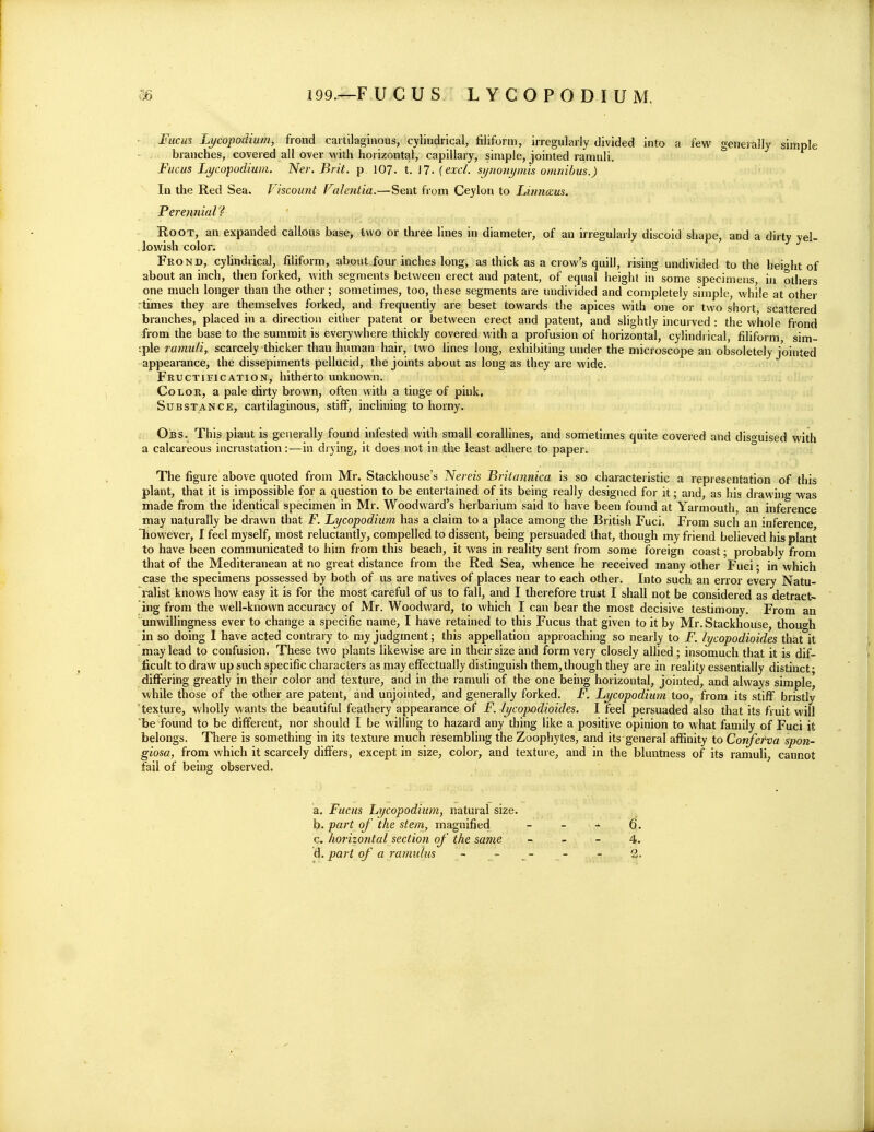 ■ Fucus Lycopodium, frond cartilaginous, cylindrical, filiform, irregularly divided into a few generally simple branches, covered all over with horizontal, capillary, simple, jointed ramuli. Fucus Lycopodium. Nei: Brit, p 107. t. J 7. (excl. si/noiiymis omnibus.) In the Red Sea. Viscount Falentia.—Sent from Ceylon to Linnceus. Perennial Root, an expanded callous base, two or three lines in diameter, of an irregularly discoid shape, and a dirty yel- lowish color. Frond, cylindrical, filiform, about four inches long, as thick as a crow's quill, rising undivided to the heioht of about an inch, then forked, with segments between erect and patent, of equal height in some specimens, in others one much longer than the other; sometimes, too, these segments are undivided and completely simple, while at other rtihies they are themselves forked, and frequently are beset towards the apices with one or two short scattered branches, placed in a direction either patent or between erect and patent, and slightly incurved : the whole frond from the base to the summit is everywhere thickly covered with a profusion of horizontal, cylindrical, filiform sim- :ple ramuli, scarcely thicker than human hair, two lines long, exhibiting under the microscope an obsoletely jointed appearance, the dissepiments pellucid, the joints about as long as they are wide. Fructification, hitherto unknown. Color, a pale dirty brown, often with a tinge of pink. Substance, cartilaginous, stiff, inclining to horny. Obs. This plant is generally found infested with small corallines, and sometimes quite covered and diso'uised with a calcareous incrustation:—in drying, it does not in the least adhere to paper. The figure above quoted from Mr. Stackhouse's Nereis Britannica is so characteristic a representation of this plant, that it is impossible for a question to be entertained of its being really designed for it; and, as his drawing was made from the identical specimen in Mr. Woodward's herbarium said to have been found at Yarmouth, an inference may naturally be drawn that F. Lycopodiutn has a claim to a place among the British Fuci. From such an inference however, I feel myself, most reluctantly, compelled to dissent, being persuaded that, though my friend believed his plant to have been communicated to him from this beach, it was in reality sent from some foreign coast; probably from that of the Mediteranean at no great distance from the Red Sea, whence he received many other Fuci; in which case the specimens possessed by both of us are natives of places near to each other. Into such an error every Natu- ralist knows how easy it is for the most careful of us to fall, and I therefore trust I shall not be considered as detract- ing from the well-known accuracy of Mr. Woodward, to which I can bear the most decisive testimony. From an unwillingness ever to change a specific name, I have retained to this Fucus that given to it by Mr. Stackhouse, thout^h in so doing I have acted contrary to my judgment; this appellation approaching so nearly to F. lycopodioides that it may lead to confusion. These two plants likewise are in their size and form very closely aUied; insomuch that it is dif- ficult to draw up such specific characters as may effectually distinguish them, though they are in reality essentially distinct • differing greatly in their color and texture, and in the ramuli of the one being horizontal, jointed, and always simple, while those of the other are patent, and unjointed, and generally forked. F. Lycopodium too, from its stiff bristly texture, wholly wants the beautiful feathery appearance of F. lycopodioides. I feel persuaded also that its fruit will be found to be different, nor should I be willing to hazard any thing like a positive opinion to what family of Fuci it belongs. There is something in its texture much resembling the Zoophytes, and its general affinity to Conferva spon- giosa, from which it scarcely differs, except in size, color, and texture, and in the bluntness of its ramuli, cannot fail of being observed. a. Fucus Lycopodium, natural size. b. part of the stem, magnified - - - 6. c. horizontal section of the same - - - 4. d. par t of a ramidus - - - - - ,