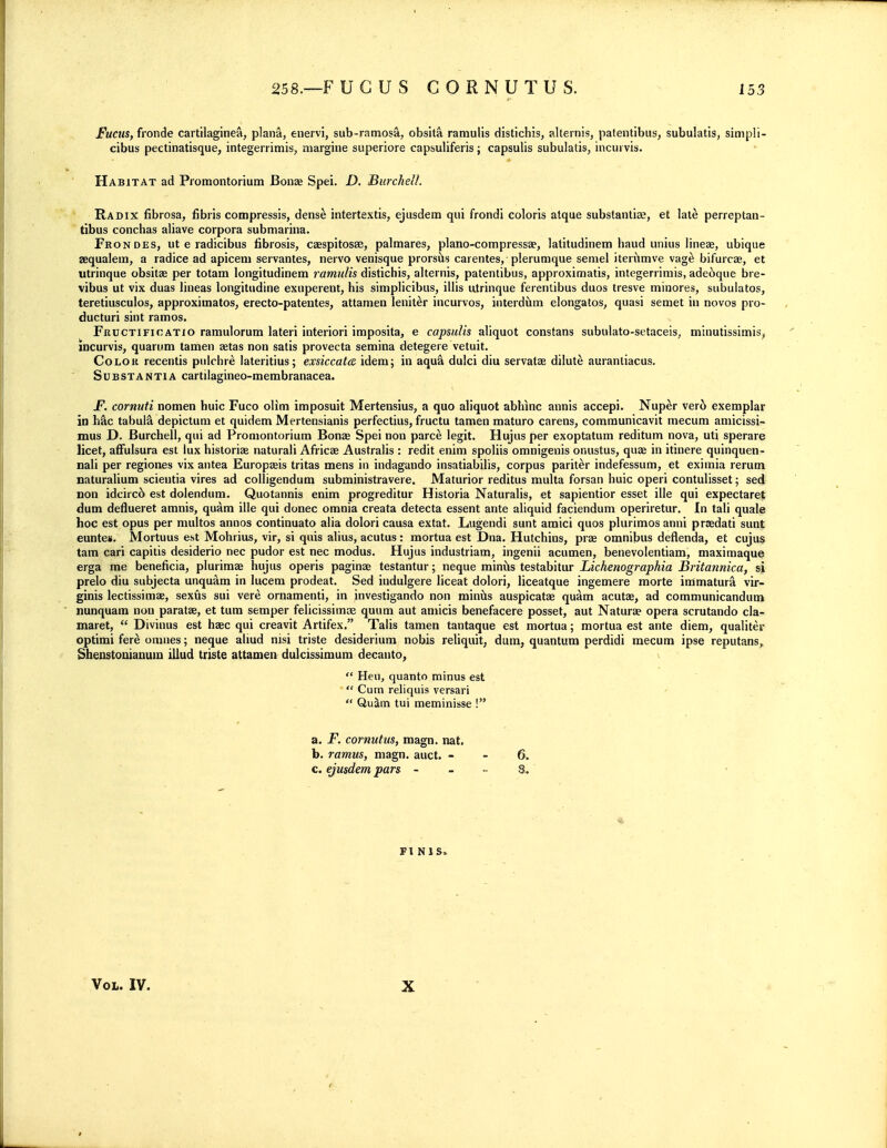 Fuciis, fronde cartilaginea, plana, enei vi, sub-ramosa, obsita raniulis distichis, alternis, patentibus, subulatis, simpii- cibus pectinatisque, integerrimis, margine superiore capsuliferis; capsulis subulatis, incui vis. Habitat ad Promontorium Bonae Spei. D. Burckell. Radix fibrosa, fibris compressis, dense intertextis, ejusdem qui frondi coloris atque substantias, et late perreptan- tibus conchas aliave corpora submarina. Frondes, ut e ladicibus fibrosis, caespitosae, palmares, plano-compressae, latitudinem baud unius lineae, ubique ^equalem, a radice ad apiceni servantes, nerve venisque prorsis carentes, plerumque seniel iterilmve vag^ bifurcae, et utrinque obsitae per totam longitudinem ramulis distichis, alternis, patentibus, approximatis, integerrimis, ade6que bre- vibus ut vix duas lineas longitudine exuperent, his simplicibus, illis utrinque ferentibus duos tresve minores, subulatos, teretiusculos, approximates, erecto-patentes, attamen leniter incurves, interdiim elongates, quasi seniet in novos pro- ducturi sint rames. Fructificatxo ramulerum lateri interiori imposita, e capsulis aliquot constans subulate-setaceis, minutissimis, incurvis, quarum tamen aetas non satis provecta semina detegere vetuit. Color recentis pnlchre lateritius; exsiccate idem; in aqu& dulci diu servatae dilute aurantiacus. Substantia cartilaginee-membranacea. jF. cornuti nomen huic Fuce elim impesuit Mertensius, a quo aliquot abhinc annis accepi. Nuper ver6 exemplar in h^c tabula depiclum et quidem Mertensianis perfectius, fructu tamen mature carens, comraunicavit mecum aniicissi- mus D. Burchell, qui ad Pronientoriura Benas Spei non parce legit. Hujus per exoptatum reditum nova, uti sperare licet, afFulsura est lux historiae naturali Afi-icae Australis : redit enim spoliis omnigenis onustus, quaa in itinere quinquen- nali per regiones vix antea Europaeis tritas mens in indagando insatiabilis, corpus pariter indefessum, et eximia rerum naturalium scieutia vires ad colligendum subministravere. Maturier reditus multa fersan huic eperi contulisset; sed non idcirc6 est dolendum. Quotannis enim progreditur Histeria Naturalis, et sapientior esset ille qui expectarej dum deflueret amnis, quam ille qui donee omnia creata detecta essent ante aliquid faciendum eperiretur. In tali quale hoc est epus per multos annos centinuato alia dolori causa extat. Lugendi sunt amici quos plurimos anni prsedati sunt euntes. Mortuus est Mohrius, vir, si quis alius, acutus: mortua est Dna. Hutchins, prae omnibus deflenda, et cujus tam cari capitis desiderio nec puder est nec modus. Hujus industriam, ingenii acumen, benevolentiam, maximaque erga me beneficia, plurimaa hujus operis paginae testantur; neque miniis testabitur Lichenographia Britannica, si prelo diu subjecta unquAm in lucem prodeat. Sed indulgere liceat dolori, liceatque ingemere morte irrimatura vir- ginis lectissimae, sextis sui vere ernamenti, in investigando non minds auspicatae qudm acutae, ad communicandum nunquam nou paratae, et turn semper felicissimae quum aut amicis benefacere posset, aut Naturae opera scrutande cla- maret,  Divinus est hsec qui creavit Artifex. Talis tamen tantaque est mortua; mortua est ante diem, qualiter optimi fer^ onines; neque almd nisi triste desiderium nobis reliquit, dum, quantum perdidi mecum ipse reputans,^ Shenstouianum illud triste attamen dulcissimum decante,  Heu, quanto minus est  Cum reliquis versari  Quam tui meminisse ! a. -F. cornutus, magn. nat. b. ramus, magn. auct. - - 6. c. ejusdem pars - - ~ 3, Fl MS.