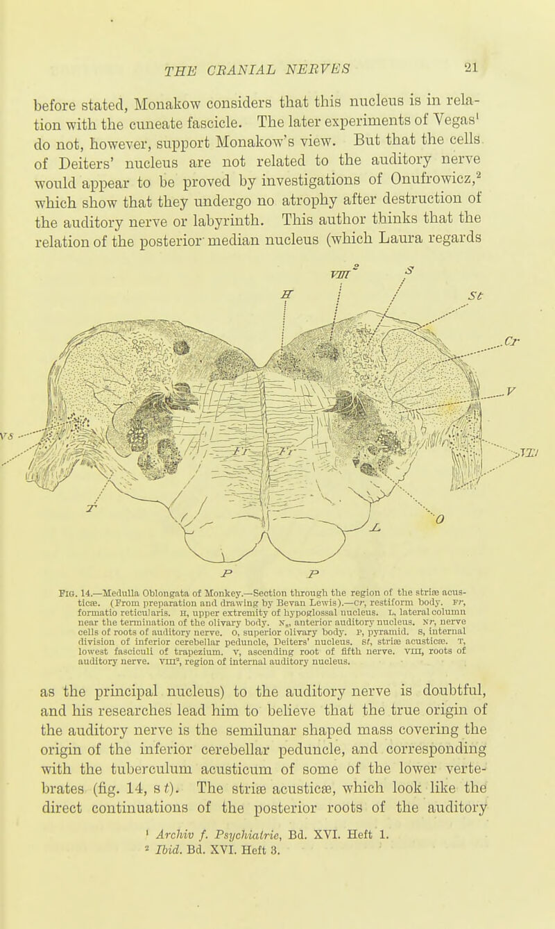 before stated, Monakow considers that this nucleus is in rela- tion with the cuneate fascicle. The later experiments of Vegas' do not, however, support Monakow's view. But that the cells of Deiters' nucleus are not related to the auditory nerve would appear to be proved by investigations of Onufrowicz,^ which show that they undergo no atrophy after destruction of the auditory nerve or labyrinth. This author thinks that the relation of the posterior' median nucleus (which Laura regards vm f' S \ / St \ 1 Pig. 14.—Medulla Oblongata of Monkey.—Section through the region of the striaa aous- ticffi. (From preparation and drawing by Bevan Lewis).—cr, restiforra body. F;', formatio reticularis. H, upper extremity of hypoglossal nucleus. L, lateral column near the termination of the olivary body, x^, anterior auditorj' nucleus. Nr, nerve cells of roots of auditory nerve, o. superior olivary body. P, pyramid, s, Internal division of Inferior cerebellar peduncle, Deiters' nucleus. s(, strioe acusticfe. T, lowest fasciculi of trapezium, v, ascending root of fifth nerve, vm, roots of auditory nerve. vni% region of internal auditory nucleus. as the prmcipal nucleus) to the auditory nerve is doubtful, and his researches lead him to believe that the true origin of the auditory nerve is the semilunar shaped mass covering the origin of the inferior cerebellar peduncle, and corresponding with the tuberculum acusticum of some of the lower verte- brates (fig. 14, si). The strijE acusticte, which look like the direct continuations of the posterior roots of the auditory ' ArcUv f. Psychiatric, Bd. XVI. Heft' 1. 2 Ibid. Bd. XVI. Heft 3.