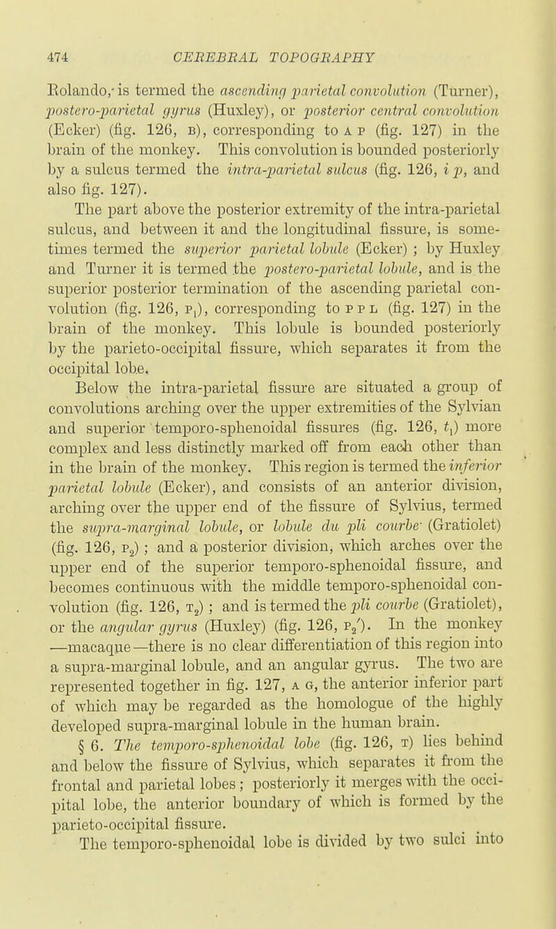 Eolando,' is termed the ascending parietal convolution (Turner), 2mstero-paiietal gyrus (Huxley), or posterior central convolution (Ecker) (fig. 126, b), corresponding to a p (fig. 127) in the brain of tlie monkey. This convolution is bounded posteriorly by a sulcus termed the intra-parietal sulcus (fig. 126, i p, and also fig. 127). The part above the posterior extremity of the intra-parietal sulcus, and between it and the longitudinal fissm-e, is some- times termed the superior parietal lobule (Ecker) ; by Huxley and Turner it is termed the postero-parietal lobule, and is the superior posterior termmation of the ascending parietal con- volution (fig. 126, p,), corresponduig to ppl (fig. 127) in the brain of the monkey. This lobule is bounded posteriorly by the parieto-occij)ital fissure, which separates it from the occipital lobe. Below the intra-parietal fissure are situated a gi-oup of convolutions arching over the upper extremities of the Sylvian and superior temporo-sphenoidal fissures (fig. 126, ^,) more complex and less distinctly marked off from each other than in the brain of the monkey. This region is termed the inferior parietal lobule (Ecker), and consists of an anterior division, arching over the upper end of the fissure of Sylvius, termed the supra-marginal lobule, or lobule du pli courbe- (Gratiolet) (fig. 126, Pg); and a posterior division, which arches over the upper end of the superior temporo-sphenoidal fissm-e, and becomes continuous with the middle temporo-sphenoidal con- volution (fig. 126, T,) ; and is termed the pZi courbe (Gratiolet), or the angidar gtjrus (Huxley) (fig. 126, p/). In the monkey —macaque—there is no clear differentiation of this region into a supra-marginal lobule, and an angular gjTus. The two are represented together in fig. 127, a g, the anterior inferior part of which may be regarded as the homologue of the highly developed supra-marginal lobule in the human brain. § 6. The temporo-sphenoidal lobe (fig. 126, t) lies behmd and below the fissure of Sylvius, which separates it from the frontal and parietal lobes; posteriorly it merges with the occi- pital lobe, the anterior boundary of which is formed by the parieto-occipital fissure. The temporo-sphenoidal lobe is divided by two sulci into