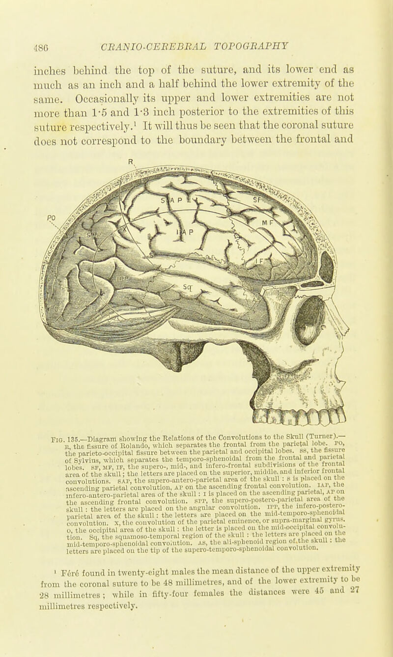 inches behind the top of the suture, and its lower end as much as an inch and a half behind the lower extremity of the Occasionally its upper and lower extremities are not same. more than 1-5 and 1-3 inch posterior to the extremities of this suture respectively.' It will thus be seen that the coronal suture does not correspond to the boundary between the frontal and Fig 136 —Diagram sliowiiifc the Relations of tlie Convolutions to the Sknll (Turner).— p. the fissure o£ Ilolando, which separates the frontal from the parietal lobe. PO, the parieto-occipital fissure between the parietal and occipital lobes. RS, the fissure of Svlvius, which sepai-ates the temporo-sphenoidal from the frontal and parietal lobe« sr mf if, tlie supero-, mid-, and infero-frontal subdiTisions of the frontal area'of the slniU ; the letters are placed on the superior, middle, and inferior frontal couTolutions. SAP, the snpero-antero-parietal area of the skull : s is placed on the iscending parietal conTOlution, AP on the ascending frontal convolution. ^ ' mfero-antero-parietal area of the skull: i is placed on the ascending parietal, .\r ou the ascending frontal convolution. SPP, the supero-postero-parietal area of tlie skull : the letters are placed on the angulai- convolution, ipr, the infero-postoi o- ■ parietal area of the skull : the letters are placed on the mid-tcmporo-spheno dal convolution, x, the convolution of the parietal eminence, or supra-marginal gyii s. o, the occipital area of the skull; the letter is placed on the ''-'^I'l*''' tion. Sq, the squamoso-temporal region of the skull : the letters are placed on H e mid-temporo-sphenoidal convoiutiou. as, the ali-sphenoid region of.the skiUl. the letters are placed on the tip of the supero-temporo-sphcnoidal conTOlution. ' F6r6 found in twenty-eiglit males the mean distance of the upper extremity from the coronal suture to be 48 millimetres, and of the lower extremity to be 28 millimetres; ^vhile in fifty-four females the distances were 45 and 2i millimetres respectively.