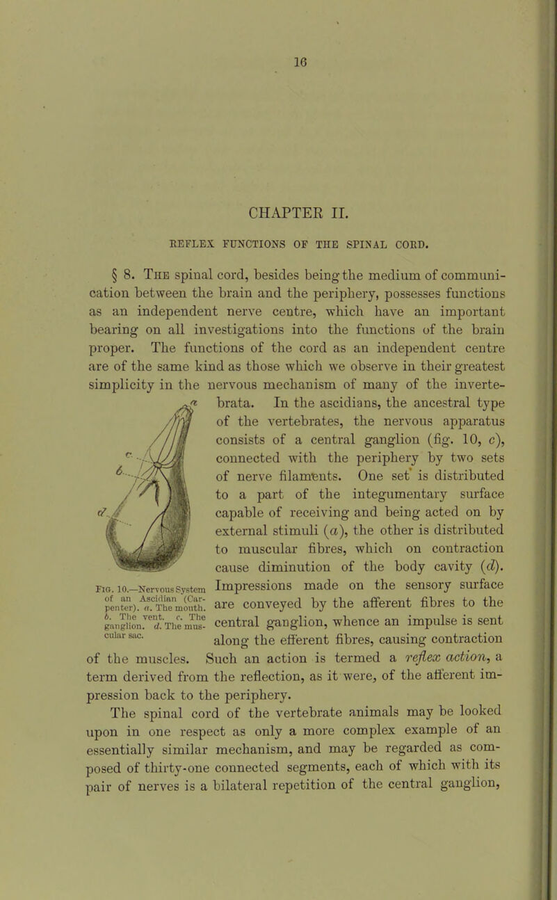 CHAPTER 11. KEFLEX FUNCTIONS OF THE SPINAL COED. § 8. The spinal cord, besides being the medium of communi- cation between the brain and the periphery, possesses functions as an independent nerve centre, which have an important bearing on all investigations into the functions of the brain proper. The functions of the cord as an independent centre are of the same kind as those which we observe in their greatest simplicity in the nervous mechanism of many of the inverte- brata. In the ascidians, the ancestral type of the vertebrates, the nervous apparatus consists of a central ganglion (fig. 10, c), connected with the periphery by two sets of nerve filaments. One set' is distributed to a part of the integumentary surface capable of receiving and being acted on by external stimuli (a), the other is distributed to muscular fibres, which on contraction cause diminution of the body cavity (d). Fig. 10 iXci N cms System Impressions made on the sensory surface pent;r).^rTtm^ith: are couvcyed by the afferent fibres to the gJgiLJ'fThemnl Central ganglion, whence an impulse is sent cuiar sac. aloug the efferent fibres, causing contraction of the muscles. Such an action is termed a o^efiex action, a term derived from the reflection, as it were, of the atierent im- pression back to the periphery. The spinal cord of the vertebrate animals may be looked upon in one respect as only a more complex example of an essentially similar mechanism, and may be regarded as com- posed of thirty-one connected segments, each of which with its pair of nerves is a bilateral repetition of the central ganglion.