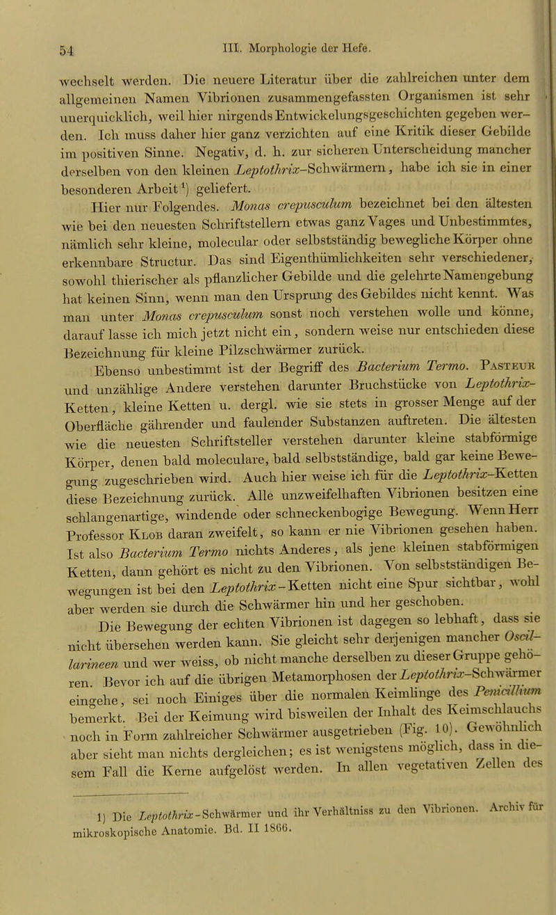 wechselt werden. Die neuere Literatur liber die zahlreichen unter dem allgemeinen Namen Yibrionen zusammengefassten Organismen ist sehr unerquicklich, weil liier nirgendsEntwickelungsgeschichten gegeben wer- den. Icli muss dalier bier ganz verzichten auf eine Kritik dieser Gebilde im positiven Sinne. Negativ, d. h. zur sicheren Enterscheidung mancher derselben von den kleinen Leptothrix-Scliwarmern, babe ich sie in einer besonderen Arbeit*) geliefert. j tier nur Folgendes. JMorias crepusculum> bezeiclinet bei den altesten wie bei den neuesten Schriftstellern etwas ganzYages und Unbestimmtes, namlich sebr kleine, molecular oder selbststandig bewegliche Korper ohne erkennbare Structur. Das sind Eigenthiimlichkeiten sehr verschiedener, sowohl tliierischer als pflanzlicher Gebilde und die gelehrteNamengebung hat keinen Sinn, wenn man den Ursprung desGebildes nicht kennt. Was man unter Monas crepusculum sonst noch verstehen wolle und konne, darauf lasse ich micb jetzt nicht ein, sondern weise nur entschieden diese Bezeichnung fur kleine Pilzschwarmer zuriick. Ebenso unbestimmt ist der Begriff des Bacterium Termo. Pasteur und unzahlige Andere verstehen darunter Bruchstiicke von Leptothrix- Ketten, kleine Ketten u. dergl. wie sie stets in grosser Menge auf der Oberflache gahrender und faulender Substanzen auftreten. Die altesten wie die neuesten Schriftsteller verstehen darunter kleine stabformige Korper, denen bald moleculare, bald selbststandige, bald gar keine Bewe- gung zugeschrieben wird. Auch hier weise ich fiir die Leptothrix-Ketten diese Bezeichnung zuriick. Alle unzweifelhaften Vibrionen besitzen eine schlangenartige, windende oder sclineckenbogige Bewegung. Wenn Herr Professor Klob daran zweifelt, so kann er nie Vibrionen gesehen haben. Ist also Bacterium Termo nichts Anderes, als jene kleinen stabfdrmigen Ketten, dann gehort es nicht zu den Vibrionen. V on selbststandigen Be- wegungen ist bei den Leptothrix-Ketten nicht eine Spur sichtbar, wohl aber werden sie durch die Schwarmer hin und her geschoben. Die Bewegung der echten Vibrionen ist dagegen so lebhaft, dass sie nicht iibersehen werden kann. Sie gleicht sehr derjenigen mancher Oscil- larineen und wer weiss, ob nicht manche derselben zu dieser Gruppe gelio- ren. Bevor ich auf die ubrigen Metamorphosen der Leptothruv-Schyvaxmer eingehe, sei noch Einiges liber die normalen Keimlinge des Peiualhurn bemerkt. Bei der Keimung wird bisweilen der Inhalt des Keimscli auchs noch in Form zahlreicher Schwarmer ausgetrieben (Fig. 10) . Gewohnlich aber sieht man nichts dergleichen; es ist wenigstens moglich, dass in die- sem Fall die Kerne aufgeldst werden. In alien vegetativen Zellen des 1) Die Leptothrix - Schwarmer und ihr Verhaltniss zu den Vibrionen. Archil fur mikroskopische Anatomie. Bd. II 186(3.