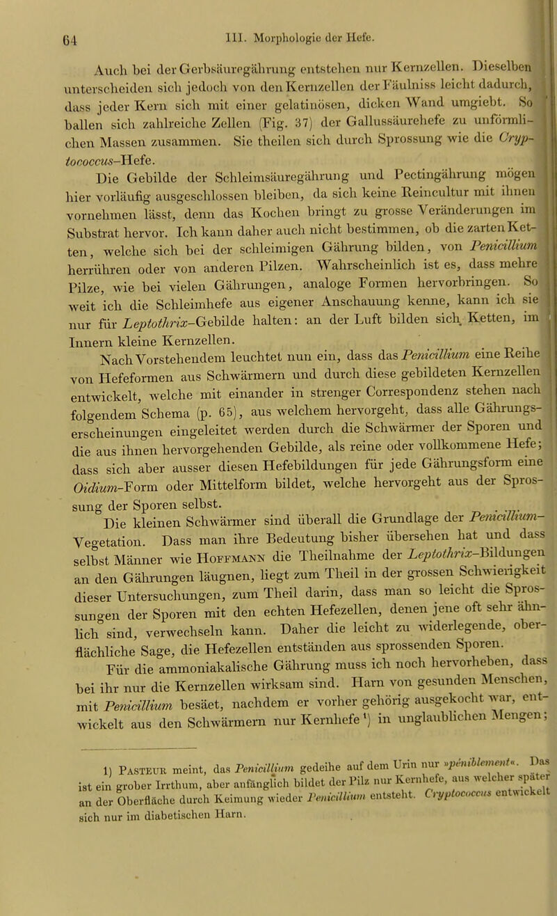 Auch bci der GerbsUurpgahrung entstehen nur Kernzellen. Dieselben untevscbeiden sicb jedoch von den Kernzellen derFaulniss leicht dadurch, class jeder Kern sicb mit einer gelatinosen, dicken Wand umgiebt. So ballen sich zahlreiche Zellen (Fig. 37) der Gallussaurehefe zu uiiforxnli- clien Massen zusammen. Sie tbeilen sicb durcb Sprossung wie die C'ryp- \ lococcus-Hefe. Die Gebilde der Schleimsauregahrung und Pectingahrung mogen j bier vorlaufig ausgescblossen bleiben, da sicb keine Reincultur mit ihnen I vornebmen lasst, denn das Kocben bringt zu grosse Verandei ungen im I Snbstrat liervor. Icb kann daher auch nicbt bestimmen, ob die zarten Ket- j ten, welche sicb bei der schleimigen Gahrung bilden, von Penicillium berriibren oder von anderen Pilzen. Wabrscbeinlich ist es, dass mebre ! Pilze, wie bei vielen Gabrungen, analoge Formen hervorbringen. So j weit icb die Schleimhefe aus eigener Anscbauung kenne, kann ich sie j nur fiir Leptothrix-Gebilde lialten: an der Luft bilden sich Ketten, im Innern kleine Kernzellen. Nacli Vorstehendem leucbtet nun ein, dass das Penicillium eine Reibe von Hefeformen aus Schwarmern und durcb diese gebildeten Kernzellen entwiclcelt, welche mit einander in strenger Correspondenz stehen nacb folgendem Schema (p. 65), aus welchem hervorgebt, dass alle Gahrungs- erscbeinungen eingeleitet werden durch die Schwarmer der Sporen und die aus ihnen hervorgehenden Gebilde, als reine oder vollkommene Hefe; dass sich aber ausser diesen Hefebildungen fiir jede Gahrungsform erne Oidium-Form oder Mittelform bildet, welche hervorgebt aus der Spros- sung der Sporen selbst. Die kleinen Schwarmer sind iiberall die Grundlage der Pemcilhum- Yegetation. Dass man ihre Bedeutung bisher ubersehen bat und dass selbst Manner wie Hoffmann die Theilnahme der Leptothrix-Bildungen an den Gabrungen laugnen, liegt zum Tlieil in der grossen Scbwiengkeit dieser Untersuchungen, zum Theil darin, dass man so leicht die Spros- sungen der Sporen mit den echten Hefezellen, denen jene oft sebr ahn- lich sind, verwecbseln kann. Daher die leicht zu widerlegende, o ei flachliche Sage, die Hefezellen entstanden aus sprossenden Sporen. Fiir die ammoniakalische Gahrung muss icb nocb hervorbeben, dass bei ihr nur die Kernzellen wirksam sind. Harn von gesunden Mensclien, mit Penicillium besaet, nacbdem er vorher geliorig ausgekocbt war, ent wickelt aus den Schwarmern nur Kernhefe l) in unglaublicben Mengen; 1) PASTEUR meint, das Penicillium gedeihe auf dem Urin nur vpeniblcment*. Das ist ein grober Irrthum, aber anfanglich bildet der Pib nur Kernhefe, aus welcher spater an der Oberfliiehe durch Keimung wieder Penicillium entsteht. Ciyj) ococcus en w sich nur im diabetischen Harn.