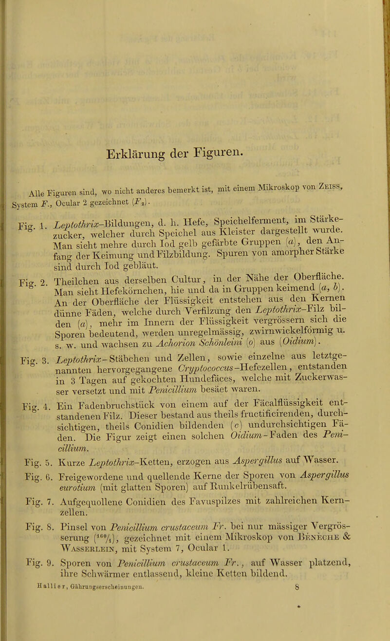 Erklarung der Figuren. rig. Fig. 2. Alle Figuren sind, wo nicht anderes bemerkt ist, mit einem Mikroskop von Zeiss, System F., Ocular 2 gezeichnet [F2). Leptothrix-Bildungen, d. h. Hefe, Speichelferment, lin Starke- zucker, welcher durch Speichel aus Kleister dargestellt mode. Man sieht mehre durch Iod gelb gefarbte Gruppen (a), den An fang der Keimung undFilzbildung. Spuren von amorpher Staike sind durch Iod geblaut. Theilcben aus derselben Cultur, in der Nahe tier Oberflache. Man sieht Hefekornchen, hie und da in Gruppen keimencl [a, b). An der Oberflache der Fliissigkeit entstehen aus den Kernen diinne Faden, welche durch Yerfilzung den Leptothrix-Y ilz bii- den [a), mehr im Innern der Fliissigkeit vergrossern sich die Sporen bedeutend, werden unregelmassig, zwirnwickelformig u. s. vf. und wachsen zu Achorion Schonleini (o) aus (Oidium). Leptothrix- Stabchen und Zellen, sowie einzelne aus letztge- nannten hervorgegangene Cryptococcus -Hefezellen, entstanden in 3 Tagen auf gekochten Hundefaces, welche mit Zuckerwas- ser versetzt und mit Penicillium besaet waren. Ein Fadenhruchstiick von einem auf der Facalfliissigkeit ent- standenen Filz. Dieser bestand aus theils fructificirenden, durch— sichtigen, theils Conidien bildenden (c) undurchsichtigen Fa- den. Die Figur zeigt einen solchen Oidium - Faden des Peni- cillium. Fig. 3. Fig. 4. Fig. 5. Kurze Leptothrix—Ivetten, erzogen aus Aspergillus auf M asser. Fig. 6. Freigewordene und quellencle Kerne der Sporen von Aspergillus eurotium (mit glatten Sporen) auf Kunkelrubensaft. Fig. 7. Aufgequollene Conidien des Favuspilzes mit zahlreichen Kern- zellen. Fig. 8. Pinsel von Penicillium crustaceum Fr. hei nur massiger Yergros- serung (1G%), gezeichnet mit einem Mikroskop von Beneche & Wasserlein, mit System 7, Ocular 1. Fig. 9. Sporen von Penicillium crustaceum Fr., auf Wasser platzend, ihre Schwarmer entlassend, kleine Ketten biltlend.