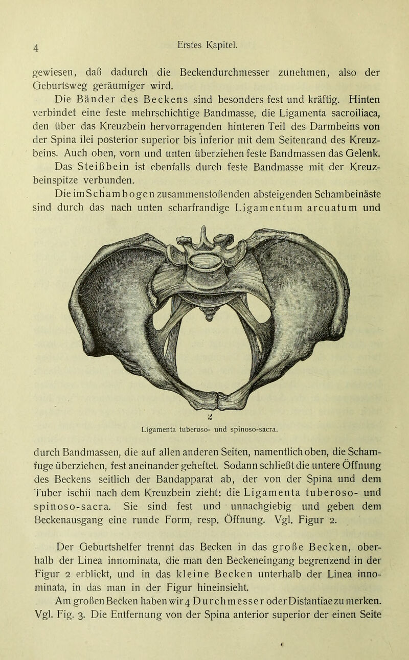 gewiesen, daß dadurch die Beckendurchmesser zunehmen, also der Geburtsweg geräumiger wird. Die Bänder des Beckens sind besonders fest und kräftig. Hinten verbindet eine feste mehrschichtige Bandmasse, die Ligamenta sacroiliaca, den über das Kreuzbein hervorragenden hinteren Teil des Darmbeins von der Spina ilei posterior superior bis inferior mit dem Seitenrand des Kreuz- beins. Auch oben, vorn und unten überziehen feste Bandmassen das Gelenk. Das Steißbein ist ebenfalls durch feste Bandmasse mit der Kreuz- beinspitze verbunden. Die imSchambogen zusammenstoßenden absteigenden Schambeinäste sind durch das nach unten scharfrandige Ligamentum arcuatum und z Ligamenta tuberoso- und spinoso-sacra. durch Bandmassen, die auf allen anderen Seiten, namentlich oben, die Scham- fuge überziehen, fest aneinander geheftet. Sodann schließt die untere Öffnung des Beckens seitlich der Bandapparat ab, der von der Spina und dem Tuber ischii nach dem Kreuzbein zieht: die Ligamenta tuberoso- und spinoso-sacra. Sie sind fest und unnachgiebig und geben dem Beckenausgang eine runde Form, resp. Öffnung. Vgl. Figur 2. Der Geburtshelfer trennt das Becken in das große Becken, ober- halb der Linea innominata, die man den Beckeneingang begrenzend in der Figur 2 erblickt, und in das kleine Becken unterhalb der Linea inno- minata, in das man in der Figur hineinsieht. Am großen Becken haben wir4Durchmesser oder Distantiae zu merken. Vgl. Fig. 3. Die Entfernung von der Spina anterior superior der einen Seite