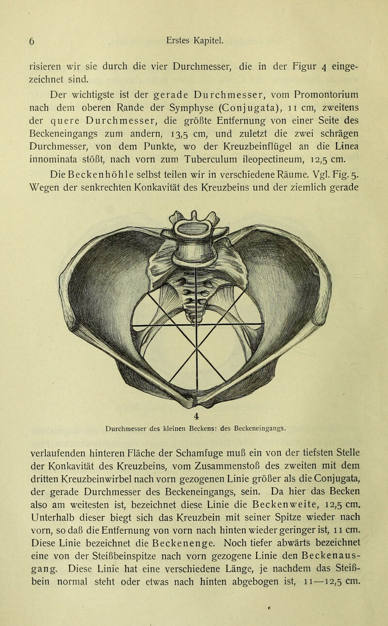 risieren wir sie durch die vier Durchmesser, die in der Figur 4 einge- zeichnet sind. Der wichtigste ist der gerade Durchmesser, vom Promontorium nach dem oberen Rande der Symphyse (Conjugata), 11 cm, zweitens der quere Durchmesser, die größte Entfernung von einer Seite des Beckeneingangs zum andern, 13,5 cm, und zuletzt die zwei schrägen Durchmesser, von dem Punkte, wo der Kreuzbeinflügel an die Linea innominata stößt, nach vorn zum Tuberculum ileopectineum, 12,5 cm. Die Beckenhöhle selbst teilen wir in verschiedene Räume. Vgl. Fig. 5. Wegen der senkrechten Konkavität des Kreuzbeins und der ziemlich gerade 4 Durchmesser des kleinen Beckens: des Beckeneingangs. verlaufenden hinteren Fläche der Schamfuge muß ein von der tiefsten Stelle der Konkavität des Kreuzbeins, vom Zusammenstoß des zweiten mit dem dritten Kreuzbeinwirbel nach vorn gezogenen Linie größer als die Conjugata, der gerade Durchmesser des Beckeneingangs, sein. Da hier das Becken also am weitesten ist, bezeichnet diese Linie die Beckenweite, 12,5 cm. Unterhalb dieser biegt sich das Kreuzbein mit seiner Spitze wieder nach vorn, so daß die Entfernung von vorn nach hinten wieder geringer ist, 11 cm. Diese Linie bezeichnet die Beckenenge. Noch tiefer abwärts bezeichnet eine von der Steißbeinspitze nach vorn gezogene Linie den Beckenaus- gang. Diese Linie hat eine verschiedene Länge, je nachdem das Steiß- bein normal steht oder etwas nach hinten abgebogen ist, 11—12,5 cm.