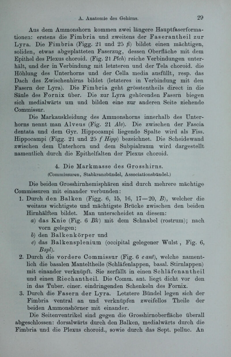 Aus dem Ammonshorn kommen zwei längere Hauptfaserforma- tionen: erstens die Fimbria und zweitens der Faserantbeil zur Lyra. Die Fimbria (Figg. 21 und 25 fi) bildet einen mächtigen, soliden, etwas abgeplatteten Faserzug, dessen Oberfläche mit dem Epithel des Plexus choroid. (Fig. 21 Pich) reiche Verbindungen unter- hält, und der in Verbindung mit letzteren und der Tela choroid. die Höhlung des Unterhorns und der Cella media ausfüllt, resp. das Dach des Zwischenhirns bildet (letzteres in Verbindung mit den Fasern der Lyra). Die Fimbria geht grösstentheils direct in die Säule des Fornix über. Die zur Lyra gehörenden Fasern biegen sich medialwärts um und bilden eine zur anderen Seite ziehende Commissur. Die Markauskleidung des Ammonshorns innerhalb des Unter- horns nennt man Alveus (Fig. 21 Alv). Die zwischen der Fascia dentata und dem Gyr. Hippocampi liegende Spalte wird als Fiss. Hippocampi (Figg. 21 und 25 f Hipp) bezeichnet. Die Scheidewand zwischen dem Unterhorn und dem Subpialraum wird dargestellt namentlich durch die Epithelfalten der Plexus choroid. 4. Die Markmasse des Grosshirns. (Commissuren, Stabkranzbündel, Associationsbündel.) Die beiden Grosshirnhemisphären sind durch mehrere mächtige Commissuren mit einander verbunden: 1. Durch den Balken (Figg. 6, 15, 16, 17—20, B), welcher die weitaus wichtigste und mächtigste Brücke zwischen den beiden Hirnhälften bildet. Man unterscheidet an diesem: ä) das Knie (Fig. 6 Bk) mit dem Schnabel (rostrum); nach vorn gelegen; b) den Balkenkörper und c) das Balkensplenium (occipital gelegener Wulst, Fig. 6, Bspl). 2. Durch die vordere Commissur (Fig. 6 cant), welche nament- lich die basalen Manteltheile (Schläfenlappen, basal. Stirnlappen) mit einander verknüpft. Sie zerfällt in einen Schläfenantheil und einen Kiechantheil. Die Comm. ant. liegt dicht vor den in das Tuber, einer, eindringenden Schenkeln des Fornix. 3. Durch die Fasern der Lyra. Letztere Bündel legen sich der Fimbria ventral an und verknüpfen zweifellos Theile der beiden Ammonshörner mit einander. Die Seitenventrikel sind gegen die Grosshirnoberfläche überall abgeschlossen: dorsalwärts durch den Balken, medialwärts durch die Fimbria und die Plexus choroid., sowie durch das Sept. pelluc. An