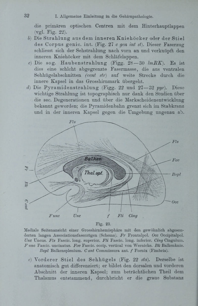 C mit die primären optischen Centren mit dem Hinterhauptlappen (vgl. Fig. 22). b) Die Strahlung aus dem inneren Kniehöcker oder der Stiel des Corpus genic. int. (Fig. 27 c gen int st). Dieser Faserzug schliesst sich der Sehstrahlung nach vorn an und verknüpft den inneren Kniehöcker mit dem Schläfelappen. c) Die sog. Haubenstrahlung (Figg. 28 — 30 ImRK). Es ist dies eine schlcht abgegrenzte Fasermasse, die aus ventralen Sehhügelabschnitten (vent str) auf weite Strecke durch die innere Kapsel in das Grosshirnmark übergeht. d) Die Pyramidenstrahlung (Figg. 22 und 27—32 pyr). Diese wichtige Strahlung ist topographisch nur dank den Studien über die sec. Degenerationen und über die Markscheidenentwicklung bekannt geworden; die Pyramidenbahn grenzt sich im Stabkranz und in der inneren Kapsel gegen die Umgebung ungenau ab. Fis Fov Bspl Occ Func Unc f Fli Cing Fig. 23. Mediale Seitenansicht einer Grosshirnhemisphäre mit den gewöhnlich abgeson- derten langen Associationsfaserzügen (Schema). Fr Frontalpol. Occ Occipitalpol. Unc Uncus. Fis Fascic. long. superior. Fli Fascic. long. inferior. Cing Cingulum. F unc Fascic. uncinatus. Fov Fascic. occip. vertical von Wernicke. Bk Balkenknie. Bspl Balkensplenium. C ant Commissura ant. f Fomix (Fimbria). e) Vorderer Stiel des Sehhügels (Fig. 22 sta). Derselbe ist anatomisch gut differenziert; er bildet den dorsalen und vorderen Abschnitt der inneren Kapsel; zum beträchtlichen Theil dem Thalamus entstammend, durchbricht er die graue Substanz