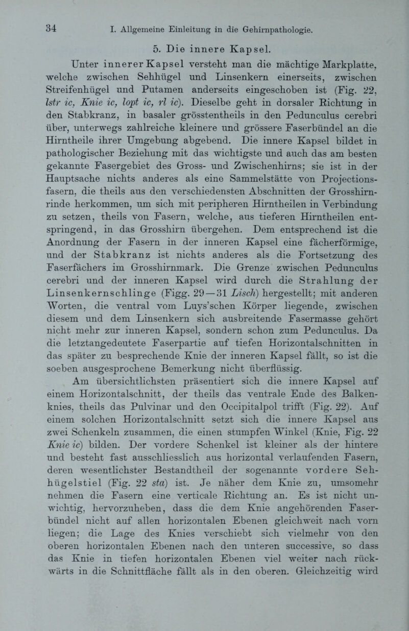 5. Die innere Kapsel. Unter innerer Kapsel verstellt man die mächtige Markplatte, welche zwischen Sehhügel und Linsenkern einerseits, zwischen Streifenhügel und Putamen anderseits eingeschoben ist (Fig. 22, Istr ic, Knie ic, lopt ic, rl ic). Dieselbe geht in dorsaler Lichtung in den Stabkranz, in basaler grösstentheils in den Pedunculus cerebri über, unterwegs zahlreiche kleinere und grössere Faserbündel an die Hirntheile ihrer Umgebung abgebend. Die innere Kapsel bildet in pathologischer Beziehung mit das wichtigste und auch das am besten gekannte Fasergebiet des Gross- und Zwischenhirns; sie ist in der Hauptsache nichts anderes als eine Sammelstätte von Projections- fasern, die theils aus den verschiedensten Abschnitten der Grosshirn- rinde herkommen, um sich mit peripheren Hirntheilen in Verbindung zu setzen, theils von Fasern, welche, aus tieferen Hirntheilen ent- springend, in das Grosshirn übergehen. Dem entsprechend ist die Anordnung der Fasern in der inneren Kapsel eine fächerförmige, und der Stabkranz ist nichts anderes als die Fortsetzung des Faserfächers im Grosshirnmark. Die Grenze zwischen Pedunculus cerebri und der inneren Kapsel wird durch die Strahlung der Linsenkernschlinge (Figg. 29 — 31 Lisch) hergestellt; mit anderen Worten, die ventral vom Luys’schen Körper liegende, zwischen diesem und dem Linsenkern sich ausbreitende Fasermasse gehört nicht mehr zur inneren Kapsel, sondern schon zum Pedunculus. Da die letztangedeutete Faserpartie auf tiefen Horizontalschnitten in das später zu besprechende Knie der inneren Kapsel fällt, so ist die soeben ausgesprochene Bemerkung nicht überflüssig. Am übersichtlichsten präsentiert sich die innere Kapsel auf einem Horizontalschnitt, der theils das ventrale Ende des Balken- knies, theils das Pulvinar und den Occipitalpol trifft (Fig. 22). Auf einem solchen Horizontalschnitt setzt sich die innere Kapsel aus zwei Schenkeln zusammen, die einen stumpfen Winkel (Knie, Fig. 22 Knie ic) bilden. Der vordere Schenkel ist kleiner als der hintere und besteht fast ausschliesslich aus horizontal verlaufenden Fasern, deren wesentlichster Bestandtheil der sogenannte vordere Seh- hügelstiel (Fig. 22 sta) ist. Je näher dem Knie zu, umsomehr nehmen die Fasern eine verticale Richtung an. Es ist nicht un- wichtig, hervorzuheben, dass die dem Knie angehörenden Faser- bündel nicht auf allen horizontalen Ebenen gleichweit nach vorn liegen; die Lage des Knies verschiebt sich vielmehr von den oberen horizontalen Ebenen nach den unteren successive, so dass das Knie in tiefen horizontalen Ebenen viel weiter nach rück- wärts in die Schnittfläche fällt als in den oberen. Gleichzeitig wird