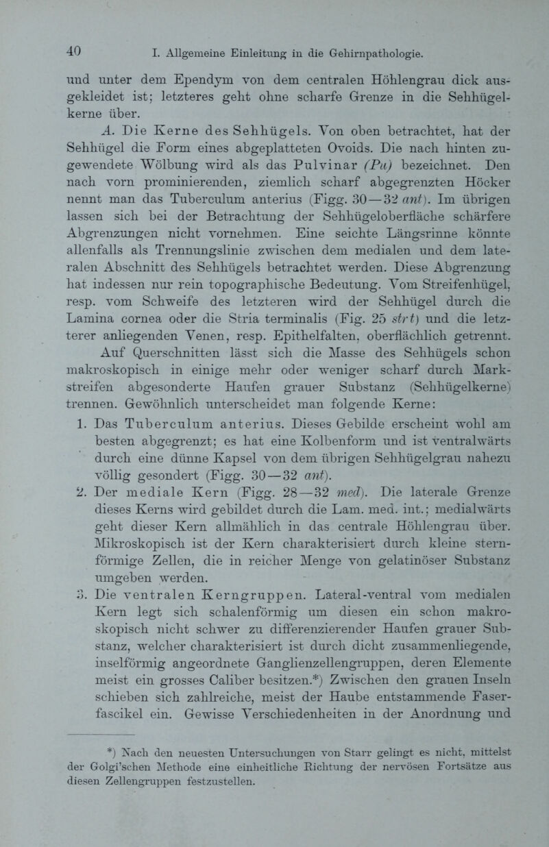 und unter dem Ependym von dem centralen Höhlengrau dick aus- gekleidet ist; letzteres geht ohne scharfe Grenze in die Sehhügel- kerne über. A. Die Kerne des Sehhügels. Von oben betrachtet, hat der Sehhügel die Form eines abgeplatteten Ovoids. Die nach hinten zu- gewendete Wölbung wird als das Pulvinar (Pa) bezeichnet. Den nach vorn prominierenden, ziemlich scharf abgegrenzten Höcker nennt man das Tuberculum anterius (Figg. 30 — 32 ant). Im übrigen lassen sich bei der Betrachtung der Sehhügeloberfläche schärfere Abgrenzungen nicht vornehmen. Eine seichte Längsrinne könnte allenfalls als Trennungslinie zwischen dem medialen und dem late- ralen Abschnitt des Sehhügels betrachtet werden. Diese Abgrenzung hat indessen nur rein topographische Bedeutung. Vom Streifenhügel, resp. vom Schweife des letzteren wird der Sehhügel durch die Lamina cornea oder die Stria terminalis (Fig. 25 strt) und die letz- terer anliegenden Yenen, resp. Epithelfalten, oberflächlich getrennt. Auf Querschnitten lässt sich die Masse des Sehhügels schon makroskopisch in einige mehr oder weniger scharf durch Mark- streifen abgesonderte Haufen grauer Substanz (Sehhügelkerne) trennen. Gewöhnlich unterscheidet man folgende Kerne: 1. Das Tuberculum anterius. Dieses Gebilde erscheint wohl am besten abgegrenzt; es hat eine Kolbenform und ist ventralwärts durch eine dünne Kapsel von dem übrigen Sehhügelgrau nahezu völlig gesondert (Figg. 30 — 32 ant). 2. Der mediale Kern (Figg. 28 — 32 med). Die laterale Grenze dieses Kerns wird gebildet durch die Lam. med. int.; medialwärts geht dieser Kern allmählich in das centrale Höhlengrau über. Mikroskopisch ist der Kern charakterisiert durch kleine stern- förmige Zellen, die in reicher Menge von gelatinöser Substanz umgeben werden. 3. Die ventralen Kerngruppen. Lateral-ventral vom medialen Kern legt sich schalenförmig um diesen ein schon makro- skopisch nicht schwer zu differenzierender Haufen grauer Sub- stanz, welcher charakterisiert ist durch dicht zusammenliegende, inselförmig angeordnete Ganglienzellengruppen, deren Elemente meist ein grosses Caliber besitzen.*) Zwischen den grauen Inseln schieben sich zahlreiche, meist der Haube entstammende Faser- fascikel ein. Gewisse Verschiedenheiten in der Anordnung und *) Nach den neuesten Untersucliungen von Starr gelingt es nickt, mittelst der Golgi’scken Metkode eine einkeitlicke Licktung der nervösen Fortsätze aus diesen Zellengruppen festzustellen.