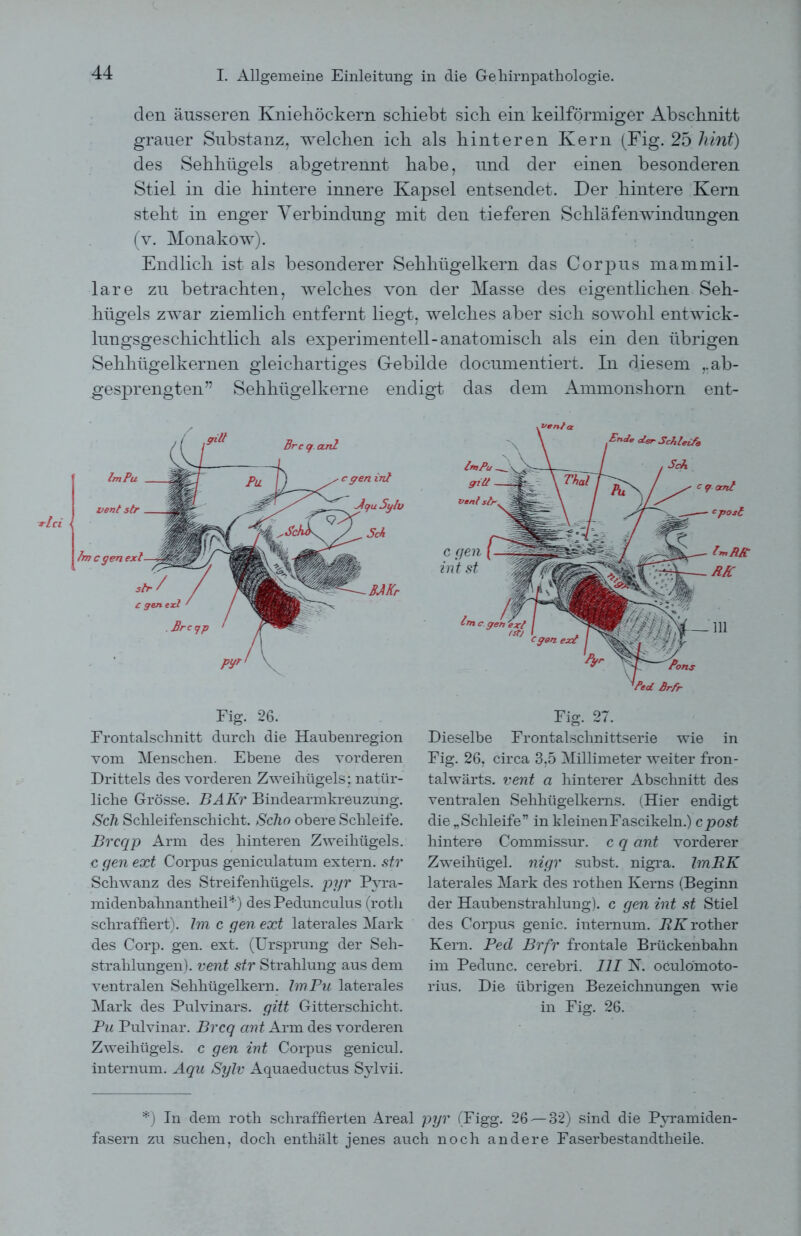den äusseren Kniehöckern schiebt sich ein keilförmiger Abschnitt grauer Substanz, welchen ich als hinteren Kern (Fig. 25 hint) des Sehhügels abgetrennt habe, und der einen besonderen Stiel in die hintere innere Kapsel entsendet. Der hintere Kern steht in enger Verbindung mit den tieferen Schläfenwindungen (v. Monakow). Endlich ist als besonderer Sehhügelkern das Corpus mammil- lare zu betrachten, welches von der Masse des eigentlichen Seh- hügels zwar ziemlich entfernt liegt, welches aber sich sowohl entwick- lungsgeschichtlich als experimentell-anatomisch als ein den übrigen Sehhügelkernen gleichartiges Gebilde documentiert. In diesem ,, ab- gesprengten” Sehhügelkerne endigt das dem Ammonshorn ent- Fig. 26. Frontalschnitt durch die Haubenregion vom Menschen. Ebene des vorderen Drittels des vorderen Zweihügels: natür- liche Grösse. BAKr Bindearmkreuzung. Sch Schleifenschicht. Scho obere Schleife. Brcqp Arm des hinteren Zweihügels, c gen ext Corpus geniculatum extern, str Schwanz des Streifenhügels. p?/r Pyra- midenbahnantheil*) des Pedunculus (rotli schraffiert). Im c gen ext laterales Mark des Corp. gen. ext. (Ursprung der Seh- strahlungen). vent str Strahlung aus dem ventralen Sehhügelkern. ImPu laterales Mark des Pulvinars. gilt Gitterschicht. Pu Pulvinar. Brcq ant Arm des vorderen Zweihügels, c gen int Corpus genicul. internum. Aqu Sylv Aquaeductus Sylvii. Fig. 27. Dieselbe Frontalschnittserie wie in Fig. 26, circa 3,5 Millimeter weiter fron- talwärts. vent a hinterer Abschnitt des ventralen Sehhügelkems. (Hier endigt die „Schleife” in kleinenFascikeln.) cpost hintere Commissur. c q ant vorderer Zweihügel, nigr subst. nigra. ImRK laterales Mark des rothen Kerns (Beginn der Haubenstrahlung), c gen int st Stiel des Corpus genic. internum. ivArother Kern. Ped Brfr frontale Brückenbahn im Pedunc. cerebri. III N. oculömoto- rius. Die übrigen Bezeichnungen wie in Fig. 26. *) In dem roth schraffierten Areal pyr (Figg. 26—32) sind die Pyramiden- fasern zu suchen, doch enthält jenes auch noch andere Faserbestandtheile.
