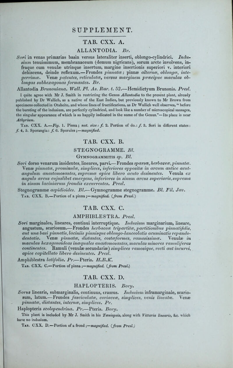 SUPPLEMENT. TAB. CXX. A. ALLANTODIA. Br. Sort in venas primarias basin versus lateraliter inserti, oblongo-cylindrici. Indu~ sium tenuissimum, membranaceum (demum nigricans), sorum arete involvens, in- fraque cum venulae utrinque insertura, margine insertionis superiori v. interiori dehiscens, deinde reflexum.—Frondes pinnatce; pinnae alternce, ohlongce, inte- gerrimee. Venae patentes, reticulatcB^ versus marginem prcecipue maculas ob- longas suhhexagonas formantes. Br. Allantodia Brunoniana. Wall. PI. As. Par. t. 52.—Hemidictyum Brunonis. Presl. I quite agree with Mr J, Smith in restricting the Genus Allantodia to the present plant, already published by Dr Wallich, as a native of the East Indies, but previously known to Mr Brown from specimens collected in Otaheite, and whose lines of fructifications, as Dr Wallich well observes, “ before the bursting of the indusium, are perfectly cylindrical, and look like a number of microscopical sausages, the singular appearance of which is so happily indicated in the name of the Genus.”—Its place is near Athyrium. Tab. CXX. A.—Fig. 1. Pinna; nat. size; f. 2. Portion of do.: f. 3. Sori in different states: f. 4, 5. Sporangia: f. 6. Sporules;—magnified. TAB. CXX. B. STEGNOGRAMME. Bl. Gymnogrammitis sp. Bl. Son dorso venarum insldentes, lineares, parvi.—Frondes sparsce, herhacece,pinnatce. \ense pinnatce, prominulce, simplices, inferiores oppositoi in arcum antice acut- angulum anastomosantes, supremce apice lihero acuto desinentes. Venula ex angulo arcus cujuslihet emergens, inferiores in sinum arcus superioris, suprema in sinum laciniarurn frondis excurrentes. Presl. Stegnogramme aspidioides. Bl.-—Gymnogramme stegnogramme. Bl. Fil. Jav. Tab. CXX. B.—Portion of a pinna ;—magnified, (^from Presl.) TAB. CXX. C. AMPHIBLESTRA. Presl. Sori raarginales, lineares, continui interruptique. Indusium marginarium, lineare, angustum, scariosum.—Frondes lierbacece tripartitce, partitionihus pinnatifidis, aut una basi pinnatis, laciniis pinnisque oblongo-lanceolatis acuminatis repando- dentatis. Venae pinnatce, distantes, costceformes, ramosissimee. Venulae in macidas hexagonoideas incequales anastomosantes, maculas minores ramidiferas continentes. Ramuli (venulae secundariae) simplices ramosique, recti aut incurvi, apice capitellato libero desinentes, Presl. Amphiblestra latifolia. Pr.—Pteris. II.B.K. Tab. CXX. C.—Portion of pinna ;—magnified, {from Presl.) TAB. CXX. D. HAPLOPTERIS. Bory. Sorus linearis, submarginalis, continuus, crassus. Indusium inframarginale, scario- sum, latum.—Frondes fasciculatce, coriacece, simplices, venis lineatce. Venae pinnatce, distantes, internee, simplices. Pr. Haplopteris scolopendrina. Pr.—Pteris. Bory. This plant is included by Mr J. Smith in his Tceniopsis, along with Vitlaria linearis, &c. which have no indusium. Tab. CXX. D.—Portion of a frond ;—magnified, {from Presl.)