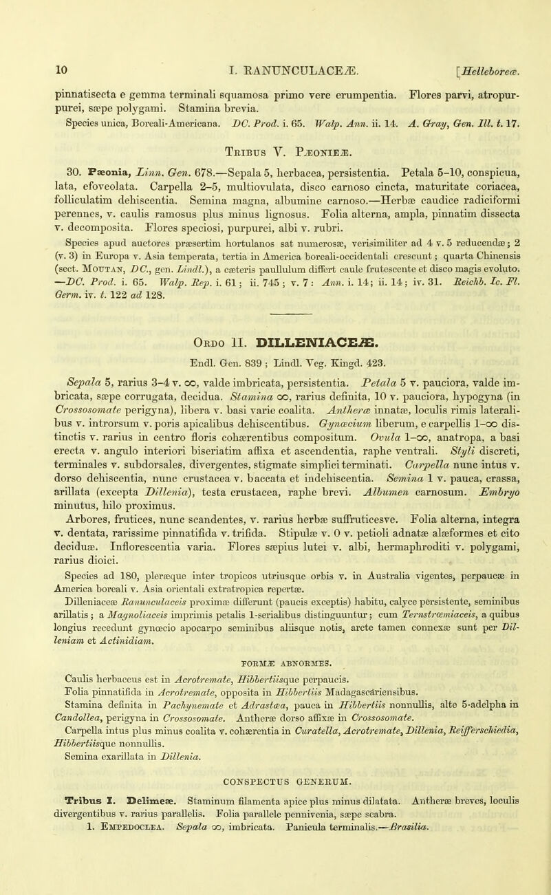 pirmatisecta e gemma terminali squamosa primo vere erumpentia. Flores parvi, atropur- purei, saepe polygami. Stamina brevia. Species unica, Boreali-Americana. DC. Prod. i. 65. Walp. Ann. ii. 14. A. Oray, Oen. lll. 1.17. TeIBUS V. PiEOlSriEiE. 30. Pseonia, Linn. Gen. 678.—Sepala 5, herbacea, persistentia. Petala 5-10, conspicua, lata, efoveolata. Carpella 2-5, multiovulata, disco cariioso cincta, maturitate coriacea, folliculatim dehiscentia. Semina magna, albumine earnoso.—Herbfe caudice radiciformi perenncs, v. caulis ramosus phis minus Hgnosus. Foha alterna, ampla, pinnatim dissecta V. decomposita. Flores speciosi, purpurei, albi v. rubri. Species apud auctorea praesertim hortulanos sat nuinerosae, verisimiliter ad 4 v. 5 reducendse; 2 (v. 3) in Eui'opa v. Asia temperata, tertia in America boreali-occidentali crescimt; quarta Chinensis (sect. MouTAN, BC, gen. Lindl.), a cseteris paullulum difFert caule frutescente et disco magis evoluto. —BC. Prod. i. 65. Walp. Eep. i. 61; ii. 745 ; v. 7 : Ann. i. 14; ii. 14; iv. 31. Meichh. lo. Fl. Qerm. iv. t. 122 ad 128. Ordo II. DILLENIACE^. Endl. Gen. 839 ; LincU. Veg. Kingd. 423. Sepala 5, rarius 3-4 v. oo, valde imbricata, persistentia. Petala 5 v. pauciora, valde im- bricata, sa;pe corrugata, decidua. Stamina oo, rarius definita, 10 v. pauciora, hypogyna (in Crossosomate perigyna), hbera v. basi varie coahta. Antlieroe innatse, loculis rimis laterah- bus V. introrsum v. poris apicahbus dehiscentibus. Gynoscium hberum, e carpeUis l-oo dis- tinctis V. rarius in centro floris cohscrentibus compositum. Ovula l-oo, anatropa, a basi erecta v. angulo interiori biseriatim afExa et ascendentia, raphe ventrali. Styli discreti, terminales v. subdorsales, divergentes, stigmate simplici terminati. Carpella nunc intus v. dorso dehiscentia, nunc crustacea v. baccata et indehiscentia. Semina 1 v. pauca, crassa, ariUata (excepta Dillenia), testa crustacea, raphe brevi. Alhumen carnosum. Emhryo minutus, hilo proximus. Arbores, frutices, nunc scandentes, v. rarius herba! sutfruticesve. Foha alterna, integra V. dentata, rarissime pinnatifida v. trifida. Stipulse v. 0 v. petioh adnatse alfBformes et cito deciduse. Inflorescentia varia. Flores ssepius lutei v. albi, hermaphroditi v. polygami, rarius dioici. Species ad 180, plerseque inter tropicos utriusque orbis v. in Australia vigentes, perpaucse in America boreaU v. Asia orientaU extratropica repertse. Dilleniacese Ranunculaceis prosim£e differunt (paucis exceptis) habitu, calyce persistente, seminibus arUlatis ; a Magnoliaceis imprimis petaUs l-seriaUbus distinguuntm; eum Ternstrcemiaceis, a quibus longius recedimt gynoecio apocarpo seminibus aliisque notis, arcte tamen connexse sunt per Dil- leniam et Actinidiam. FOEM^ ABNOEMES. Caulis herbuceus est in Acrotremate, Hibiertiisqae perpaucis. EoUa pinnatifida in Acrotremate, opposita in Ilibhertiis Madagascariensibus. Stamina definita in Pachynemate et Adrastaa, pauca in Ilihbertiis nonnuUis, alte 5-adelpha in Candollea, perigyna in Crossosomate. Antherae dorso afljxse in Crossosomate. CarpeUa intus plus minus coaUta v. cohaerentia in Curatella, Aerotremate, Dillenia, Reifferschiedia, Hibhertiisqae nonnuUis. Semina exarillata in Diltenia. CONSPECTTJS OENEIIUM. Tribus Z. Delimese. Staminum filamenta apicepUis minus dilatata. Antherce breves, locuUs divergentibus v. rarius paraUeUs. FoUa paraUele pennivenia, soepe scabra. 1. Empedoclea. Sepala oo, imbricata. Panicula terminaUs.—Brasilia.