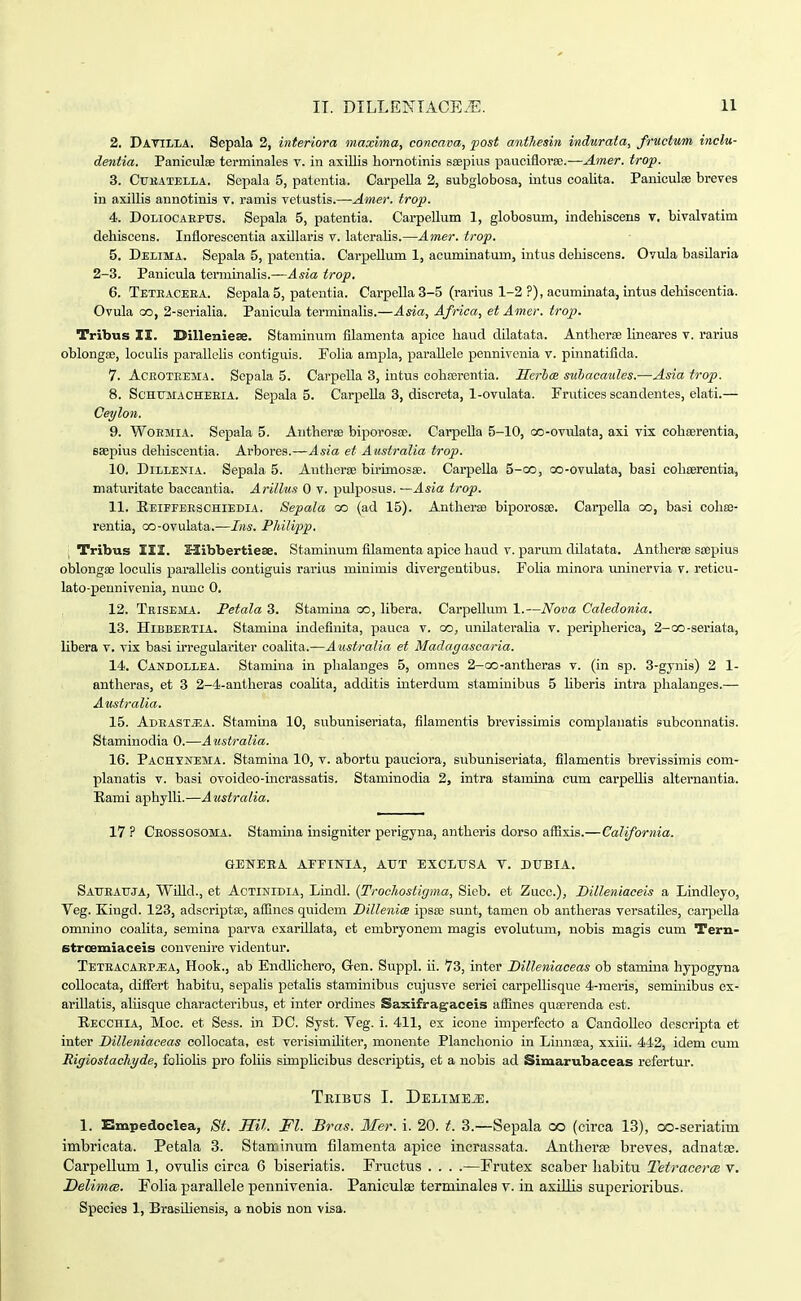 2. Datilla. Sepala 2, interiora maxima, concava, ])ost anthesin indurata, fructum inclu- dentia. Paniciilifi terminales v. in axillis hornotinis ssepius paucifloree.—Amer. trop. 3. Ctjkatella. Sepala 5, patentia. Carpella 2, subglobosa, intus coalita. Panicute breves in axillis annotinis v. ramis vetustis.—Amer. trop. 4. DoLiocAEPtrs. Sepala 5, patentia. Carpellum 1, globosum, indehiscens v. bivalvatim dehiscens. Inflorescentia axillaris v. lateralis.—Amer. trop. 5. Delima. Sepala 5, patentia. Carpellum 1, acuminatum, intus dehiscens. Ovula basilaria 2-3. Panicula terminalis.—.4s«ai irop, 6. Teteaceea. Sepala 5, patentia. Carpella 3-5 (rarius 1-2 ?), acuminata, intus dehiscentia. Ovula 00, 2-scrialia. Pauicula tcrminahs.—Asia, Africa, et Amer. trop. Tribus ZI. Dilleniese. Staminum filamenta apice haud dilatata. Antherse lineares v. rarius oblongEe, locuHs parallehs contiguis. Folia ampla, parallele pennivenia v. pmnatifida. 7. AcEOTEEMA. Scpala 5. CarpeUa 3, intus cohEBrentia. Serhm subacaules.—Asiairop. 8. ScHUMACHEEiA. Scpala 5. Carpella 3, discreta, 1-ovulata. Frutices scandentes, elati.— Ceylon. 9. WoEMiA. Sepala 5. Antherse biporosae. CarpeUa 5-10, oo-ovulata, axi vis cohserentia, esepius deliiscentia. Arbores.—Asia et Australia trop. 10. DiLLENiA. Sepala 5. Antherae bu-imosse. Carpella 5-oo, oo-ovulata, basi colieerentia, maturitate baccantia. Arillus 0 v. pulposus. —Asia trop. 11. Eeiffeeschiedia. Sepala oo (ad 15). Antlierae biporosse. Carpella co, basi coha3- rentia, oo-ovulata.—Ins. Philipp. \ Tribus III. Slibbertiese. Staminum filamenta apice haud v. parum dilatata. Antherse ssepius oblongae loculis parallelis coutiguis rarius minimis divergentibus. Foha minora uninervia v. reticu- lato-pennivenia, nunc 0, 12. Teisema. JPetala 3. Stamina oo, hbera. Carpellum 1.—Nova Caledonia. 13. Hibbeexia. Stamina indefiuita, pauca v. oo, unUateraUa v. periplierica, 2-QO-seriata, libera v. vix basi irregulariter coalita.—Australia et Madagascaria. 14. Candollea. Stamina in plialanges 5, omnes 2-oo-anthera8 v. (in sp. 3-gynis) 2 1- antlieras, et 3 2-4-antlieras coahta, additis interdum staminibus 5 hberis intra plialanges.— Australia. 15. Adeast^a. StamLna 10, subuniseriata, filamentis brevissimis complaiiatis subconnatis. Staminodia 0.—Australia. 16. Pachynema. Stamina 10, v. abortu pauciora, subuniseriata, filamentis brevissimis com- planatis v. basi ovoideo-mcrassatis. Staminodia 2, intra stamina cum carpeDis alternantia. Rami aphylh.—Australia. 17 ? Ceossosoma. Stamma insigniter perigyna, antheris dorso aflixis.—California. GENERA. ArriNIA, AUT EXCLUSA V. DXIBIA. SAtTEATjJA, WiUd., et AcTiNiDiA, Lindl. {Trochostigma, Sicb. et Zucc), Billeniaceis a Lindleyo, Veg. Kingd. 123, adscriptee, aflines qviidem DilleniiB ipsse sunt, tamen ob antheras versatiles, carpella omnino coalita, semina parva exarihata, et embryonem magis evolutmn, nobis magis cum Tern- Btroemiaceis convenire videntur. Teteacaep^a, Hook., ab Endlichero, G-en. Suppl. ii. 73, inter Bineniaceas ob stamina hypogyna collocata, differt habitu, sepahs petalis staminibus cujusve seriei carpellisque 4-meris, semmibus ex- arillatis, aliisque characteribus, et inter ordines Sai^ifragaceis afiines quaerenda est. Eecchia, Moc. et Sess. in DC. Syst. Veg. i. 411, ex icone impei-fecto a Candolleo descripta et inter Dilleniaceas collocata, est verisimiliter, monente Planchonio in Linuoea, xxiii. 442, idem cmn Rigiostachyde, foliolis pro foliis simphcibus descriptis, et a nobis ad Simarubaceas refertur. TRIBtrS I. DELIMEiE. 1. Empedoclea, St. Kil. Fl. Bras. Mer. i. 20. t. 3.—Sepala oo (circa 13), oo-seriatim imbricata. Petala 3. Staminum filamenta apice incrassata. Antherse breves, adnatae. Carpellum 1, ovulis circa 6 biseriatis. Fructus . . . .—Frutex scaber habitu Tetracerm v. DelimcB. Folia parallele pennivenia. Paniculae terminales v. in axiUis superioribus. Species 1, Brasihensis, a nobis non visa.