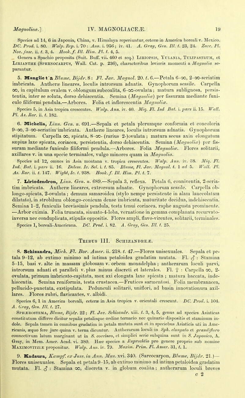 Species ad 14, 6 iii Japonia, China, v. Himalaya reperiimtur, ceterse in America boreali v. Mexico. BC. Prod. i. 80. Walp. Rep. i. 70 : Ann. i. 956; iv. 41. A. Gray, Gen. III. t. 23, 24. Zuco. Pl. Nov.fasc. ii. t. 3, 4. Hooh.f. III. Him. Pl. t. 4, 5. Genera a Spacliio pvoposita (Siiit. Buif. vii. 460 et seq.) Lieiopsis, Yulania, Tulipastetjm, et LiEiANTHB (Sphenocaepus, Wall. Cat. p. 236), cliaracteribus levioris momeuti a Magnolia se- parantuT. 5. laanglie fa Blmne, Bijdr. 8 : Fl. Jav. Magnol. 20. t. 6.—Petala 6-co, 2-QO-seriatim imbricata. Antlieras lineares, loculis introrsum adnatis. Gynophorum sessile. Carpella co, in capitulum ovalem V. oblonsum subcoalita, 6-oo-ovulata; matura sublignosa, persis- tentia, inter se soluta, dorso dehiscentia. Semina {MacjnoUcs) per fissuram medianto funi- culo filiformi pendula.—Arbores. Folia et inflorescentia Magnolice. Species 5, iu Asia tropica crescentes. Walp. Ann. iv. 40. Miq. Fl. Ind Bat. i. pars u. 15. Wall. Pl. As. Rar. ii. t. 182. 6. Miclielia, Linn. Gen. n. 691.—Sepala et petala plerumque conforniia et concoloria 9-0O, 3-co-seriatim imbricata. Antherse lineares, loculis introrsum adnatis. Gjnophorum stipitatum. Carpella oo, spicata, 8-oo- (rarius 2-)ovulata ; matura secus axin elongatum sgepius laxe spicata, coriacea, persistentia, dorso dehiscentia. Semina (MagnoUce) per fis- suram mediante funiculo filiformi pendula.—Arbores. Polia MagnoUce. Flores solitarii, axillares v. in una specie terminales, vulgo minores quam in MagnoUa. Species ad 12, omnes in Asia montana v. troj)ica crescentes. Walp. Ann. iv. 88. Miq. Fl. Ind. Bat. i. pars ii. 16. Deless. Ic. Sel. i. t. 85. Bhime, Fl. Jav. Magnol. t. 1 ad 5. Wall. Pl. As. Rar. ii. t. 147. Wight, Ic. t. 938. HooJc. f. III. Him. Pl. t. 1. 7. Iiiriodendron, Linn. Gen. n. 689.—Sepala 3, reflexa. Petala 6, conniventia, 2-seria- tira imbricata. Antherse lineares, extrorsum adnatse. Gynophorum sessile. Carpella ob- longo-spicata, 2-ovuIata; demum samaroidea (stylo nempe persistente in alara lanceolatam dilatato), in strobilum oblongo-conicum dense imbricata, maturitate decidua, indehiscentia. Semina 1-2, funiculis brevissimis pendula, testa tenui coriacea, raphe angusta prominente. —Arbor eximia. Folia truncata, sinuato-4-loba, vernatione in gemma complauata recurvato- inversa nec conduplicata, stipulis oppositis. Flores ampli, flavo-virentes, solitarii, terminales. Species 1, boreali-Amerieana. 1)0. Prod. i. 82. A. Gray, Gen. El. t. 25. TeIBUS III. ScHlZANDEEJi;. 8. Scbizandra, Micli. Fl. Bor. Amer. ii. 218. t. 47.—riores unisexuales. Sepala et pe- tala 9-12, ab extimo minimo ad iutiraa petaloidea gradatim mutata. FI. : Stamina 5-15, basi v. alte in massam globosam v. orbem monadelpha; antherarura loculi parvi, introrsura adnati et paralleli v. plus minus discreti et laterales. FI. ? : Carpella oo, 2- ovulata, priraum imbricato-capitata, mox axi elongata laxe spicata ; niatura baccata, iude- hiseentia. Semina reniformia, testa crustacea.—Frutices sarmentosi. Folia membranacea, pellucido-punctata, exstipulata. Pedunculi solitai-ii, uniflori, ad basin innovationum axil- lares. Flores rubri, flavicantes, v. albidi. Species 6, 1 in America boreali, ceterse in Asia tropica v. orientali erescunt. DC. Prod. i. 104. A. Gray, Gen. III. t. 27. Spiijseostema, Blume, Bijdr. 22; Fl. Jav. Scliizandr. siii. t. 3, 4, 5, genus ad species Asiaticas constitutum differre dicitur sepalis petaHsque ordine ternario nec quinario dispositis et staminum in- dole. Sepala tamen in omnibus gradatim in petala mutata smit et in speciebus Asiaticis uti in Ame- ricanis, sequo fere jure quina v. terna dicuntur. Antherarum locuU in Spk. elongato et grandfioro connectivum latum marginant ut in S. coccineo, et simplici serie subquina sunt i)i S. Japonico, A. Gray, in Mem. Amer. Acad. vi. 380. Hbbc species a RuprecJdio pro genere proprio sub nomine MaximovitzitE proponitur. Walp. Ann. iv. 79. Maxim. Prim. Fl. Amur. 31, t. 1. 9. Kadsura, Kcempf. ex Jnss. in Ann. Mus. xvi. 340. (Sarcocarpon, Bhime, Bijdr. 21.)— Flores unisexuales. Sepala et petala 9-15, ab extirao minimo ad intiraa petaloidea gradatira mutata. Fl. : Stamina oo, discreta v. in globum coalita ; antherarum loculi breves 0 2