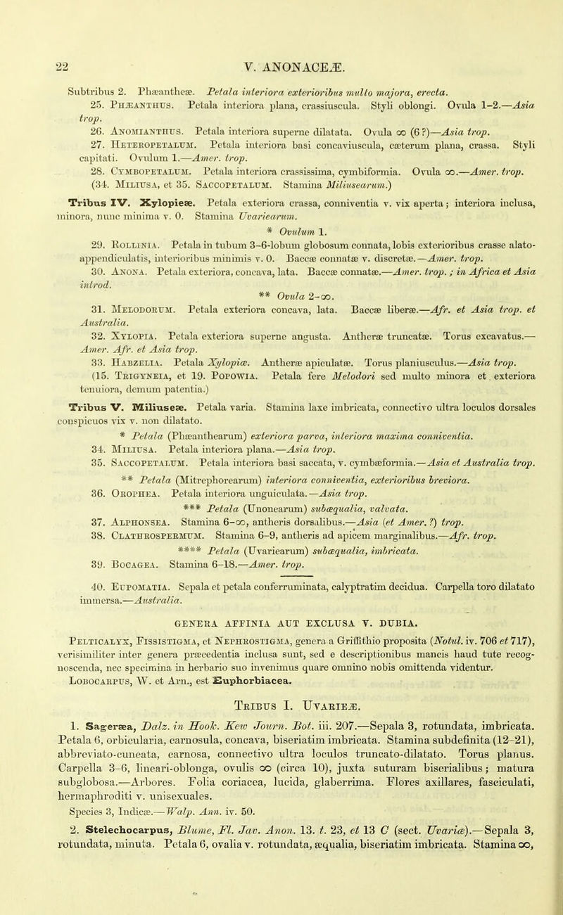 Subtribus 2. Phoeanthese. Petala iiiieriora exterioribtis midto majora, erecta. 25. Phjjanthtjs. Petala interiora plana, «•assiuscula. Styli oblongi. Oviila 1-2.—Asia trop. 26. ANOMlANTnus. Petala intcriora superne dilatata. Ovula oo (6 ?)—Asia trop. 27. HETEEOrETALrM. Pctala interiora basi concavi\iscula, ca^terum plana, crassa. Styli capitati. Ovuhim 1.—Amer. trop. 28. CTMBOPETALrM. Petala interiora crassissima, cymbiformia. Ovula oo.—Amer. trop. (3i. MiLiTJSA, et 35. SACCOPETALrM. Stamina Miliusearum.) Tribus IV. Xylopiese. Petala exteriora crassa, conniventia v. vix aperta; interiora inclusa, minora, nunc minima v. 0. Stamina Uvariearum. * Ovulum 1. 29. lloLLiNlA. Petalain tubum 3-6-lol)um globosum connata, lobis cxtorioribus crasse alato- appendiciLlatis, iiiterioribus minimis v. 0. Baccae counatse v. discretse.—Amer. trop. 30. Anona. Petala exteriora, concava, lata. BacciE coimatse.—Amer. trop. ; in Africa et Asia inlrod. ** Ovula 2-co. 31. Melodohum. Petala exteriora concava, lata. Baccee liberse.—Afr. et Asia trop. et Australia. 32. Xylopia. Petala exteriora superne angusta. AntlicrEe truncatae. Torus excavatus.— Amer. Afr. et Asia trop. 33. Habzelia. Petala Xylopice. Antheroe apicidatse. Tonis planiuscvdus.—Asia trop. (15. Teigyneia, et 19. PopoWia. Petala fere Melodori sed multo minora et exteriora tenuiora, demvma patentia.) Tribus V. Miliusese. Petala varia. Stamina laxe imbricata, connectivo idtra loeulos dorsales couspicuos vix v. non dilatato. * Petala (Phajanthearum) exteriora parva, interiora maxiina conniventia. 34. MlLlusA. Petala interiora plana.—Asia trop. 35. Saccopetalitm. Petala interiora basi saccata, v. cymbieformia.—Asia et Australia trop. ** Petala (Mitrephorearmn) interiora conniventia, exteriorihus hreviora. 36. Oeophea. Petala interiora unguicvdata. —Asia trop. *** Petala (Unonearimi) subcequalia, valvata. 37. Alphonsea. Stamina 6-oo, antheris dorsaUbus.—Asia (et Amer. ?) trop. 38. Clatheospeemum. Stamina 6-9, antheris ad apicem marginalibus.—Afr. trop. **** Petala (Uvariearum) stihcequalia, imbricata. 39. BoCAGEA. Stamina 6-18.—Amer. trop. 40. Eupomatia. Sepala et petala couferruminata, calyptratim decidua. Carpella toro dUatato immersa.—Australia. GENERA AEriNIA AUT EXCLUSA V. DUBIA. Pelticalys, Fissistigma, et Nepheostigma, genera a GriiEthio proposita {Notul. iv. 706 et 717), verisimihter inter genera prsecedentia inchisa simt, sed e descriptionibus mancis haud tute recog- uoscenda, nec specirnina in herbario suo invenimus quare omnino nobis omittenda videntur. LoBOCAEPUS, W. et Arn., est :&uphorbiacea. TeIBUS I. UVAEIEJE. 1. Sagersea, Dalz. in Soolc. Keto Journ. Hot. iii. 207.—Sepala 3, rotundata, imbricata. Petala 6, orbicularia, carnosula, concava, biseriatim imbricata. Stamina subdefinita (12-21), abbreviato-cuneata, carnosa, connectivo ultra loculos truncato-dilatato. Torus planus. Carpella 3-6, linearl-oblonga, ovulis oo (circa 10), juxta suturam biserialibus; matura subglobosa.—Arbores. Folia coriacea, lucida, glaberrima. Flores axillares, fasciculati, hermaphroditi v. unisexuales. Species 3, Indicse.— Walp. Ann. iv. 50. 2. Stelechocarpus, Blume, Fl. Jav. Anon. 13. t. 23, et 13 C (sect. UvaricB).— Sepala 3, rotundata, minuta. Petala 6, ovalia v. rotundata, sequalia, biseriatim imbricata. Stamina oo,