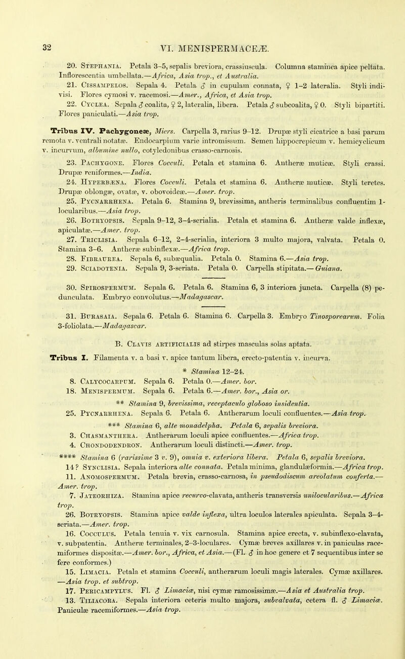 20. Stephania. Petala 3-5, sepalis breviora, crassiuscula. Columna stamiiiea apice peltata. Inflorescentia iimbellata.—Africa, Asia trop., et Australia. 21. ClssAJiPELOS. Sepala 4. Petala S in cupulam connata, $ 1-2 latcralia. Styli indi- visi. Plores cymosi v. racemosi.—Amer., Afnca, et Asia trop. 22. Cyclea. Sepala $ coalita, ^ 2, lateralia, libera. Petala J subcoalita, ^ 0. StyK bipartiti. Flores paniculati.—Asia trop. Tribns IV. Pachygonese, Miers. Carpella 3, rarius 9-12. Drupse styli cicatrice a basi parum remota v. ventrali notatie. Endocarpium varie intromissimi. Semen liippocrepicum v. liemicyclicum V. incurvum, alhumine nullo, cotyledonibus crasso-carnosis. 23. PACHTaojfE. Flores Cocculi. Petala et stamina 6. Antlierse mutica;. Styli crassi. Drupse reniformes.—India. 24. HTPERBiENA. Flores Cocculi. Petala et stamina 6. Anthera; muticae. Styli terctes. Drupae oblongse, ovatse, v. obovoidese.—Amer. trop. 25. Pycnarehena. Petala 6. Stamina 9, brevissima, antheris terminalibus confluentim 1- locularibus.—Asia trop. 26. BoTEYOPSis. Sepala 9-12, 3-4-seriaIia. Petala et stamina 6. Antherse vakle inflexse, apiculatse.—Amer. trop. 27. Teiclisia. Sei^ala 6-12, 2-4-serialia, interiora 3 multo majora, valvata. Petala 0. Stamina 3-6. Antherse subinflexae.—Africa trop. 28. FlBEAtlKEA. Sepala 6, subsDqualia. Petala 0. Stamina 6.—Asia trop. 29. SciADOTENiA. Sepala 9, 3-seriata. Petala 0. Carpella stipitata.— Chiiana. 30. SpiEOSPEEMirM. Sepala 6. Petala 6. Stamina 6, 3 interiora juncta. Carpella (8) pe- dunculata. Embryo convolutus.—Madagascar. 31. Bfeasaia. Sepala 6. Petala 6. Stamina 6. Carpella 3. Embryo Tinosporeamm. Foha 3-foliolata.—Madagascar. B. Clatis aetificiaxis ad stirpes masculas solas aptata. Tribus I. Filamenta v. a basi v. apice tantum libera, erecto-patentia v. iuourva. * Stamina 12-24. 8. Caltcocaepum. Sepala 6. Petala 0.—Amer. hor. 18. Menispermum:. Sepala 6. Petala 6.—Amer. hor., Asia or. ** Stamina 9, hrevissima, receptaculo glohoso insidentia. 25. Ptcnaerhena. Sepala 6. Petala 6. Antherarum loculi confluentes.—Asia trop. *** Stamina 6, alte monadelplia. Petala 6, sepalis hreviora. 3. Chasmantheea. Antherarum loculi apice confluentes.—Africa trop. 4. Chondodenbeon. Antherarum loctdi distiacti.—Amer. trop. **** Stamina 6 (rarissime 3 f. 9), omnia v. exteriora lihera. Petala 6, sepalis hreviora. 14? Stnclisia. Sepala interiora aZ^e eo»»a<a. Petala minima, glandulseformia.—Africatrop. 11. Anomospermum. Petala brevia, crasso-carnosa, in pseudodiscum areolatum conferta.— Amer. trop. 7. Jateoehiza. Stamina apice re«w«o-clavata, antheris transversis unilocularihus.—Africa trop. 26. BoTETOPSis. Stamina apice valde infiexa, ultra lociilos laterales apiculata. Sepala 3-4- seriata.—^mer. trop. 16. CoccuLUS. Petala tenuia v. vix camosula. Stamina aj)ice erecta, v. subinflexo-clavata, V. subpatentia. Antherse terminales, 2-3-Ioculares. Cymse breves axUlares v. in paniculas race- miformes dispositse.—Amer. hor., Africa, et Asia.—(FI. 3 in hoc genere et 7 sequentibus inter se fere conformes.) 15. LiMACiA. Petala et stamina Cocculi, antherarum loculi magis laterales. Cymse axiUares. —Asia trop. et suhtrop. 17. Peeicamptlus. F1. $ Limacim, nisi cymse ramosissimee.—Asia ei Australia trop. 13. TiLlACOEA. Sepala interiora ceteris multo majora, suhvalvata, cetera fl. <J Limacim. Paniculse racemiformes.—Asia trop.