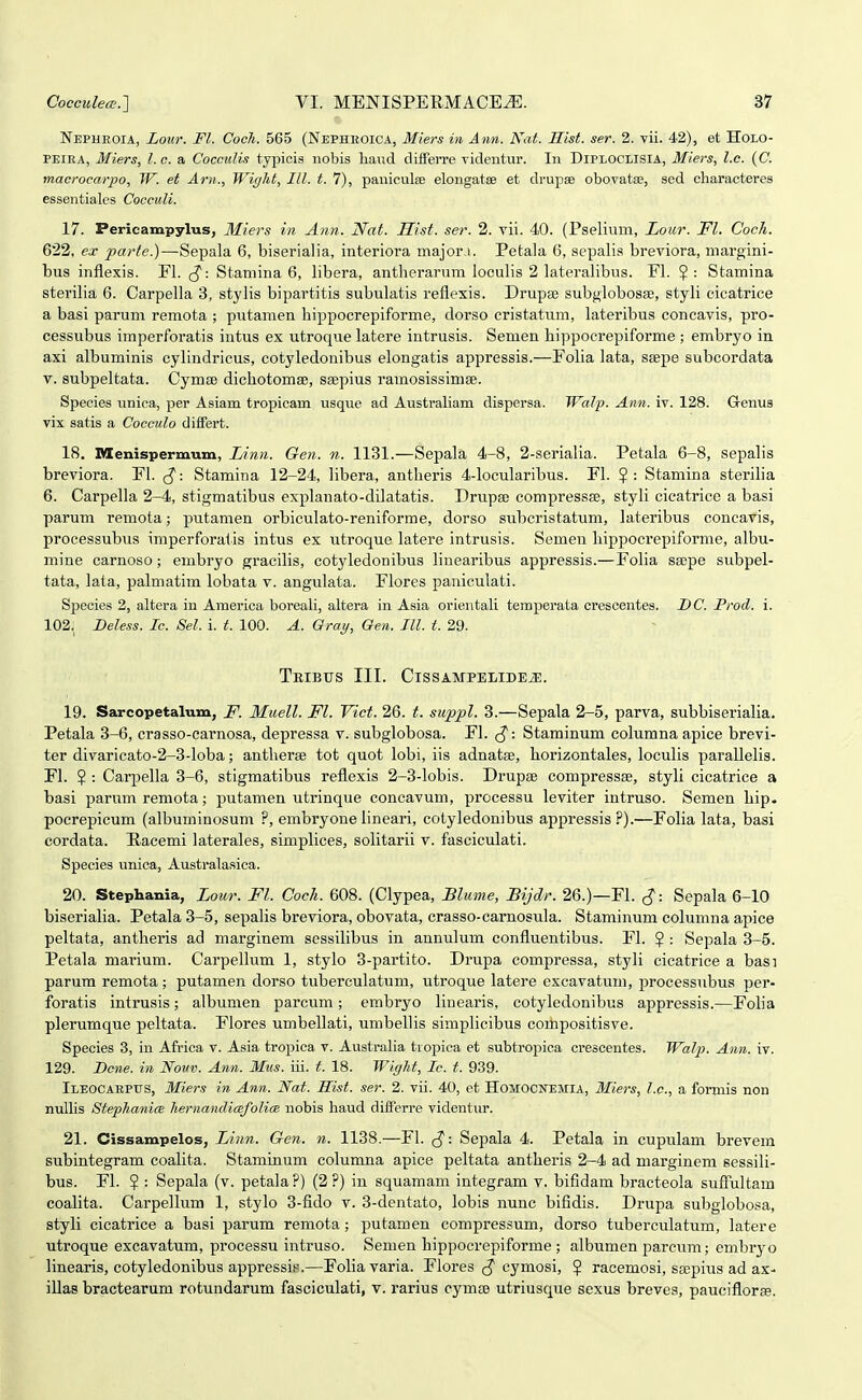 Nepheoia, Lour. Fl. CoeJi. 565 (Nephkoica, Miers in Ann. Nat. Hist. ser. 2. Tii. 42), et Holo- PEIEA, Miers, l.c. a CoccuKs typiois nobis liaud clifFerre Tideutur. In Diploclisia, Miers, l.c. (C. macrocarpo, W. et Arn., Wight, III. t. 7), paniculfe elongatse et drupse obovatffi, sed eharacteres essentiales Cocculi. 17. Pericampylus, Miers in Ann. Nat. Hist. ser. 2. vii. 40. (Pseliiim, Lour. Fl. Coch. 622, ex parte.)—Sepala 6, biserialia, interiora major i. Petala 6, sepalis breviora, margini- bus inflexis. Fl. -. Stamina 6, libera, antherarum looulis 2 lateralibus. Fl. $ : Stamina sterilia 6. Carpella 3, stylis bipartitis subulatis reflexis. Drupse subglobos£e, styli eicatrice a basi parum remota ; piitamen hippocrepiforme, dorso cristatum, lateribus concavis, pro- cessubus imperforatis intus ex utroque latere intrusis. Semen hippocrepiforme ; embryo in axi albuminis cylindricus, cotyledouibus elongatis appressis.—Folia lata, ssepe subcordata T. subpeltata. Cymaj dichotomse, saepius ramosissimse. Species unica, per Asiam tropicam usque ad Australiam dispersa. Walp. Ann. iv. 128. Genus vix satis a Cocculo difFert. 18. lyienispermum, Linn. Gen. n. 1131.—Sepala 4-8, 2-serialia. Petala 6-8, sepalis breviora. Fl. Stamina 12-24, libera, antheris 4-locularibus. Fl. Stamina sterilia 6. Carpella 2-4, stigmatibus explanato-dilatatis. Drupse compressse, styli cicatrice a basi parum remota; putamen orbiculato-reniforme, dorso subcristatum, lateribus concavis, processubus imperforalis intus ex utroque latere intrusis. Semen hippocrepiforme, albu- mine carnoso; embryo gracilis, cotyledonibus liuearibus appressis.—Folia ssepe subpel- tata, lata, palmatim lohata v. angulata. Flores paniculati. SjJecies 2, altera iu America boreali, altera in Asia orientali temperata crescentes. DC. Prod. i. 102. Beless. Ic. Sel. i. t. 100. A. Oray, Oen. III. t. 29. TeIBUS III. ClSSAMPELIDE^. 19. Sarcopetalum, F. Muell. Fl. Vict. 26. t. suppl. 3.—Sepala 2-5, parva, subbiserialia. Petala 3-6, crasso-carnosa, depressa v. subglobosa. Fl. (^: Staminum columna apice brevi- ter divaricato-2-3-loba; antlieree tot quot lobi, iis adnatse, borizontales, loculis paraUelis. Fl. $ : Carpella 3-6, stlgmatibus reflexis 2-3-lobis. Drupse compressse, styli cicatrice a basi parum remota; putamen utrinque concavum, processu leviter iutruso. Semen hip- pocrepicum (albuminosum ?, embryone lineari, cotyledonibus appressis ?).—Folia lata, basi cordata. Bacemi laterales, simplices, solitarii v. fasciculati. Species unica, Australasica. 20. Stephania, Lour. Fl. Coch. 608. (Clypea, Blume, Bijdr. 26.)—Fl. Sepala 6-10 biserialia. Petala 3-5, sepalis breviora, obovata, crasso-carnosula. Staminum columna apice peltata, antheris ad marginem sessilibus in annulum confluentibus. Fl. $ : Sepala 3-5. Petala marium. Carpellum 1, stylo 3-partito. Drupa compressa, styli cicatrice a basi parum remota ; putamen dorso tuberculatum, utroque latere cxcavatum, processubus per- foratis intrusis; albumen parcum; embryo linearis, cotyledonibus appressis.—Folia plerumque peltata. Flores umbellati, umbellis simplicibus compositisve. Species 3, in Africa v. Asia tropica v. Australia tiopica et subtropica crescentes. Walp. Ann. iv. 129. Dcne. in Nom. Ann. Miis. iii. t. 18. Wight, Ic. t. 939. iLEOCAEPirs, Miers in Ann. Nat. Hist. ser. 2. vii. 40, et Homocnemia, Miers, l.c, a forniis non nullis Stephanits hernandicsfolicB nobis haud differre videntur. 21. Cissampelos, Linn. Gen. n. 1138.—Fl. (^: Sepala 4. Petala in cupulam brevem subintegram coalita. Staminum columna apice peltata antheris 2-4 ad marginem eessili- bus. Fl. ? : Sepala (v. petala ?) (2 ?) in squamam integram v. bifidam bracteola suflultam coalita. Carpellum 1, stylo 3-fido v. 3-dentato, lobis nunc bifidis. Drupa subglobosa, styli cicatrice a basi parum remota; putamen compressum, dorso tuberculatum, latere utroque excavatum, pi-ocessu intruso. Semen hippocrepiforme ; albumen parcum; embryo linearis, cotyledonibus appressis.—Foliavaria. Flores cymosi, $ racemosi, ssepius ad ax- illas bractearum rotundarum fascioulati, v. rarius cym£B utriusque sexus breves, paucifloree.