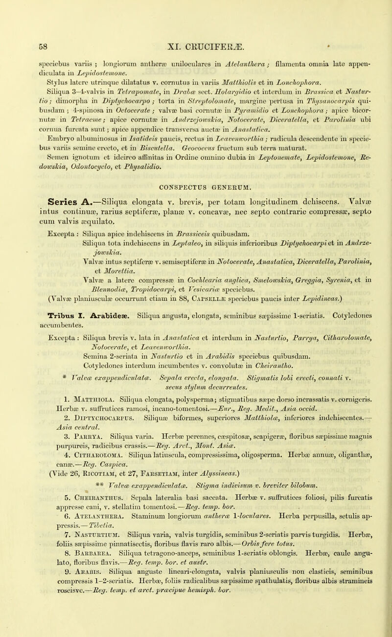 spccicbus variis ; longiorum antiiorix; uniloculares in Atelantliera; Clamcnta omnia latc appen- diculata in Lepido.steinone. St^-lus latcrc utrinquc dilatatus v. cornutus in variis MattluoUs et in Lonchopliora. Siliqua 3-4-valvis in Tetrapomaie, in Dralice scct. Uolartjidio ct iutcrdum in Brassica et Nastur- tio; dimorplia in Diptiichocarpo ; torta in Slreptolomate, marginc pertusa in Thijsanocarpis qui- busdam ; 4-s])inosa in Octocerate; valvaJ basi comuta; in Pyramidio et Lonchophora; a|)ice bicor- nutsB in Tetracine; apicc cornutoe in Andrzejowslcia, Notocerate, Diceratella, ct ParoUuia ubi co)'nua furcata sunt; apice appcndice transversa avicta; in Anastaiica, Embryo albuminosus in Isaiideis paucis, rectus in Leavemvorihia; radicula descendente iu spccie- bus variis scmine erecto, ct in Bisciitetla. Oeococcits fructum sub terra inaturat. Semen ignotum ct idcirco affinitas in Ordine omniuo dubia in Leptonemaie, Lepidosiemone, Re- dowslcia, Odontocyclo, et Physalidio. CONSPECTUS GENEEUM. Series A.—Siliqua elongata v. brevis, per totam longitudinem dchiscens. Valvse intus coutinua;, rarius septifera;, plaua; v. concavae, nec septo conlrarie compressse, septo cum valvis a;quilato. Excej)ta : Siliqua apice indebisccns in Brassiceis quibusdam. Siliqua tota indchiscens in Leplaleo, in siUquis inferioribus Diptychocarpi et in Andrze- jowsTcia. Yalvffi intus septifera; v. semiseptifcra; in Notocerate, Anastatica, Diceratella, Parolinia, et Moreiiia. ValviE a latere compressa; in Cochlearia anglica, Smelowshia, Greggia, Syrenia, et iu Blennodia, Tropidocarpi, et Vesicarice specicbus. (Valv£e planiuscula; occurrunt etiam in 88, Capsell* sjieciebus paucis intcr Lepidineas.) Tribus I. Arabidese. Siliqua angusta, elongata, seminibus saepissime 1-seriatis. Cotyledones aceiunbentes. Excepta : Siliqua brevis v. lata in Anasiaiica ct interdimi in Nasturtio, Parrya, Citharolomate, Notocerate, et Leavenworthia. Scmina 2-seriata m Nasturlio et in Arahidis speciebus quibusdam. Cotyledones interdum ineumbentes v. convoluta; in Cheirantho. * ValvcE exappendioulatce. Sepala erecta, elongata. Stigmaiis lolii erecii, connati v. secus stylum dccurrentes. 1. Mattitiola. Sihqua elongata, polysperma; stigmatibus ssepe dorso incrassatis v. cornigcris. Hei'ba3 v. suffruticcs ramosi, incano-tomcntosi.—JEur., Beg. Medit., Asia oceid. 2. DlPTTCHOCAEPUS. SOiqua; biformes, superiorcs MatthiolcB, infcriores indehisccntes.— Asia eeniral. 3. Paeeya. Siliqua varia. Herba; perennes, ca;spitos2e, scapigera;, floribus sa-pissime niagnis purpureis, radicibus crassis.—Peg. Arct., Mont. Asics. 4. CiTnAEOLOMA. SUiqua latiuscula, compressissuna, oUgosperma. Herba; aunua;, oligantliaB, cana;.^—Reg. Caspica. (Vide 20, Ricotiam, et 27, Faesetiam, inter Alyssineas.) ** ValvcB exappendiculatcB. Stigma indimsum v. breviter bilobnm. 5. CHEiEANTnus. Scpala lateralia basi saccata. Herbae v. suffrutices foliosi, pihs fm-catis appresse cani, v. stellatim tomentosi.—lieg. temp. bor. 6. Atelantheea. Stammum longiorxmi anihercB \-locuIares. Hcrba perpusilla, setulis ap- pressis.— Tihelia. 7. Nastuetium. Shiqua varia, valvis turgidis, seminibus 2-seriati8 parvis turgidis. Herbse, fohis soepissime pinnatisectis, floribus flavis raro albis.—Orhisfere totus. 8. Baebaeea. Siliqua tetragono-anceps, seminibus 1-seriatis oblongis. Herbaj, caule angu- lato, floribiTS flavis.—Peg. iemp. bor. et ausir. 9. Aeabis. Siliqua anguste hneari-elongata, valvis planiusculis non clasticis, seminibus compressis 1-2-seriatis. Herbae, folhs radicalibus saepissime spathulatis, floribus albis stramineis roseisvc.—Jleg. temp. et arct. prcecipue hemisph. bor.