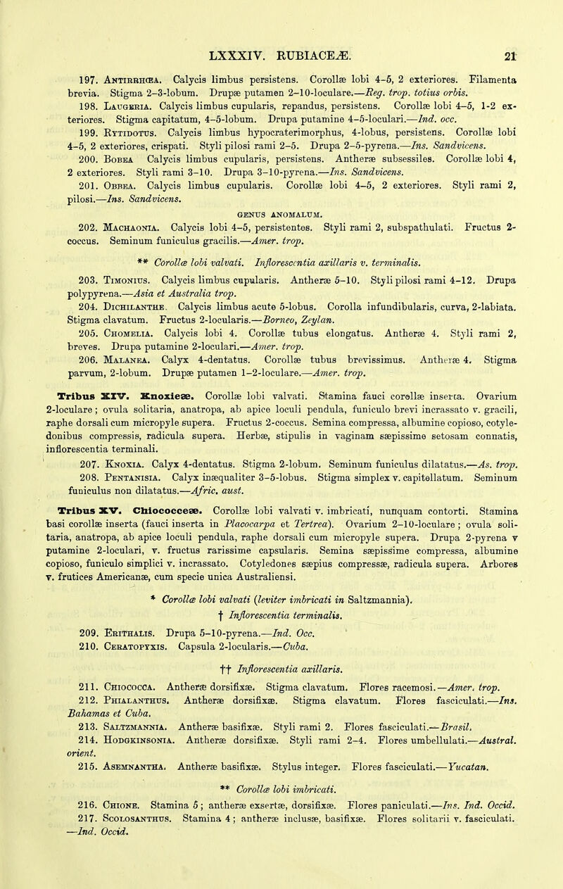 197. Antibbh(EA. Galycis limbus persistens. Corollee lobi 4-5, 2 exteriores. Klamenta brevia. Stigma 2-3-lobum. Drupae putamen 2-10-loculare.—Eeg. trop. totius orbis. 198. Laugbeia. Calycis limbus cupularis, repandus, persistens. Corollse lobi 4-5, 1-2 ex- teriores. Stigma capitatum, 4-5-lobum. Drupa putamine 4-5-loculari.—Ind. oce. 199. Eytidotxts. Calycis limbus hypocraterimorphus, 4-lobus, persistens. Corollae lobi 4-5, 2 exteriores, crispati. Styli pilosi rami 2-6. Drupa 2-5-pyrena.—Ins. Sandvicens. 200. BoBEA Calycis limbus cupularis, persistens. Antherse subsessiles. Corollee lobi 4, 2 exteriores. Styli rami 3-10. Drupa 3-10-pyrena.—Ins. Sandvicens. 201. Obbba. Calycis limbus cupularis. Corollae lobi 4-5, 2 exteriores. Styli rami 2, pilosi.—Ins. Sandvicens. GENTJS ANOMALUM. 202. Machaonia. Calycis lobi 4-5, persistentes. Styli rami 2, subspathulati. Fructus 2- coccus. Seminum funiculus graoilis.—Amer. irop. ** Corollcs lobi valvati. Infloresccntia cucillaris v. terminalis. 203. TiMONiTJS. Calycis limbus cupularis. Antherae 5-10. Stylipilosi rami 4-12. Drupa polypyrena.—Asia et Australia trop. 204. DiCHiLANTHE. Calycis limbus acute 5-Iobus. Corolla infundibularis, curva, 2-Iabiata. Stigma clavatum. Fructus 2-locuIaris.—Borneo, Zeylan. 205. Chomelia. Calycis lobi 4. CoroIIse tubus elongatus. Antherae 4. Styli rami 2, broves. Drupa putamine 2-locuIari.—Amer. trop. 206. Malanea. Calyx 4-dentatus. Corollae tubus brevissimus. Antht-rae 4. Stigma parvum, 2-Iobum. Drupae putamen 1-2-IoeuIare.—Amer. trop. Tribus 3CXV. Knoxlese. CoroIIee lobi valvati. Stamina fauci corellse inserca. Ovarium 2-IocuIare; ovula solitaria, anatropa, ab apice loculi pendula, funiculo brevi incrassato v. gracili, raphe dorsali cum micropyle supera. Friictus 2-coccus. Semina compressa, albumine copioso, cotyle- donibus compressis, radicula supera. Herbee, stipulis in vaginam saepissime setosam connatis, inflorescentia terminali. 207. Knoxia. Calyx 4-dentatug. Stigma 2-Iobum, Seminum funiculus dilatatus,—As. trop. 208. Pentanisia. Calyx insequaliter 3-5-Iobus. Stigma simplex v. capitellatum. Seminum funieulus non dilatatus.—Afric, aust. Trlbus XV. Cbiococceae. CoroIIse lobi valvati v. imbricati, nunquam contorti. Stamina basi corollae inserta (fauci inserta in Placocarpa et Tertrea). Ovarium 2-10-IocuIare ; ovula soli- taria, anatropa, ab apice loculi pendula, raphe dorsali cum micropyle supera. Drupa 2-pyrena v putamine 2-locuIari, v. fructus rarissime capsularis. Semina ssepissime compressa, albumine copioso, funiculo simplici v. incrassato. Cotyledones saepius compressae, radicula supera. Arbore» V. frutices Americanae, cum specie unica Australiensi. * Corollw lohi valvati {leviter imbricati in Saltzmannia). f Inflorescentia terminalis. 209. EbiThaliS. Drupa 5-10-pyreiia.—Ind. Occ. 210. Cebatopyxis. Capsula 2-Iocularis.—Cuha. tt Infloreseentia axillaris. 211. Chiococca. Antherae dorsiflx8e< Stigma clavatum. Flores racemosi.—Amer.irop. 212. Phialanthus. Antherae dorsifixae. Stigma clavatum. Flores fasciculati.—Ins. Bahamas et Cuha. 213. Saltzmannia. Antherae basifixse. Styli rami 2. Flores faseiculati.-^Srffsi;, 214. HoDGKiNSONiA. Autherae dorsifixae. Styli rami 2-4. Flores umbellulati.—Austral. orient. 215. Asemnantha. Antheree basifixae. Stylus integer. Flores fasciculati.—Yucatan. ** CoroUcB lohi imbricaii. 216. Chione. Stamina 5; antherae exsertas, dorsifixae. Flores paniculati.—Ins. Ind. Occid. 217. Scolosanthus. Stamina 4; antherae inclusae, basifixse. Flores solitarii v. fasciculati. —Ind. Occid.