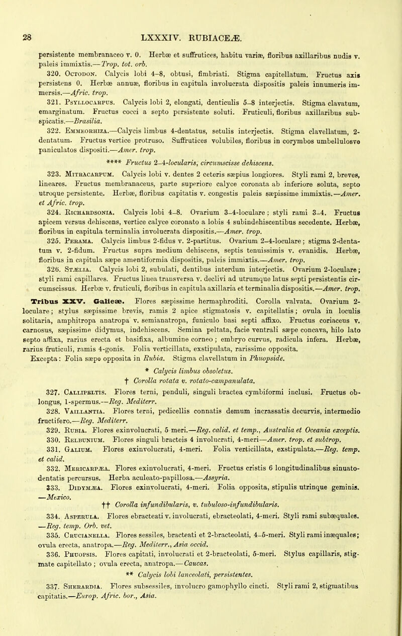 persistente membranaceo v. 0. Herbae et sufirutices, habitu variae, floribus axillaribus nudis v. paleis immixtis.— Trop. tot. orb. 320. OcTODON. Calycis lobi 4-8, obtusi, firabriati. Stigma capitellatum. Fructus axis persistens 0. Herbae annuse, floribus in capitula involucrata dispositis paleis innumeris im- mersis.—Afric. trop. 321. PsYLLOCARPUs. Calycis lobi 2, elougati, denticulis 5-8 interjestis. Stigma clavatum, emarginatum. Fructus coeci a septo pcrsistente soluti. Fruticuli, floribus axillaribus sub- epicatis.—Brasilia. 322. Emmeorhiza.—Calycis limbus 4-dentatus, setulis interjectis. Stigma elavellatum, 2- dentatum. Fructus vertice protruso. SuSrutices volubiles, floribus in corymbos umbellulosve paniculatos dispositi.—Aimr. trop. **** Fructus 2-i-locularis, circumscisse dehiscens. 323. MitrAcahpum. Calycis lobi v. dentes 2 ceteris saepius longiores. Styli rami 2, breves, lineares. Fructus membranaceus, parte superiore calyce coronata ab inferiore soluta, septo utroque persistente. Herbae, floribus capitatis v. congestis paleis saepissime immixtis.—Amer. et Afric. trop. 324. EiCHAKDSONiA. Calycis lobi 4-8. Ovarium 3-4-Ioculare ; styli rami 3-4. Fructus apicem versus dehiscens, vertice calyce coronato a lobis 4 subindehiscentibus secedente. Herbse, floribus in capitula terminalia involucrata dispositis.—Amer. trop. 325. Pekama. Calyeis limbus 2-fidus v. 2-partitus. Ovarium 2-4-Ioculare ; stigma 2-denta- tum V. 2-fidum. Fructus supra medium dehiscens, septis tenuissimis v. evanidis. Herbee, floribus in «ipitula saepe amentiformia dispositis, paleis immixtis.—Amer. trop. 32f). St^lia. Calycis lobi 2, subulati, dentibus interdum interjectis. Ovarium 2-IoeuIare; Btyli rami capillares. Fructus linea trausversa v. declivi ad utrumque latus septi persistentis cir- cumscissus. Herbae v. fruticuli, floribus in capitula axillaria et terminalia dispositis.—Amer. trop. Tribus 3CXV. Calleae. Flores saepissime hermaphroditi. Corolla valvata. Ovarium 2- loculare; stylus saepissime brevis, ramis 2 apice stigmatnsis v. capitellatis; ovula in loculis Bolitaria, amphitropa anatropa v. semianatropa, funiculo basi septi aflBxo. Fructus coriaceus v, carnosus, saepissime didymus, indehiscens. Semina peltata, facie ventrali ssepe concava, hilo lato eepto affixa, rarius erecta et basifixa, albumine corneo ; embryo curvus, radicula infera. Herbse, rarius fruticuli, ramis 4-gonis. Folia verticillata, exstipulata, rarissime opposita. Excopta : Folia ssepe opposita in Rubia. Stigma clavellatum in Phuopside. * Calycis limbus obsoletus. f Corolla rotata v. rotato-cavipanulata. 327. Callipbltis. Flores terni, penduli, singuli bractea cymbiformi inclusi. Fructus ob- longus, 1-spermus.—Reg. Mediterr. 328. Vaillantia. Flores terni, pedicellis connatis demum incrassatis decurvis, intermedio fructifero.—Reg. Mediterr. 329. EuBiA. Flores exinvolucrati, 5 meri.—Reg. calid. et temp., Australia et Oceania exceptis. 330. Relbunium. Flores singuli bracteis 4 involucrati, 4-meri—Amer. trop. et suhtrop. 331. Galium. Flores exinvolucrati, 4-meri. Folia verticillata, exstipulata.—Reg. temp, et calid. 332. MBRicARP.a:A. Flores exinvolucrati, 4-meri. Fructus cristis 6 longitudinalibus sinuato- dentatis percursus. Herba aculeato-papillosa.—Assyria. 333. DiDYMJEA. Flores exinvolucrati, 4-meri. Folia opposita, stipulis utrinque geminis. —Mexico. tt Corolla infundibularis, v. tubuloso-infundibularis. 334. AsPERULA. Flores ebracteati v. involucrati, ebracteolati, 4-meri. Styli rami subsequales, —Eeg. temp. Orb. vet. 335. Crucianella. Flores sessiles, bracteati et 2-bracteoIati, 4-5-meri. Styli rami insequales; ovula erecta, anatropa.—Reg. Mediterr., Asia occid. 336. Phuopsis. Flores capitati, involucrati et 2-bracteoIati, 5-meri. Stylus capillaris, stig- mate capitellato ; ovula erecta, anatropa.—Caucas. ** Calycis lohi lanccolati, persistenies. 337. Sherardia. Flores subsessiles, involucro gamophyllo cincti. Styli rami 2, stigmatibus capitatis.—Eitrop. Afric. hor., Asia.