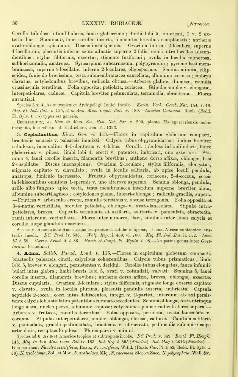 Corolla tubuloso-infimdibularis, fauce glaberrima ; limbi lobi 5, imbricati, 1 v. 2 ex- terioribus. Stamina 5, fauci corolLt; inserta, filamentis brevibus complanatis ; antlierie ovato-oblongiB, ai^iculatie. Discus inconspicuus. Ovarium infome 2-loculiire, supeme 4-locelIatum, placentis inferne septo adnatis supeme 2-fidis, raniis intra locellos adscen- dentibus; stylus filiformis, exsertus, stigmate fusiformi ; ovula in loculis numerosa, subhorizontalia, anatropa. Syncarpium subcamosum, polypyrenum ; pyren.-e basi mem- branacece, superne 4-loceUatiB, inferne 2-loculares, oligospermje. Semina minuta, ellip- soidea, funiculo brevissimo, testa submembranacea cancellata, albumine carnoso ; embryo clavatus, cotyledonibus brevibus, radicula obtusa.—Arbores glabrre, dumosiE, ramulia crassiusculis teretibus. Folia opposita, petiolata, coriacea. Stipulie amplse v. elongatiB, interpetiolares, caduciB. Capitula breviter peduncvdata, terminalia, ebracteata. Flores aurantiaci. Species 3 v. 4, Asise tropicse et Arcliipelngi Indici incolae. Korth. Vcrh. Gesch. Nat. 154, t. 48. Miq. Fl. Ind. Bat. W. 136, ei in Ann. Mus. Lugd. Bat. iv. J80.—Nauclea Cadamha, Eoxb. (Bcdd. Fl. Sylv. t. 3/)) typus est generis. Cephaliuium, A. Bich in Mim. Soc. Hist. Nat. Par. v. 290, planta Madag.iscariensis nobis incognita, huc refcrtur iib Endlichero, Gen. PI. 1393. . 3. Cepbalantbus, Linn. Gen. n. 113.—Flores in capitulum globosum compacti, bracteolis setaceis v. pideaceis immixti. Calycis tubus obpyramidatus ; limbus breviter tubulosus, iniequaliter 4-5-dentixtus v. 4-lobus. Corolla tubuloso-infimdibularis, fauce glaberrima v. pilosa ; limbi lobi 4, erecti v. patentes, imbricati, uno exteriore. Sta- mina 4, fauci coroUcB inserta, filamentis brevibus ; antherie dorso affixse, oblongiB, basi 2- cuspidat3e. Discus inconspicuus. Ovarium 2-locuLare; stylus filiformis, elongatus, stigmate capitato v. clavellato; ovula in loculis solitaria, ab apice loculi pendula, anatropa, funiculo incrassato. Fructus obpyramidatus, coriaceus, 2-4-coccus, coccis indeliiscentibus omnibus 1-spermis v. uno alterove aspermo. Semina oblonga, pendula, arillo albo fungoso apice tecta, testa niembranacea interdum superne breviter alata, albumine subcartilagineo ; cotyledones planiE, lineari-oblongaj ; radicula gracilis, supera. —Frutices v. arbusculas erectis, ramulis teretibus v. obtuse tetragonis. Folia opposita et 3- 4-natim verticillata, breviter petiolata, oblongo- v. ovato-lanceolata. Stipiilaj intra- petiolares, breves. Capitula terminalia et axillaria, solitaria v. paniculata, ebracteata, ramis interdiim verticillatis. Flores inter minores, fliivi, sinubus inter lobos calycis et corolltB siBpe glandula instructis. Species 6, Asi.» calidae Americieque temperatne et calidie indigense, et una Africae subtropieae aus- tralis incola. BC. Prod. iv. 538. Wa/p. Rep. ii. 469, vi. 700. Miq. Fl. Ivd. Bat. ii. 152. Lam. Rl. t. 59. Gmrtn. Fruct. ii. t. 86. Hamh. et Bonpl. Pl. JEquin. t. 98.—An potius genus inter Guet- tardeas locandum ? 4. Adina, Salisb. Parad. Lond. t. 115.—Flores in capitulum globosum compacti, bracteolis paleaceis cincti, calycibus cohserentibus. Calycis tubus prismaticus ; limbi lobi 5, breves v. elongati, persistentes v. decidui. Corollfe tubus elongatus, fauce infundi- bulari intus glabra ; limbi brevis lobi 5, ovati v. rotiindati, valvati. Stamina 5, fauci coroIIiB inserta, filamentis bi-evibus ; antheriB dorso affixfe, breves, oblongiE, exsertae. Discus cupularis. Ovarium 2-IocuIare ; stylus filiformis, stigmate longe exserto capitato v. clavato ; ovula in loculis plurima, placentis pendulis inserta, imbricata. Capsula septicide 2-cocca ; cocci intus dehiscentes, integri v. 2-partiti, interdum ab axi persis- tente calycis lobis stellatim patentibus coronato secedentes. Semina oblonga, testa utrinque longe alata, nucleo parvo, albumine copioso; cotyledones planse; radicula teres supera.— Arbores v. frutices, ramulis teretibus. Folia opposita, petiolata, ovata lanceolata v. cordata. Stipulte interpetiolares, amplis, oblongiB, obtusse, caducas. Capitula solitaria V. paniculata, gracile pedunculata, bracteata v. ebracteata, pedunculis sub apice ssepe articulatis, receptaculo piloso. Flores parvi v. minuti. Species ad 6, Asise et Americ<« tropicfe et subtropicse incolae. DC. Prod. iv. 349. Benth. Fl. Hongk. 146. Miq. inAnn.Mus.Liigd.Bat.\-v. 183. Bot.Reg. t. 895 (Nauclea). Bot. Mag. t. 2613 (Nauclea).— Huc pertinent Nauclea sessilifolia, Eoxb., N. cordifoha, Willd. (Eoxb. Cor. Pl. t. 63, Bedd. Fl. Sylv. t. 33), N. trichotoma, ZoU. et Mor., N.aralioides, Miq., A'. racemosa, Sieb.etZu.cc.,N.polgcephala, Wall.&c