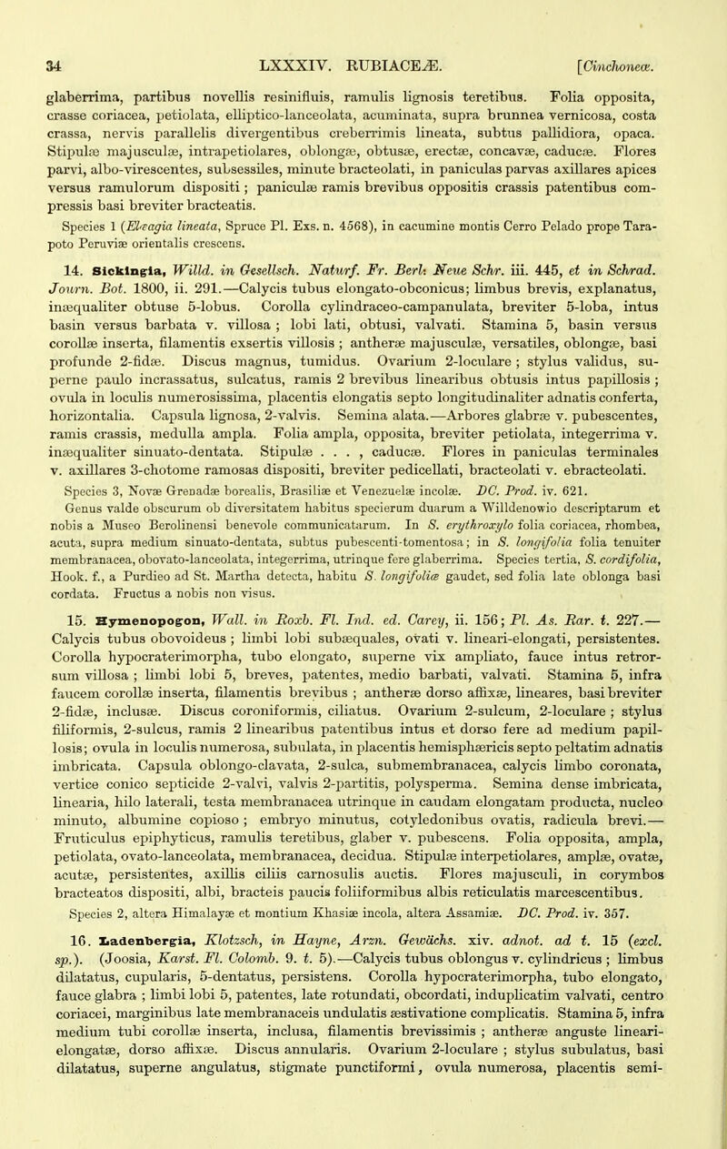 glabemma, partibus noveUis resinifluis, ramulis lignosis teretibus. Folia opposita, crasse coriacea, petiolata, elliptico-lanceolata, acuminata, supra brunnea vernicosa, costa crassa, nervis parallelis divergentibus creberrimis lineata, subtus pallidiora, opaca. Stipula) majusculiB, intrapetiolares, oblonga^, obtusje, erectae, concavse, caducie. Flores parvi, albo-virescentes, subsessiles, minute bracteolati, in paniculas parvas axillares apices versus ramulorum dispositi; paniculse ramis brevibus oppositis crassis patentibus com- pressis basi breviter bracteatis. Species 1 {El^^agia lineata, Spruce Pl. Exs. n. 4568), in cacumino montis Cerro Pelado propo Tara- poto Peruvise orientalis crescens. 14. Sicklngria, Willd. in Gesellsch. Naturf. Fr. BerU Meue Schr. iii. 445, et in Sch/rad. Jonrii. Bot. 1800, ii. 291.—Calycis tubus elongato-obconicus; limbus brevis, explanatus, inajqualiter obtuse 5-lobus. Corolla cylindraceo-campanulata, breviter 5-Ioba, intus basin versus barbata v. villosa ; lobi lati, obtusi, valvati. Stamina 5, basin versus corollse inserta, lilamentis exsertis villosis ; antherse majusculse, versatUes, oblongae, basi profunde 2-fidEe. Discus magnus, tumidus. Ovarium 2-loculare ; stylus validus, su- perne paulo incrassatus, sulcatus, rarais 2 brevibus linearibus obtusis intus papillosis ; ovula in loculis numerosissima, placentis elongatis septo longitudinaliter adnatis conferta, horizontalia. Capsula ligncsa, 2-vaIvis. Semina alata.—Arbores glabrse v. pubescentes, ramis crassis, medulla ampla. Folia ampla, opposita, breviter petiolata, integerrima v. insequaliter sinuato-dentata. Stipulse . . . , caducre. Flores in paniculas terminales V. axillares 3-chotome ramosas dispositi, breviter pedicellati, bracteolati v. ebracteolati. Species 3, Novae Grenadse borealis, Brasiliae et Venezuelse incolse. BC. Prod. iv. 621. Genus valde obscurum ob diversitatem habitus specierum duarum a Willdenowio descriptarum et nobis a Museo Berolinensi benevole communicatarum. In S. erythroxylo folia coriacea, rhombea, acuta, supra medium sinuato-dontata, subtus pubescenti-tomentosa; in 8. longifolia folia tenuiter membranacea, obovato-lanceolata, integerrima, utrinque fere glaberrima. Species tertia, 8. cordifolia, Hook. f., a Purdieo ad St. Martha detocta, habitu 8. longifoliw gaudet, sed folia late oblonga basi cordata. Fructus a nobis non visus. 15. Hymenopogron, Wall. in Roxh. Fl. Ind. ed. Carey, ii. 156; Pl. As. Rar. i. 227.— Calycis tubus obovoideus ; limbi lobi subsequales, ovati v. lineari-elongati, persistentes. CoroUa hypocraterimorpha, tubo elongato, superne vix amjDliato, fauce intus retror- sum viUosa ; limbi lobi 5, breves, patentes, medio barbati, valvati. Stamina 5, infra faucem corollae inserta, filamentis breyibus ; antherae dorso affixse, lineares, basi breviter 2-fidse, inclusae. Discus coroniformis, ciliatus. Ovarium 2-suIcum, 2-Ioculare ; stylus filiformis, 2-suIcus, ramis 2 linearibus patentibus intus et dorso fere ad medium papil- losis; ovula in looulis numerosa, subulata, in placentis hemisphsericis septo peltatim adnatis imbricata. Capsula oblongo-clavata, 2-sulca, submembranacea, calycis limbo coronata, vertice conico septicide 2-vaIvi, valvis 2-partitis, polysperma. Semina dense imbricata, Unearia, hilo laterali, testa membranacea utrinque in caudam elongatam producta, nucleo minuto, albumine copioso ; embryo minutus, cotyledonibus ovatis, radicula brevi.— Fruticulus epiphyticus, ramulis teretibus, glaber v. pubescens. Folia opposita, ampla, petiolata, ovato-Ianceolata, membranacea, decidua. Stipulse interpetiolares, amplse, ovataj, acutse, persistentes, axUUs ciliis carnosulis auctis. Flores majusculi, in corymbos bracteatos dispositi, albi, bracteis paucis foliiformibus albis reticulatis marcescentibus. Species 2, altera Himalayse et montium Khasise incola, altera Assamiae. DC. Prod. iv. 357. 16. Iiadenbergia, Klotzsch, in Hayne, Arzn. Gewdchs. xiv. adnot. ad t. 15 {excl, sp.). (Joosia, Karst. Fl. Colomb. 9. t. 5).—Calycis tubus oblongus v. cylindricus ; Umbus dUatatus, cupularis, 5-dentatus, persistens. CoroIIa hypocraterimorpha, tubo elongato, fauce glabra ; limbi lobi 5, patentes, late rotundati, obcordati, induplicatim valvati, centro coriacei, marginibus late membranaceis undulatis aestivatione complicatis. Stamina 5, infra medium tubi coroUse inserta, inclusa, filamentis brevissimis ; antherse anguste lineari- elongatse, dorso aflixse. Discus annularis. Ovarium 2-IocuIare ; stylus subulatus, basi dUatatus, superne angiUatus, stigmate punctiformi, ovula numerosa, placentis semi-