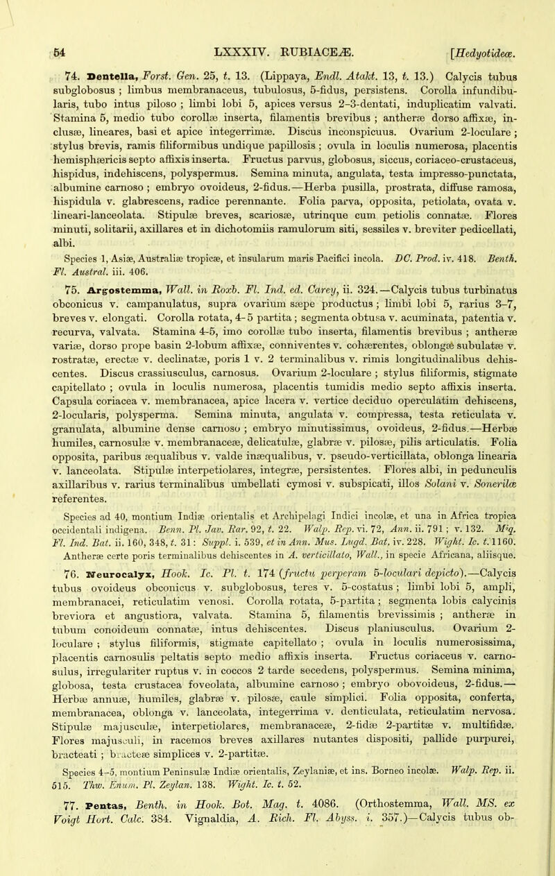 74. Sentella, Forst. Gen. 25, t. 13. (Lippaya, Endl. Atakt. 13, *. 13.) Calycis tubus subglobosus ; limbus membranaceus, tubulosus, 5-fidus, persistens. Corolla infundibu- laris, tubo intus piloso ; limbi lobi 5, apices versus 2-3-dentati, induplicatim valvati. Stamina 5, medio tubo corollaj inserta, filamentis brevibus ; antherte dorso affixse, in- clusfe, lineares, basi et apice integerrimfe. Discus inconspicuus. Ovariura 2-loculare ; stylus brevis, ramis filiformibus undique papillosis ; ovula in loculis numerosa, placentis hemisphisricis scpto aflixis inserta. Fructus parvus, globosus, siccus, coriaceo-crustaceus, hispidus, indehiscens, polyspermus. Semina minuta, angulata, testa impresso-punctata, albumine carnoso ; embryo ovoideus, 2-fidus.—Herba pusilla, prostrata, diSnse ramosa, hispidula v. glabrescens, radice perennante. Folia parva, opposita, petiolata, ovata v. lineari-lanceolata. Stipulse breves, scariosse, utrinque cum petiohs connatse. Flores minuti, solitarii, axillares et in dichotomiis ramulorum siti, sessiles v. breviter pedicellati, albi. Species 1, Asiae, Australiae tropicse, et insularum maris Pacifici incola. DC. Prod. iv. 418. Benth. Fl. Austral. iii. 406. 75. Argostemina, Wall. in Roxh. Fl. Ind. ed. Carey, ii. 324.—Calycis tubus turbinatus obconicus v. campanulatus, supra ovarium ssepe productus ; limbi lobi 5, rarius 3-7, brevesv. elongati. Corolla rotata, 4-5 partita ; segmenta obtusa v. acuminata, patentiav. recurva, valvata. Stamina 4-5, imo corollaj tubo inserta, filamentis brevibus ; antherse varise, dorso prope basin 2-lobum aflixse, conniventes v. cohcerentes, oblongte subulatfe v. rostratse, erectaj v. declinatse, poris 1 v. 2 terminalibus v. rimis longitudinalibus dehis- centes. Discus crassiusculus, carnosus. Ovarium 2-Ioculare ; stylus filiformis, stigmate capitellato ; ovula in loculis numerosa, placentis tumidis medio septo afiixis inserta. Capsula coriacea v. membranacea, apice lacera v. vertice deciduo opercidatim dehiscens, 2-IocuIaris, polysperma. Semina minuta, angulata v. compressa, testa reticulata v. granulata, albumine dense camoso ; embryo minutissimus, ovoideus, 2-fidus.—Herbse humiles, camosulse v. membranacete, delicatulse, glabrse v. pilosse, pilis articulatis. FoHa opposita, paribus sequalibus v. valde insequalibus, v. pseudo-verticillata, oblonga linearia V. lanceolata. Stipulse interpetiolares, integrse, persistentes. Flores albi, in pedunculis axillaribus v. rarius terminaUbus umbellati cymosi v. subspicati, illos Solani v. Sonerilce referentes. Species ad 40, montium Indise orientalis et Archipelagi Indici incolse, et una in Africa tropica occidentali indigena. Beyin. Pl. Jav. Bar. 92, t. 22. Walp. Rcjp. vi. 72, Ann. ii. 791; v. 132. M^q. Fl. Ind. Bat. ii. 160, 348, t. 31: Swppl. i. 639, etinAnn. Mus. Lvgd. Bat. iv. 228. Wight. Ic. i.1160. Antherse certe poris termiualibus dehiscentes in A. verticillato, Wall., in specie Africana, aliisque. 76. Zfeurocalyx, Hook. Ic. Pl. t. 174 (fructu per^Jcram Moculari depicto).—Calycis tubus ovoideus obconicus v. subglobosus, teres v. 5-costatus; limbi lobi 5, ampli, membranacei, reticulatim venosi. CoroIIa rotata, 5-partita; segmenta lobis calycinis breviora et angustiora, valvata. Stamina 5, filamentis brevissimis ; antherse in txibum conoideum connatse, intus dehiscentes. Discus planiusculus. Ovarium 2- luculare ; stylus filiformis, stigmate capitellato ; ovula in loculis numerosissima, placentis carnosulis peltatis septo medio affixis inserta. Fructus coriaceus v. carno- sulus, irregulariter ruptus v. in coccos 2 tarde secedens, polyspermus. Semina minima, globosa, testa cmstacea foveolata, albumine carnoso ; embryo obovoideus, 2-fidus.— Herbse annuse, humiles, glabrse v. pilosse, caule simplici. Folia opposita, conferta, membranacea, oblonga v. lanceolata, integerrima v. denticulata, reticulatim nervosa. Stipulse majusculse, interpetiolares, membranacese, 2-fidse 2-partitse v. multifidse. Flores majusouli, in racemos breves axillares nutantes dispositi, paUide purpurei, bracteati ; b.uotese simplices v. 2-partitBe. Species 4-5, montium Peninsulae Indise orientalis, Zeylanise, et ins. Borneo incolse. Walp. Eep. ii. 515. Thw. Enum. Pl. Zeylan. 138. Wight. Ic. t. 52. 77. Pentas, Benth. in Hook. Bot. Mag. t. 4086. (Orthostemma, Wall. MS. ex Voigt Hurt. Calc. 384. Vignaldia, A. Bich. Fl. Abys^. i. 357.)—Calycis tubus ob-