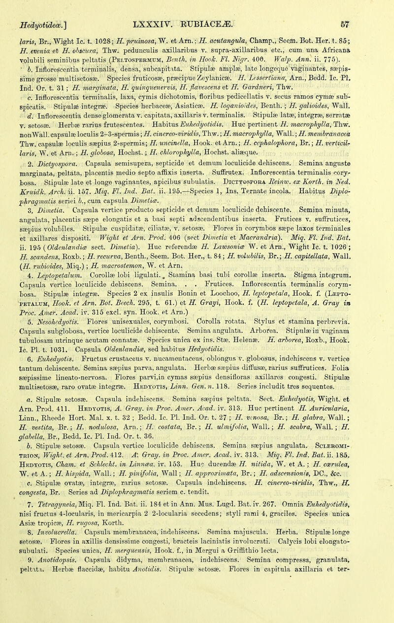 laris, Br., Wight Ic. t. 1028; H. pruinosa, W. et Arn.; H. acutangula, Cliamp., Seejn. Bot. Her. t. 85; H. evenia et H. ohscura, Thw. pedunculis axillaribus v. supra-axillaribus etc, cum una Africana yplubili seminibus peltatis (Peltospermtjm, Benth. in HooJc. Fl. Nigr. 400. Walp. Ann. ii. 775). ■ h. Infiorescentia terminalis, densa, subcapitita. Stipulae amplae, late longeque vaginantes, ssepis- simegrosse multisetosse. Species fruticosse, prsecipue Zeylanicse. H. Lessertiana, Arn., Bedd. Ic. PI. ind. Or. t. 31 ; H. marginata, H. quinqiienervis, H. flavescens et H. Gardneri, Thw. c. Inflorescentia terminalis, laxa, cymis dichotomis, floribus pedicellatis v. secus ramos cymse sub- spicatis. Stipulae integrse. Species herbaceae, Asiaticse. H. loganioides, Benth. ; H. galioides, Wall. d. Inflorescentia dense glomerata v. capitata, axillaris v. terminalis. Stipulse latae, integrae, serratae V. setosse. Herbae rarius frutescentes. Habitus Euhedyotidis. Huc pertinent H. macrophylla, Thw. nonWall. capsulae loculis 2-3-spermis; H. cinereo-viridis, Thw.;H. macrophylla, Wall.; H. membranacea Thw. capsulae loeulis saepius 2-spermis; H. uncinella, Hook. et Arn.; H. cephalophora, Br.; H. verticiU laris, W. et Arn. ; H. globosa, Hochst. ; H. chlorophylla, Hochst. aliseque. 2. Bictyospora. Capsula semisupera, septicide et demum loculicide dehiscens. Semina anguste marginata, peltata, placentis medio septo affixis inserta. SufFrutex. Inflorescentia terminalis oory- ]aosa. Stipulae late et longe vaginantes, apicibus subulatis. Dictyospoka Heinw. ex Korth. in Ned. Kruidk. Arch.ii. 167. Miq. Fl. Ind. Bat. ii. 196.—Species 1, Ins. Ternate incola. Habitus Biplo- phragmatis seriei b., cum capsula BimeticE. 3. Dimetia. Capsula vertice producto septicide et demum loculicide dehiscente. Semina minuta, angulata, placentis saepe elongatis et a basi septi adscendentibus inserta. Frutices v. suffrutices, SEepius volubiles. Stipulae cuspidatse, eiliatse, v. setosge. Plores in corymbos saspe laxos terminales et axillares dispositi. Wight et Arn. Frod: 406 (sect Bimetia et Macrandria). Miq. Fl. Ind. Bat. ii. 196 {Oldcnlandim sect. Dimetia). Huc referendse //. Latvsonia W. et Arn., Wight Ic. t. 1026 ; H. scandens, Eoxb.; H. recurva, Benth., Seem. Bot. Her., t. 84; H. volubilis, Br.; H. capitellata, Wall. (Zf. rubioides, Miq.); H. macrostemon, W. et Arn. 4. Leptopetalum. Corollse lobi ligulati., Stamina basi tubi corollae inserta. Stigma integrum. Capsula vertice loeulicide dehiscens. Semina. . . Frutices. Inflorescentia terminalis corym- bosa. Stipiilse integrae. Species 2 ex insulis Bonin et Loochoo, H. leptopetala, Hook. f. (Lepto- 'PETAXUM, Hook. et Arn. Bot. Beech. 295, t. 61.) et H. Grayi, Hook. f. {H. leptopetala, A. Gray in Proc. Amer. Acad. iv. 315 excl. syn. Hook. et Arn.) 5. Nesohcdyotis. Flores unisexuales, corymbosi. CoroIIa rotata. Stylus et stamina perbrevia. Capsula subglobosa, vertice loculicide dehiscente. Semina angulata. Arborea. Stipulse in vaginam tubulosam utrinque acutam connatae. Species unica ex ins. Stse. Helense. H. arborea, Eoxb., Hook. Ic. Pl. t. 1031. Capsula Oldenlandiee, sed habitus Hedyotidis. 6. Euhedyotis. Fructus crustaceus v. nucamentaceus, oblongus v. globoSus, indehiscens v. vertice tantum dehiscente. Semina saepius parva, angulata. Herbse ssepius diiFusse, rarius suifrutices. Polia ssepissime lineato-nervosa. Flores parvi,in cymas saepius densifloras axillares congesti. Stipulse multisetosae, raro ovatse integrse. Hedyotis, LzTira. Gen.n.\l9>. Series includit tres sequentes. a. Stipulse setosse. Capsula indehiscens. Semina ssepius peltata. Sect. Euhedyotis, Wight. et Arn. Prod. 411. Hbdtotis, A. Gray. in Proc. Amer. Acad. iv. 313. Huc pertinent H. Auricularia, Linn., Rheede Hort. Mal. x. t. 32 ; Bedd. Ic. Pl. Ind. Or. t. 27 ; H. vcnosa, Br.; H. glabra, Wall.; H. vestita, Br.; //. nodulosa, Arn.; H. costata, Br. ; H. ulmifolia, Wall.; H. 5c«6ra, Wall.; H. glabella, Br., Bedd. Ic. Pl. Ind. Or. t. 36. b. Stipulse setosse. Capsula vertice loculicide dehiscens. Semina ssepius angulata. Sclebomi- TRiON, Wight. et Arn. Trod. 412. Al. Gray. in Proc. A??ier. Acad. iv. 313. Miq. Fl. Ind. Bat. ii. 185. Hedtotis, Cham. et Schlecht. in Linneea. iv. 163. Huo ducendae H. nitida, W. et A. ; H. ccerulea, W. et A.; H. hispida, Wall.; H. pinifolia, Wall; H. approximata, Br.; H. adscensionis, DC, &e. c. Stipulse ovatse, integrse, rarius setosse. Capsula indehiscens. H. cinereo-viridis, Thw., H. congesta, Br. Series ad Diplophragmatis seriem c. tendit. 7. Tetragyneiai Miq. FI. Ind. Bat. ii. 184 et in Ann. Mus. Lugd. Bat. iv. 267. Omnia Euhedyotidis, nisi fructus 4-IocuIaris, in mericarpia 2 2-locularia secedens; styli rami 4, graciles. Species unica Asise tropicse, H. rugosa, Korth. %. Involucrella. Capsula membranacea, indehiscens. Semina majuscula. Herba. Stipulse longe setosse, Plores in axillis densissime congesti, bracteis laciniatis involucrati. Calycis lobi elongato- Bubulati. Species unica, H. merguensis, Hook. f., in Mergui a Grifiithio lecta. 9. Anotidopsis. Capsula didyma, membranacea, indehiscens. Semina compressa, granulata, peltiti. Herbse flaccidse, habitu Anotidis. Stipulse setosse. Flores in capitula axillaria et ter-