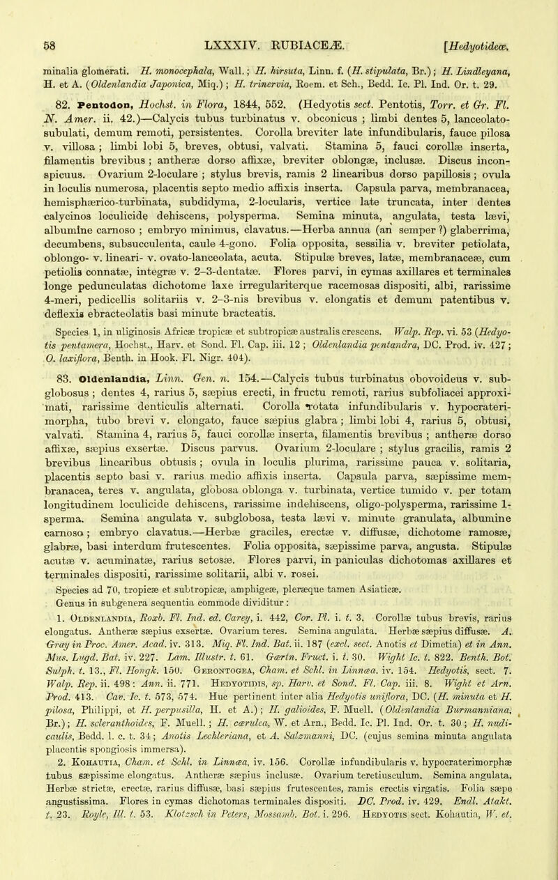 minalia glomerati. H. monocepkala, Wall.; H. hirsuta, Linn. f. {H. stipulata, Br.) ; H. Lindleyana, H. et A. {Oldcnlandia Japonica, Miq.) ; H. trincrvia, Eoem. et Sch., Bedd. le. Pl. Ind. Or. t. 29. v 82. Pentodon, Huclist. in Flora, 1844, 552. (Hedyotis sed. Pentotis, Torr. et Gr. Fl. N. Amer. ii. 42.)—Calycis tubus turbinatus v. obconicus ; limbi dentes 5, lanceolato- Bubulati, demura remoti, persistentes. CoroUa breviter late infiindibularis, fauce pilosa V. viUosa ; limbi lobi 5, breves, obtusi, valvati. Stamina 5, fauci coi-oUBe inserta, filamentis brevibua ; antherae dorso afExse, breviter oblongse, inclusae. Discus incon- spicuus. Ovarium 2-loculare ; stylus brevis, ramis 2 linearibus dorso papiUosis ; ovxila in locuUs numerosa, placentis septo medio affixis inserta. Capsiila parva, membranacea, hemispha;rico-turbinata, subdidyma, 2-loculai'is, vertice late truncata, inter dentea calycinos locuUcide dehiscens, polysperma. Semina minuta, angulata, testa Isevi, albumlne camoso ; embryo minimus, clavatus.—Herba annua (an semper ?) glaberrima, decumbens, subsucculenta, ca\ile 4-gono. Folia opposita, sessiUa v. breviter petiolata, oblongo- V. Uneari- v. ovato-lanceolata, acuta. Stipulae breves, latse, membranacese, cum . petioUs connatae, integrse v. 2-3-dentat8e. Flores parvi, in cymas axiUares et terminales longe pedunculatas dichotome laxe irregulariterque racemosas dispositi, albi, rarissime 4-meri, pediceUis soUtariis v. 2-3-nis brevibus v. elongatis et demuni patentibus v. deflexis ebracteolatis basi minute bracteatis. . Species 1, in uUginosis Africae tropicae et subtropicse austraUs crescens. Walp. Ecp. vi. 53 {Hedyo- tis 'pentaniera, Hoehst., Harv. et Sond. Fl. Cap. iii. 12 ; Oldcnlandia paitandra, DC. Prod. iv. 427; 0. laxiflora, Benth. in Hook. Fl. Nigr. 404). 83. Oldenlandia, Linn. Gen. n. 154.—Calycis tubus turbinatus obovoideus v. sub- globosus ; dentes 4, rarius 5, ssepius erecti, in fructu remoti, rarius subfoUacei approxi- mati, rarissime denticuUs alternati. CoroUa Totata infundibularis v. hypocrateri- morpha, tubo brevi v. elongato, fauce ssepius glabra ; limbi lobi 4, rarius 5, obtusi, valvati. Stamina 4, rarias 5, fauci coroUai inserta, filamentis brevibus ; antherse dorso affixPD, srepius exsertie. Discus parvus. Ovarium 2-locuIare ; stylus gracUis, ramis 2 brevibus Unearibus obtusis; ovula in loculis plurima, rarissime pauca v. soUtaria, placentis septo basi v. rarius medio affixis inserta. Capsula parva, soepissime mem- branacea, teres v. angulata, globosa oblonga v. turbinata, vertice tximido v. per totam longitudinem loculicide dehiscens, rarissime indehiscens, oligo-polysperma, rarissime 1- sperma. Semina angulata v. subglobosa, testa Isevi v. minute granxilata, albumine carnoso; embryo clavatus.—Herbas graciles, erectse v. difiT.isse, dichotome ramosse, glabrse, basi interdum frutescentes. Folia opposita, sajpissime parva, angusta. Stipulse acutse V. acuminatfe, rarius setoste. Flores parvi, in paniculas dicliotomas axUlares et terminales disposiri, rarissime solitarii, albi v. rosei. Species ad 70, tropicae et suLtropicse, amphigefe, pleraeque tamen Asiaticae. Genus in subgenera sequentia commode dividitur: 1. Oldenxandia, Roxh. Fl. Ind. ed. Carey, i. 442, Cor. Pl. i. t. 3. CoroUse tubus brevis, rarius elongatus. Antherse saepius exsertae. Ovarium teres. Semina angulata. Herbae sgepius difFusse. A. Gray in Proc. Amer. Acad. iv. 313. Miq. Fl. Ind. Bat. ii. 187 {exol. sect. Anotis et Dimetia) et in Ann. Mus. Lugd. Bat. iv. 227. Lam. Blustr. t. 61. G(srtn. Fruct. i. i. 30. Wiffht Ic. t. 822. Benth. Boti Sulph. t. 13., Fl. Homgk. 150. Geeoxtogba, Cham. et Schl. in Linnaa. iv. 154. Hedyotis, sect. 7. Walp. Rep. ii. 498: Ann. ii. 771. Hedyotidis, sp. Harv. et Sond. Fl. Cap. iii. 8. Wight et Arn. Prod. 413. Cav. Ic. t. 573, 574. Huc pertinent inter alia Hedyotis uniflora, DC. {H. minuta et H. pilosa, Philippi, et H. perpvsiUa, H. et A.); H. galioides, F. Muell. {Oldtnlandia Burmanniana, Br.); H. scleranthoidcs, F. Mueli. ; H. ccerulca, W. et Arn., Bedd. Ic. Pl. Ind. Or. t. 30 ; H. nudi- ' caulis, Bedd. 1. c. t. 34; Anoiis Lechleriana, et A. Salsmanni, DC. (cujus semina minuta angulata placentis spongiosis immersa). 2. KoHAUTiA, Cham. et Schl. in Linncsa, iv. 156. CoroUse infundibularis v. hypocraterimorphse tubus saepissime elongatus. Antherae saepius inclusae. Ovarium teretiuseulum. Semina angulata. Herbae strictse, erectse. rarius diffiisae, basi saepias frutescentes, ramis erectis virgatis. Folia saepe angustissima. Flores in cymas dichotomas terminales dispositi. BC. Prod. iv. 429. Endl. Atakt. t. .23. Royle, III. t. 53. Klotzsch in Pctcrs, Mossawi. Bot. i. 296. Hedyotis sect. Kohautia, W. et.