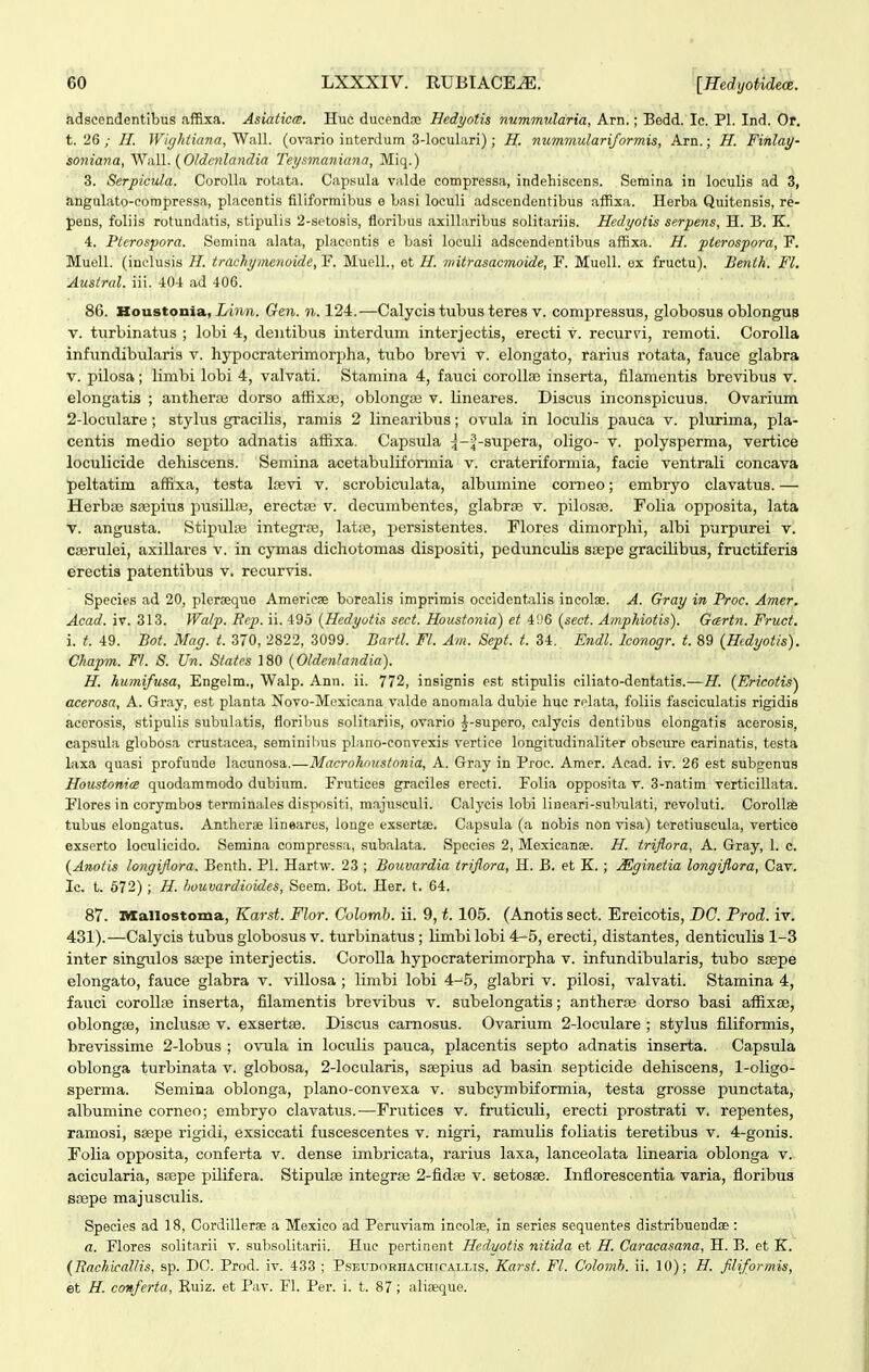 ^' 'T ,. . ■ ;' . ' adscendentibus afRxa. AsiaiKts. HuC ducendre Hedyotis nwmmuldria, Arn.; Bedd. Ic. Pl. Ind. Or. t. 26; //. Wi(jMiana,'WaW. (ovario interdum 3-loculuri); H. nummulariformis, Arn.; H. Finlay- soniana, 'W-M. {0/dnilandia Teysmaniana, Miq.) 3. Serpicula. CoroUa robita. Capsula valde compressa, indehiscens. Seraina in loculis ad 3, angulato-corapressa, placentis filiformibus e basi loculi adscendentibus affixa. Herba Quitensis, re- pens, foliis rotundatis, stipulis 2-setosis, floribiis axillaribus solitariis. Hedyotis serpens, H. B. K. 4. Pterospora. Semina alata, pbicentis e basi loculi adscendentibus affixa. H. pterospord, F. Muell. (inclusis H. trachymenoide, F. MuelL, et H. mitrasacmoide, F. Muell. ex fructu). Benth. Fl. Austral. iii. -iO-t ad 406. 86. Houstonla, Xmii. Gen. n. 124.—Calycis tubus teres v. compressus, globosus oblongus V. turbinatus ; lobi 4, dentibus interdum interjectis, erecti v. recurvi, remoti. Corolla infundibulai'is v. hypocraterimorpha, tubo brevi v. elongato, rarius rotata, fauce glabra V. pilosa; limbi lobi 4, valvati. Stamina 4, fauci corolla3 inserta, filamentis brevibus v. elongatis ; antherre dorso aftixae, oblongse v. lineares. Discus inconspicuus. Ovarium 2-loculare; stylus gracilis, ramis 2 linearibus; ovula in loculis pauca v. plurima, pla- centis medio septo adnatis affixa. Capsula ^-^-supera, oligo- v. polysperma, vertice loculicide dehiscens. Semina acetabuliformia v. crateriformia, facie ventrali concava peltatim affixa, testa Ijevi v. scrobiculata, albumine comeo; embryo clavatus. — Herbse ssepius pusiUaj, erectaj v. decumbentes, glabrce v. pilosas. Folia opposita, lata V. angusta. Stipulie integrffi, latte, persistentes. Flores dimorphi, albi purpurei v. cserulei, axillares v. in cymas dichotomas dispositi, pedunculis ssepe graciUbus, fructiferis erectis patentibus v. recurvis. Species ad 20, pleraeque Americse borealis imprimis occident.aIis incolae. A. Gray in Proc. Amer. Acad. iv. 313. Walp. Bcp. ii. 495 {Hcdyutis sect. Houstonia) et 4i.'6 {sect. Amphiotis). Gartn. Fruct. i. t. 49. Bot. Mag. t. 370, 2822, 3099. Bartl. Fl. Ain. Sept. t. 34. Endl. lconogr. t. 89 {Hidyotis). Chapm. Fl. 8. Un. States 180 {Oldejilandia). H. humifusa, Engelm., Walp. Ann. ii. 772, insignis est stipulis ciliato-dentatis.—H. {Ericotis) acerosa, A. Gray, est planta Novo-Mexicana valde anomala dubie huc relata, foliis fasciculatis rigidis acerosis, stipulis subulatis, floribus solitariis, ovario |-supero, calycis dentibus elongatis acerosis, capsula globosa crustacea, seminibus plano-convexis vertice longitudinaliter obscure carinatis, testa laxa quasi profunde lacunosa.—Macrohnustonia, A. Gray in Proc. Amor. Acad. iv. 26 est subgenus Houstonia quodammodo dubium. Frutices graciles erecti. Folia opposita v. 3-natim verticiUata. Flores in corymbos terminales dispositi, majusculi. Calycis lobi lineari-subulati, revoluti. Corollsfe tubus elongatus. Ancherae lineares, louge essertse. Cap.sula (a nobis non visa) teretiuscula, vertice exserto loculicido. Semina compressa, subalata. Species 2, Mexicanae. H. triflora, A. Gray, 1. c. {Anotis longiflora. Benth. Pl. Hartw. 23 ; Bouvardia triflora, H. B. et K. ; JEginetia longiflora, Cav. Ic. t. 672); H. houvardioides, Seem. Bot. Her. t. 64. 87. Mallostonia, Karst. Flor. Colomb. ii. 9, t. 105. (Anotis sect. Ereicotis, DC. Prod. iv. 431).—Calycis tubus globosus v. turbinatus ; limbi lobi 4-5, erecti, distantes, denticulis 1-3 inter singulos sa;pe interjectis. Corolla hypocraterimorpha v. infundibularis, tubo ssepe elongato, fauce glabra v. villosa; limbi lobi 4-5, glabri v. pilosi, valvati. Stamina 4, fauci corollse inserta, filamentis brevibus v. subelongatis; antherse dorso basi affixae, oblongse, inclusse v. exsertse. Discus camosus. Ovarium 2-loculare ; stylus filiformis, brevissime 2-lobus ; ovula in loculis pauca, placentis septo adnatis inserta. Capsula oblonga turbinata v. globosa, 2-locularis, ssepius ad basin septicide dehiscens, 1-oligo- sperma. Semina oblonga, plano-convexa v. subc^rmbiformia, testa grosse punctata, albumine corneo; embryo clavatus.—Frutices v. fruticuH, erecti prostrati v. repentes, ramosi, ssepe rigidi, exsiccati fuscescentes v. nigri, ramulis foliatis teretibus v. 4-gonis. Eolia opposita, conferta v. dense imbricata, rarius laxa, lanceolata linearia oblonga v. acicularia, ssepe pilifera. Stipulse integrse 2-fidse v. setosae. Inflorescentia varia, floribus Boepe majusculis. Species ad 18, Cordillerae a Mexico ad Peruviam incolae, in series sequentes distribuendae : a. Flores solitarii v. subsolitarii. Huc pertinent Hedyotis nitida et H. Caracasana, H. B. et K. {liachicallis, sp. DC. Prod. iv. 433 ; P.SEUDORnACHiCALLis, Karst. Fl. Colomh. ii. 10); H. filiformis, et H. conferta, Ruiz. et Pav. Fl. Per. i. t. 87; alioeque.