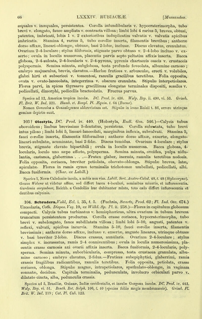 sequales v. insequales, persistentes. Corolla infundibularis v. hypocraterimorpha, tubo brevi v. elongato, fauce ampliata v. contracta villosa; limbi lobi 4 rarius 5, breves, obtusi, patentes, imbricati, lobia 1 v. 2 exterioribus induplicatim valvatis v. valvatis apicibus inibricatis. Stamina 4, rarius 5, tubo corollaj inserta, filamentis brevibus ; antherae dorso affixfe, lineari-oblongfe, obtusaj, basi 2-lobte, inclusse. Discus elevatus, crenulatus. Ovaxium 2-4-Ioculare; stylus filiformis, stigmate parvo obtuso v. 2-4-lobo incluso v. ex- serto; ovula in loculis numerosa, placentis parvis septo peltatim afiixiB inserta. Bacca globosa, 2-4-aulcata, 2-4-Iocularis v. 2-4-pyrena, pyrenis chartaceis osseis v. crustaceis polyspermis. Semina minuta, subglobosa, testa profunde foveolata, alburaine camoso ; embryo majusculus, brevis, clavatus.—Herbse frutices v. arbusculse, erecti v. volubiles, glabri hirti et subsericei v. tomentosi, ramulis gracilibus teretibus. Folia opposita, ovata V. ovato-lanceolata, integerrima v. obscure crenulata. Stipulae interpetiolares. Flores parvi, in spicas thyrsasve gracillimas elongatas terminales dispositi, sessiles v. pedicellati, dimorphi, pedicellis bracteolatis. Fructus parvus. Speeies ad 12, Americae tropicae incolee. DC. Frocl. iv. 436. Walp. Bep. ii. 490, vi. 53. Griseb. Fl. Brit. W. Ind. 321. Humb. et. Bonpl. Pl. JEquin. t. 64 {Buena). Nomen Gonzalea a Gomalagunea abbreviatum est. Stipula; in icone Ruizii t. 86, errore utrinque geminse depictse sunt, 103? Olostyla, DC. Prod. iv. 440. (Holostyla, Endl. Gen. 546.)—Calycis tubus obovoideiis ; limbus brevissime 5-dentatus, persistens. CoroUa subretata, tubo brevi intus piloso ; limbi lobi 5, lineari-lanceolati, marginibus inflexis, subvalvati. Stamina 5, fauci coroUge inserta, filamentis filiformibus ; antherse dorso affixse, exsertse, elongato- lineari-subidatEe, acuminatae, basi 2-fidse. Discus tumidus. Ovariiun 4-Ioculare ; stylus brevis, stigmate clavato bipartibUi ; ovula in loculis numerosa. Bacca globosa, 4- locularis, loculo uno ssepe efFoeto, polysperma. Semina minuta, ovoidea, pulpa nidu- lantia, castanea, glaberrima . . .—Frutex glaber, inermis, ramulis teretibus nodosis. Folia opposita, coriacea, breviter petiolata, obovato-oblonga. Stipulae breves, latse, apiculatse- Flores in ramis cymse terminalis trichotomse imibellati, pediceUati, albi. Bacca fusiformis. {Char. ex Labill.) Species 1, Novse CaledoniDe incola, a nobis nonvisa. Lahill. Sert. Austro-CaJed. 48, t. 48 {Stylocoryna). Genus Weherm ut videtur affine, sed diiFert bacca 4-ioculari, seminibus miuutis, et inflorescentia. Gardenia corymbosa, Eeictib. a CandoUio huc dubitanter relata, toto caelo differt inflorescentia et dentibus calycinis. 104. Schradera,FaW, Ecl. i. 35, t. 5. (Fuchsia, Swartz, Prod. 62; Fl. Ind. Occ. 674.) Urceolaria, Coth. Dispos. Veg. 10, ex Willd. Sp. Pl. ii. 238.)—Flores in capitulum globosuni compacti. Calycis tubus turbinatus v. hemisphsericus, ultra ovarium in tubum brevem truncatum persistentem productus. CoroUa crasse coriacea, hypocraterimorpha, tubo brevi v. subelongato, faiice subdilatata villosa ; limbi lobi 5-10, angusti, patentes v. reflexi, valvati, apicibus incurvis. Stamina 5-10, fauci coroUse inserta, fUamentis brevissimis ; antherce dorso aflixa3, inclusse v. exsertse, anguste lineares, utrinque obtusse V. basi breviter 2-lobBe. Discus crassus, annularis. Ovarium 2-4-loculare ; stylus simplex v. incrassatus, ramis 2-4 conniventibus ; ovula in locuHs numerosissuna, pla- centis crasse carnosis axi ovarii affixis inserta. Bacca fusiformis, 2-4-locularis, poly- sperma. Semina minuta, suborbicularia, compressa, testa crustacea granulata, albu- mine carnoso ; embryo clavatus, 2-fidus.—Frutices subepiphytici, glaberrimi, ramis crassis fragiUbus radicantibus, ramulis teretibus. FoUa opposita, petiolata, crasse coriacea, oblonga. Stipulse magnse, intrapetiolares, spathulato-oblongse, in vaginam connatse, deciduse. Capitula terminalia, pedunculata, involucro orbiculari parvo v. dUatato cincta, alba, pedunculis crassis. Species ad 5, BrasiUae, Guianse, Indise occidentalis, et insuliB Gorgona incolae. BC. Prod. iv. 443. Wal^p. Eep. vi. 51. Benth. Bot. Sidph. 106, t, 40 (species foliis magis membranaceis). Griseb. Fl, Brit. W. Ind. 319; Cat, Pl. Cub. 123.
