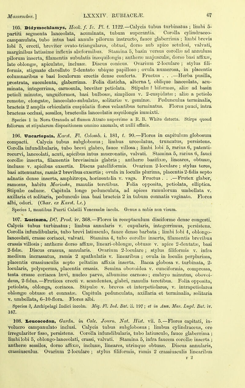 105. DidymocWamys, Hook. f. Ic. Fl. t. 1122.—Calycis tubus turbinatus ; limbi 5- partiti segmenta lanceolata, acuminata, tubum superantia. Corolla cylindraceo- campanulata, tubo intus basi annulo pilorum instructo, fauce glaberrima ; limbi brevis lobi 5, erecti, breviter ovato-triangulares, obtusi, dorso sub apice setulosi, valvati, marginibus latissime inflexis alseformibus. Stamina 5, basin versus corolltB ad annulum pilorum inserta, filamentis subulatis inasquilongis; antherfe majusculffl, dorso basi affixte, late oblongfe, apiculatse, inclusse. Discus conicus. Ovarium 2-loculare ; stylus fili- formis, stigmate clavellato 2-dentato ubique papilloso; ovula numerosa, in placentis columnaribus e basi loculorum erectis dense conferta. Fructus . . .—Herba pusilla, prostrata, succulenta, glaberrima. Folia disticha, altema !, oblique lanceolata, acu- minata, integerrima, carnosula, breviter petiolata. Stipulfe ? biformes, alias ad basin petioli minutse, unguiformes, basi bulbosse, simplices v. 2-cuspidatse ; aliae a petiolo remotae, elongatse, lanceolato-subxilatas, solitarias v. geminaj. Pedunculus terminalis, bracteis 2 amplis orbiculatis cuspidatis fiores velantibus terminatus. Flores pauci, intra bracteas occlusi, sessiles, bracteolis lanceolatis asquilongis immixti. Species 1 in Nova Granada ad flumen Atrato nuperrime a R. B. White detecta. Stirps quoad foliorum et stipularum dispositionem omnino anomala, et nulli affinis. 106. Vncariopsis, Karst. Fl. Colomb. i. 181, t. 90.—Flores in capitulum globosum compacti. Calycis tubus subglobosus; limbus urceolatus, truncatus, persistens. CoroUa infundibularis, tubo brevi glabro, fauce villosa; limbi lobi 5, rarius 6, patenti- recurvi, lanceolati, acuti, apicibus intus mucronatis, valvati. Stamina 5, rarius 6, fauci coroUte inserta, iilamentis brevissimis glabris ; antlierfe basifixse, lineares, obtusas, inclusae v. apicibus exsertis. Discus patelliformis. Ovariiim 2-loculare ; stylus teres, basi attemiatus, ramis 2 brevibus exsertis; ovula in loculis plurima, placentis 2-fidis septo adnatis dense inserta, ampliitropa, horizontalia v. vaga. Fructus . . .—Frutex glaber, ramosus, habitu Mormdce, ramulis teretibus. Folia opposita, petiolata, elliptica. Stipulse caducse. Capitula longe pedunculata, ad apices ramulorum umbellata v. axiUaria et solitaria, pedimculo ima basi bracteis 2 in tubum connatis vaginato. Florea albi, odori. {Char. ex Karst. l.c.) Species 1, montibus Puerti Cabelli Venezuelae incola. Genus a nobis non visum. 107. Iiucinsea, DC. Frod. iv. 368.—Flores in receptaculum disciforme dense congesti. Calycis tubus turbinatus; limbus annularis v. cupularis, integerrimus, persistens. CoroUa infundibularis, tubo brevi latiusculo, fauce dense barbata ; limbi lobi 4, oblongo- lanceolati, crasse coriacei, valvati. Stamina 4, tubo corollse inserta, filamentis brevibua crassis viUosis ; antherse dorso aiExse, lineari-oblongse, obtusse v. apice 2-dentat3e, basi 2-fid8e. Discus crassus, annularis. Ovarium 2-IocuIare ; stylus filiformis v. infra medium incrassatus, ramis 2 spathulatis v. linearibus ; ovula in locuUs perplurima, placentis crassiusculis septo peltatim aifixis inserta. Bacca globosa v. tiirbinata, 2- locularis, polysperma, placentis crassis. Semina obovoidea v. cuneiformia, comjDressa, testa crasse coriacea Isevi, nucleo parvo, albumine carnoso ; embryo mimitus, obovoi- deus, 2-fidus. —Frutices erecti v. scandentes, glabri, ramuUs teretibus. Folia opposita, petiolata, oblonga, coriacea. Stipulse v. breves et interpetiolares, v. intrapetiolarea oblongae obtusse et connatse. Capitula pedunculata, axiUaria et terminaUa, solitaria v. umbellata, 6-10-flora. Flores albi. Species 3, Archipelagi Indici incolse. Miq. Fl. Ind. Bat. ii. 197; et in Ann. Mus. Itigd. Bat. iv. 187. 108. Xeucocodon, Gardn. in Calc. Journ. Nat. Hist. vii. 5.—Flores capitati, in- volucro campanulato inclusi. Calycis tubus subglobosus ; limbus cylindraceus, ore ii-regulariter fisso, persistens. CoroIIa infundibularis, tubo latiusculo, fauce glaberrima ; limbi lobi 5, oblongo-lanceolati, crassi, valvati. Stamina 5, infra faucem coroUa^ inserta ; antherse sessiles, dorso afiixEe, inclusse, lineares, utrinque obtusse. Discus annularis,