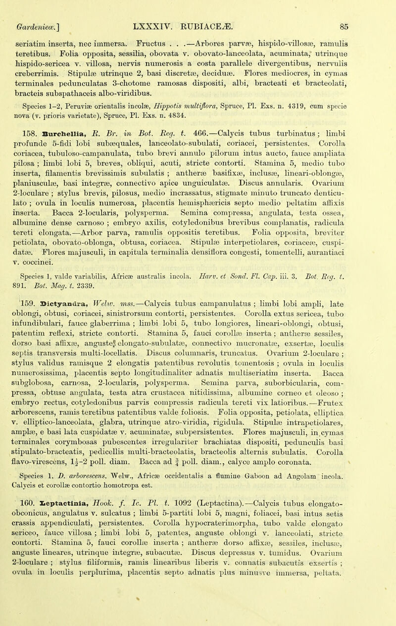 seriatim inserta, nec immersa. Fructus . . .—Arbores parvre, hispido-villosse, ramulis teretibus. Folia oj)posita, sessilia, obovata v. obovato-lanceolata, acuminata,' utrinque hispido-sericea v. villosa, nervis numerosis a costa parallele divergentibus, nervulis creberrimis. Stipulse utrinque 2, basi discretie, deciduse. Flores mediocres, in cymas terminales pedunculatas 3-chotome ramosas dispositi, albi, bracteati et bracteolati, bracteis subspathaceis albo-viridibus. Species 1-2, Pemviae orientalis incolse, Hippotis muUiflora, Spruce, Pl. Exs. n. 4319, cum specie nova (v. prioris varietate), Spruco, Pl. Exs. n. 4834. 158. Burctaellia, R. Br. in Bot. Reg. t. 466.—Calycis tubiis turbinatus; limbi profunde 5-fidi lobi subaequales, lanceolato-subulati, coriacei, persistentes. Corolla coriacea, tubuloso-campanulata, tubo brevi annulo pilorum intus aucto, fauce ampliata pilosa ; limbi lobi 5, breves, obliqui, acuti, stricte contorti. Stamina 5, medio tubo inserta, filamentis brevissimis subulatis ; antherse basifixee, inclusje, lineari-oblongse, planiusculae, basi integrse, connectivo apice unguiculatse. Discus annularis. Ovarium 2-IocuIare ; stylus brevis, pilosus, medio incrassatus, stigmate minuto truncato denticu- lato ; ovula in loculis numerosa, placentis hemisphsericis septo medio peltatim aflixis inserta. Bacca 2-IocuIaris, polysperma. Semina compressa, angulata, testa ossea, albumine dense carnoso ; embryo axilis, cotyledonibus brevibiis complanatis, radicula tereti elongata.—Arbor parva, ramulis oppositis teretibus. Folia opposita, breviter petiolata, obovato-oblonga, obtusa, coriacea. Stipulse interpetiolares, coriaceas, cuspi- datse. Flores majusculi, in capitula terminalia densiflora congesti, tomenteUi, aurantiaci V. coccinei. Species 1, valde variabilis, Africae australis incola. Harv. et Sond. Fl. Cap. iii. 3. Bot. Rcg. i. 891. Bot. Macj. i. 2339. 159. Sictyandra, Welw. mss.—Calycis tubus campanulatus ; limbi lobi ampli, late oblongi, obtusi, coriacei, sinistrorsum contorti, jpersistentes. CoroIIa extus sericea, tubo infundibulari, fauce glaberrima ; limbi lobi 5, tubo longiores, lineari-oblongi, obtusi, patentim reflexi, stricte contorti. Stamina 5, fauci corollcie inserta; antherse sessiles, dorso basi afiixse, angustef. elongato-subulatfe, connectivo mucronatse, exsertse, loculis septis transversis muIti-IoceUatis. Discus columnaris, truncatus. Ovarium 2-Ioculare ; stylus validus ramisque 2 elongatis patentibus revolutis tomentosis ; ovula in loculis numerosissima, placentis septo longitudinaliter adnatis multiseriatim inserta. Bacca subglobosa, carnosa, 2-Iocularis, polysperma. Semina parva, suborbicularia, com- pressa, obtuse angulata, testa atra crustacea nitidissima, albumine corneo et oleoso ; embryo rectus, cotyledonibus parvis compressis radicula tereti vix latioribus.—Fru.tex arborescens, ramis teretibus patentibus valde foliosis. Folia opposita, petiolata, elliptica V. elliptico-lanceolata, glabra, utrinque atro-viridia, rigidula. Stipulaj intrapetiolares, ampIiB, e basi lata cuspidatse v. acuminatai, subi^ersistentes. Flores majusculi, in.cymas terminales corymbosas pubescentes irregulariter brachiatas dispositi, pedunculis basi stipulato-bracteatis, pedicellis multi-bracteolatis, bracteolis alternis subulatis. Corolla flavo-virescens, lj-2 poU. diam. Bacca ad | poll. diam., calyce amplo coronata. v Species 1, I). arhorescens. Welw., Africae occidentalis a ■flumine Gaboon ad Angolam incola. Calycis et corollse contortio homotropa est. 160. l^eptactlnia, Hook. f. Ic. Pl. t. 1092 (Leptactina).—Calycis tubus elongato- obconicus, angidatus v. sulcatus ; Umbi 5-partiti lobi 5, magni, foliacei, basi intus setis crassis appendiculati, persistentes. Corolla hypocraterimorjjha, tubo valde elongato sericeo, fauce villosa ; limbi lobi 5, patentes, anguste oblongi v. lanceolati, stiicte contorti. Stamina 5, fauci corollse inserta ; antherse dorso aflixse, sessiles, inclusaj, anguste lineares, utrinque integrge, subacutie. Discus depressus v. tumidus. Ovarium 2-IocuIare ; stylus filiformis, ramis linearibus liberis v. connatis subacutis exsertis ; ovula in loculis perplurima, placentis septo adnatis plus minu^jve immersa, peltata.