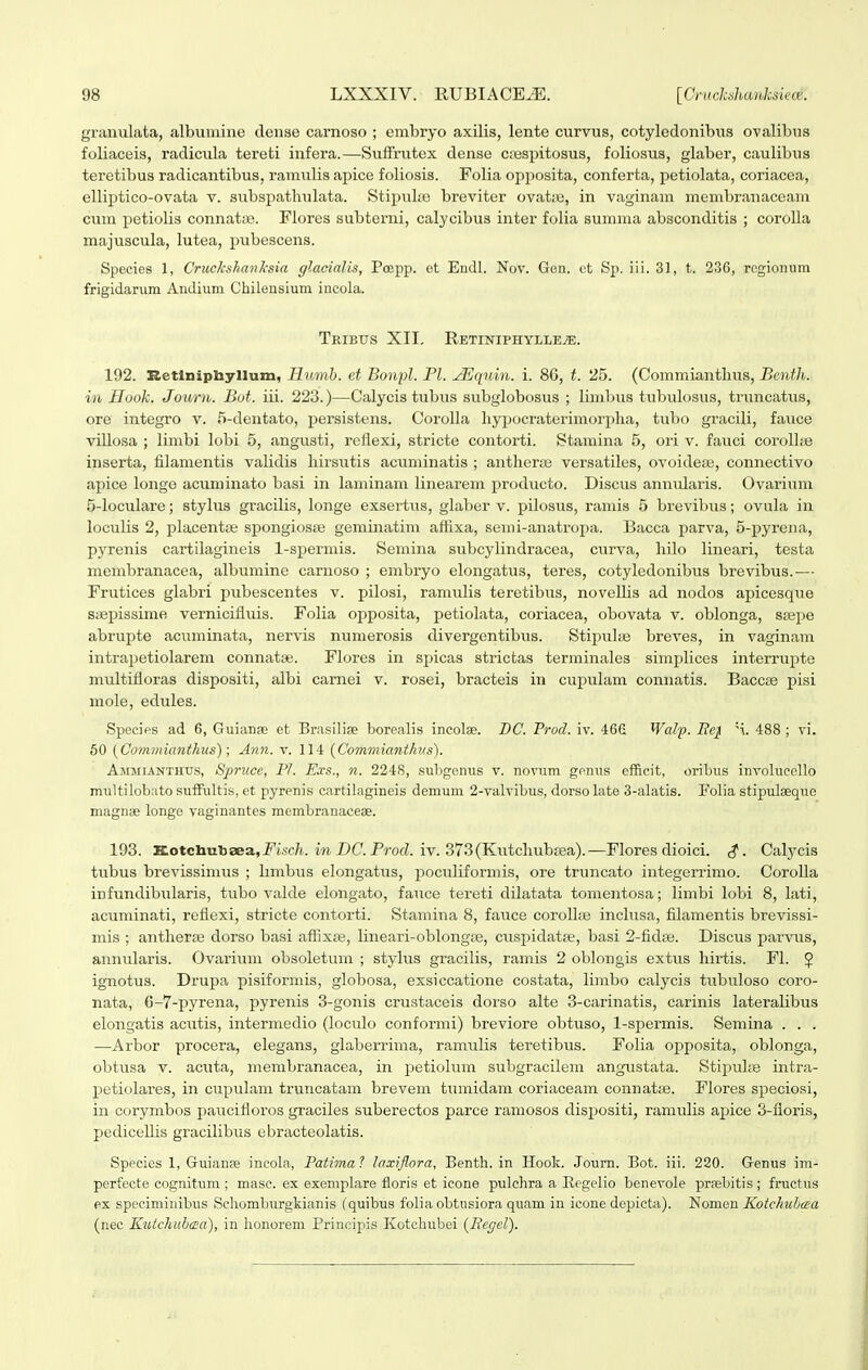 granulata, albuniiiie deuse carnoso ; embryo axilis, lente curvus, cotyledonibiis ovalibus foliaceis, radicula tereti infera.—Suffnitex dense crespitosus, foliosus, glaber, caulibus teretibus radicantibus, ramulis apice foliosis. Folia opi^osita, conferta, petiolata, coriacea, elliptico-ovata v. subspathulata. Stipuhe breviter ovatie, in vaginam membranaceam cum petioUs connat;B. Flores subterni, calycibus inter folia summa absconditis ; coroUa majuscula, lutea, pubescens. Species 1, Cruckshanksia glacialis, Poepp. et Eiidl. Nov. Gen. et Sp. iii. 31, t. 236, regionum frigidarum Andium Chilensium incola. Tribtjs XII. Retiniphylle^. 192. Betlnipbyllum, Hnmb. et Bonpl. Pl. ^qnin. i. 86, t. '25. (Commianthus, Bcnth. in Uook. Journ. Bot. iii. 223.)—Calycis tubus subglobosus ; limlnis tubulosus, truncatus, ore integro v. 5-dentato, persistens. CorolLa hypocraterimorpha, tubo graciU, fauce viUosa ; Umbi lobi 5, angusti, reflexi, stricte contorti. Stamina 5, ori v. fauci coroU;e inserta, filamentis vaUdis hirsutis acuminatis ; anthera^ versatiles, ovoidese, connectivo apice longe acuminato basi in laminam Unearem producto. Discus annularis. Ovarium 5-loculare; stylus graciUs, longe exsertus, ghaber v. pilosus, ramis 5 brevibus; ovuLa in loculis 2, placentte spongiosas geminatim affixa, semi-anatroj)a. Bacca parva, 5-pyrena, pyrenis cartilagineis 1-spermis. Semina subcyUndracea, curva, hilo Uneari, testa membranacea, albumine carnoso ; embryo elongatus, teres, cotyledonibiis brevibus.—• Frutices glabri pubescentes v. pilosi, ramuUs teretibus, noveUis ad nodos apicesque saepissime vernicifluis. FoUa opposita, petioLata, coriacea, obovata v. oblonga, ssepe abrupte acuminata, nervis numerosis divergentibus. Stipuhe breves, in vaginam intraijetiolarem connatse. Flores in spicas strictas terminales simpUces interrui^te multifloras dispositi, albi camei v. rosei, bracteis in cuiJuhim connatis. Bacc;e pisi mole, edules. Species ad 6, Guianse et Brasili» boreaUs incolse. DC. Frod. iv. 466 Walp. Bc} 'i. 488 ; vi. 50 {Commianthus); Ann. v. 114 {Commianthts). AjmuNTHUs, Spruce, Pl. Exs., n. 2248, subgenus v. novum genus efficit, orihus invohiceUo multilobato sufiFultis, et pyrenis cartilagineis demum 2-valvibus, dorso late 3-alatis. Foha stipidaeque magnse longe vaginantes membranaceee. 193. Kotchubaeaji^isc/i. m DC. ProfZ. iv. 373(Kutchubsea).—Flores dioici. $. Cal^^cis tubus brevissimus ; Umbus elongatus, pocidiformis, ore truncato integerrimo. CoroUa infundibularis, tubo valde elongato, fauce tereti dilatata tomentosa; Umbi lobi 8, Lxti, acuminati, reflexi, stricte contorti. Stamina 8, fauce coroUss incUisa, filamentis brevissi- niis ; anthera; dorso basi afiixpe, Uneari-oblongre, cuspidatpe, basi 2-fidse. Discus parvus, annularis. Ovarium obsoletum ; styhis gracilis, ramis 2 oblongis extus hirtis. FL % ignotus. Drupa pisiformis, globosa, exsiccatione costata, Umbo calycis tubuloso coro- nata, C-7-pyrena, pyrenis 3-gonis crustaceis dorso alte 3-carinatis, carinis lateraUbus elongatis acutis, intermedio (loculo conformi) breviore obtuso, 1-spermis. Semina . . . —Arbor procera, elegans, glaberrima, ramuUs teretibus. FoUa opposita, oblonga, obtusa V. acuta, menibranacea, in petiolum subgracilem angustata. StipuLe intra- petiolares, in cupulam truncatam brevem tumidam coriaceam connatse. Flores speciosi, in corj^mbos paucifloros graciles suberectos parce ramosos dispositi, ramuUs apice 3-floris, pediceUis gracilibus ebracteolatis. Sppcies 1, Guianfe incola, Patima t laxiflora, Benth. in Hook. Journ. Bot. iii. 220. Genus im- perfecte cognitum ; masc. ex exemplare floris et icone pulehra a Eegeno bcnevole pragbitis ; fructus ex specimiiiibus Schomburgkianis (quibus folia obtusiora quam in icone depicta). Nomen Kotchuhcca (nec Kuichitbcea), in lionorem Principis Kotchubei {Regel).