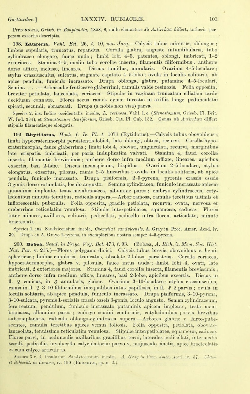 PiTToNioTis, Griseb. in Bonplandia, 1868, 8, nuUo charactere ab Antirrhcea difFort, antheris per- peram exsertis deseriptis. 198. ]baug:eria, Vahl. Ecl. 26, t. 10, non Jacq.—Calycis tubus minutus, oblongus ; limbus cupularis, truncatus, repandus. Corolla glabra, anguste infundibularis, tubo cylindraceo elongato, fauce nuda ; linibi lobi 4-5, patentes, oblongi, imbricati, 1-2 exteriores. Stamina 4-5, medio tubo corollte inserta, filamentis filiformibus ; antherte dorso affixaj, inclusse, lineares. Discus tumidus, annularis. Ovariiim 4-5-locuIare ; stylus crassiusculus, sulcatus, stigmate capitato 4-5-lobo ; ovula in loculis solitaria, ab apice pendula, funiculo incrassato. Drupa oblonga, glabra, putamine 4-5-IocuIari. Semina . . .—ArbuscuIiB fruticesve glaberrimi, ramulis valde resinosis. Folia opposita, breviter petiolata, lanceolata, coriacea. Stipulse in vaginam truncatam ciliatam tarde deciduam connatfe. Flores secus ramos cymse furcat^ in axillis longe pedunculatse spicati, secundi, ebracteati. Drupa (a nobis non visa) parva. Species 2, ins. Indise occidentalis incolae, L. resinosa, Vahl. 1. c. {Stenostnmum, Griseb. Fl. Brit. W. Ind. 334), et Stenostomum densijlorum, Griseb. Cat. Pl. Cub. 132. Genus ab Antirrhma difftrt stipulis lilamentisque elongatis. 199. Rbytidotus, Hook. f. Ic. Pl. t. 1071 (Rytidatus).—Calycis tubus obovoideus ; lirabi hypocraterimorphi persistentis lobi 4, late oblongi, obtusi, recurvi. CoroUa hypo- craterimorpha, fauce glaberrima ; limbi lobi 4, obovati, unguiculati, recurvi, marginibus late crispatis, imbricati, per paria induplicatim valvati. Stamina 4, fauci coroIlsB inserta, filamentis brevissimis ; antherte dorso infra medium aflixae, lineares, apicibus exsertis, basi 2-fid8e. Discus inconspicuus, hispidus. Ovarium 2-5-Ioculare, stylus elongatus, exsertus, pilosus, ramis 2-5 linearibus ; ovula in loculis solitaria, ab apice pendula, funiculo incrassato. Drupa pisiformis, 2-5-pyrena, pyrenis crassis osseis 3-gonis doi-so rotundatis, loculo angusto. Semina cylindracea, funiculo incrassato apicem putaminis implente, testa membranacea, albumine pareo ; embryo cylindracetis, coty- ledonibus minutis tenuibus, radicula supera.—Arbor ramosa, ramulis teretibus ultimis et inflorescentia piiberulis. Folia opposita, gracile petiolata, recurva, ovata, nervosa et creberrime reticulatim venulosa. Stipiilse interi^etiolares, squamosae, caducse. Flores inter minores, axillares, solitarii, pedicellati, pedicello infra florem artictilato, minute bracteolati, Species 1, ins. Sandvicensium incola, Ckomelia? sandvicensis, A. Gray in Proc, Amer. Acad. iv. 39. Drupa ex A. Grayo 2-pyrena, in exemplaribus nostris semper 4-o-pyrena. 200. Bobea, Ga^id. in Freyc. Voy. Bot. 473, t. 93. (Bobsea, A. Bich. inMcm. Soc. Rist. Nat. Pcw. V. 215.)—Flores polygamo-dioici. Calycis tubus brevis, obovoideus v. hemi- sphiBricus; limbus cupularis, truncatus, obsolete 2-Iobus, persistens, CoroIIa coriacea, hypocraterimorpha, glabra v. pilosula, fauce intus nuda ; limbi lobi 4, ovati, late imbricati, 2 exteriores majores. Stamina 4, fauci corollse inserta, filamentis brevissimis ; antherse dorso infra medium affixaj, lineares, basi 2-Iobw, apicibus exsertis. Discus in fl. § conicus, in $ annularis, glaber. Ovarium 3-10-IocuIare ; stylus crassiusculus, ramis in fl. ^ 3-10 filiformibus in^Bqualibus intus papillosis, in fl. ^ 2 parvis ; ovula in loculis solitaria, ab apice pendula, funiculo incrassato. Drupa pisiformis, 3-10-pyrena, 3-10-suIcata, pyrenis 1-seiiatis crassis osseis 3-gonis, loculo angusto. Semen cylindraceum, fere rectum, pendulum, funiculo incrassato putaminis apicem implente, testa mem- branacea, albumine parco ; embryo semini conformis, cotyledonibus j arvis brevibus subcomplanatis, radicula oblongo-cylindracea supera.—Arbores glabros v. hirto-pube- scentes, ramulis teretibus apices versus foliosis. Folia opposita, petiolata, obovato- lanceolata, tenuissime reticulatim venulosa. Stipulae interpetiolares, squaniosae, caducEe. Flores parvi, in pedunculis axillaribus gracilibus terni, laterales pedicellati, intermedio sessili, pedicellis involucello calyculoeformi parvo v. majusculo cinctis, apice bracteolatis. et cum calyce articuk Ms, Species 3 V. 4, Insularum S.iijdrice)isium incola.'. A. Grtiij iii Proc.- Aiuer. Acad. \\-. 37.- Chau),. et Schlecht. in Li7incea, iv. 190 (BuR.vEY.ffi;, sp, n. 2.).