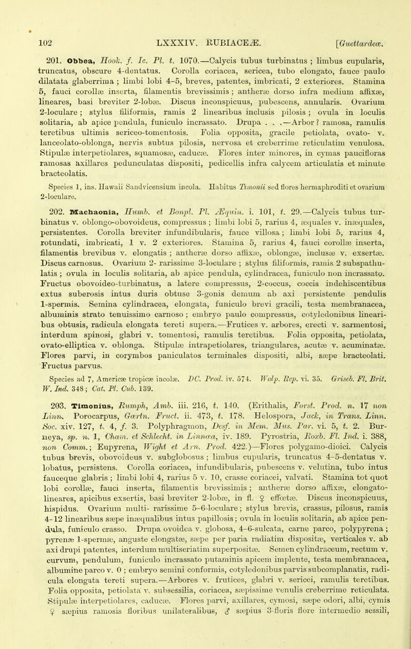 201. Obbea, Hooh. f. Ic. Pl. t. 1070.—Calycis tubus turbinatus ; limbus cupularis, truncatus, obscure 4-dentatus. Corolla coriacea, sericea, tubo elongato, fauce paulo dilatata glaberrim.a ; limbi lobi 4-5, breves, patentes, imbricati, 2 exteriores. Stamina 5, fauci corollse inserta, filamentis brevissimis ; antlierae dorso infra medium aflixai, lineares, basi breviter 2-lobBe. Discus inconspicuus, pubescens, aunularis. Ovarium 2-loculare; stylus filiformis, ramis 2 linearibus inclusis pilosis ; ovula in loculis solitaria, ab apice pondula, funiculo incrassato. Drupa . . . —Arbor ? raiuosa, ramulis teretibus ultimis sericeo-tomentosis. Folia opposita, gracile jDetiolata, ovato- v. lanceolato-oblonga, nervis subtus pilosis, nervosa et creberrime reticulatim venulosa. Stipulse interpetiolares, squamoste, caducse. Flores inter minores, in cymas paucifloras ramosas axillares pedunculatas dispositi, pedicellis infra calycem articulatis et minute bracteolatis. Species 1, ins. Hawaii Sandvicensium incola. Habitus Tiiiionii sedflores hermapliroditi et ovarium 2-loculare, 202. Macbaonia, Sumb. et Bonpl. Pl. JEipiin. i. 101, t. 29.—Calycis tubus tur- binatus v. oblongo-obovoideus, comj)ressvis ; limbi lobi 5, rarius 4, tecpiales v. iuffiquales, persistentes. CoroUa breviter infundibularis, fauce villosa; limbi lobi 5, rarius 4, rotundati, imbricati, 1 v. 2 exteriores. Stauiina 5, rarius 4, fauci coroUse inserta, filamentis brevibus v. elongatis ; antheraj dorso aftix;e, oblongte, inclusse v. exsertae. Discus carnosus. Ovarium 2- rarissime 3-locuIare ; stylus filiformis, ramis 2 subspatliu- latis ; ovula in loculis solitaria, ab apice pendula, cylindracea, funiculo non incrassato. Fructus obovoideo-turbinatus, a latere compressus, 2-coccus, coccis indehiscentibus extus suberosis intus duris obtuse S-gonis demum ab axi persistente penduiis l-spermis. Semina cylindracea, elongata, funiculo brevi gracili, testa membranacea, albuminis strato tenuissimo carnoso ; embryo paulo compressus, cotyledonibus lineari- bus obtusis, radicula elongata tereti suj)era.—Frutices v. arbores, erecti v. sarmentosi, interdum spinosi, glabri v. tomentosi, ramulis teretibus. Folia opposita, petiolata, ovato-elliptica v. oblonga. Stipulse intrapetiolares, triangulares, acutse v. acuminatse. Flores parvi, in corymbos paniculatos terminales dispositi, albi, ssepe bracteolati. Fructus parvus. Species ad 7, Americse tropica incolse. DC. Frod. iv. 57-i. Walp. Ecp. vi. 35. Griscb. Fl. Brit, W. IvbcU 348 ; CaU Pl. Cub. 139. 203. Timonius, Rumph, Amb. iii. 216, i. 140. (Eritlialis, Ford. Prod. n. 17 no7i Lim-i^ Porocarpus, Gairtn. Fruct. ii. 473, t. 178. Helospora, Jac}c, in Trans. Linn. Soc. xiv. 127, t.. 4, /. 3. Polyphragmon, Desf. in Mcm. Mus. Par. vi. 5, t. 2. Bur- neya, sp. lU 1, Chaui. et Schlecht. in Limum, iv. 189. Pyrostria, Roxb. FL Irid. i. 388, oion Comm.; Eupyrena, Wight et Arn^ Ptod. 422.)—Flores polygamo-dioici, Calycis tubus brevis, obovoideus v. subglobosus ; limbus ciipularis, truncatus 4-5-dentatus v. lobatus, persistens. CoroIIa coriacea, infundibularis, pubescens v. velutina, tubo intus fauceque glabris ; limbi lobi 4, rarius 5 v, 10, crasse coriacei, valvati. Stamina tot quot lobi coroilse, fauci inserta, filamentis brevissimis ; antherae dorso affixse, elongato- lineares, apicibus exsertis, basi breviter 2-Iobpe, in fl. 5 eflfoetse. Discus inconspicuus, hispidus. Ovarium niulti- rarissime 5-6-loculare; stylus brevis, crassus, pilosus, ramis 4-12 linearibus ssepe insequalibus intus papillosis; ovula in loculis solitaria, ab apice pen- dula, f uniculo crasso. Drupa ovoidea v. globosa, 4-6-sulcata, carne parco, polypyrena ; pyrense 1-spermse, anguste elongatse, ssepe per paria radiatim dispositse, verticales v. ab axidrupi patentes, interdum multiseriatim superpositt^. Semen cylindraceum, rectum v. curvum, pendulum, funiculo incrassato fiutaminis apicem implente, testa membranacea, albumine parco v. 0 ; embryo semini conformis, cotyledonibus parvis subcomplanatis, radi- cula elongata tereti supera.—Arbores v. frutices, glabri v. sericei, ramidis teretibus. Folia opposita, petiolata v. subsessilia, coriacea, ssepissime venulis creberrime reticulata. Stipulse interpetiolares, caducce. Flores parvi, axillares, cymosi, ssepe odori, albi, cymis $ ssepius ramosis floribus unilateralibuB, i ssepius 3-floris flore intermedio sessili,