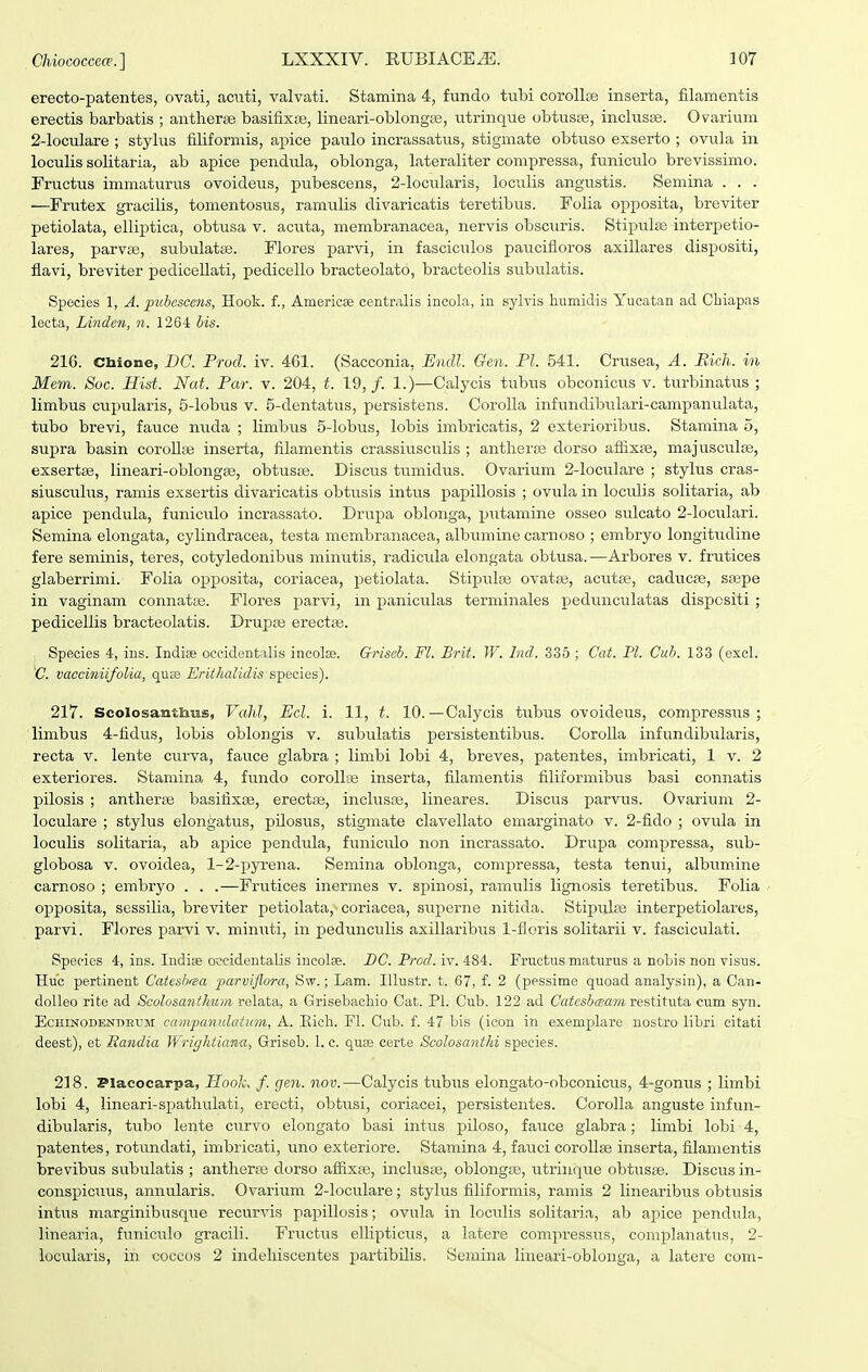erecto-patentes, ovati, acuti, valvati. Stamina 4, fundo tubi coroUfe inserta, filamentis erectis barbatis ; antlierfe basifixfe, lineari-oblongte, utrinque obtusa3, inclusse. Ovarium 2-loculare ; stylus filiformis, apice paulo incrassatus, stigmate obtuso exserto ; ovula in loculis solitaria, ab apice pendula, oblonga, lateraliter compressa, funiculo brevissimo. Fructus immaturus ovoideus, pubescens, 2-locularis, loculis angustis. Semina . . . —Frutex gracilis, tomentosus, ramulis divaricatis teretibus. Folia opposita, breviter petiolata, elliptica, obtusa v. acuta, membranacea, nervis obsciiris. Stipulse interpetio- lares, parvse, subulatas. Flores parvi, in fasciculos paucifloros axillares dispositi, flavi, breviter pedicellati, pedicello bracteolato, bracteolis siibulatis. Species 1, A. piibescens, Hook. f., Americse centralis incola, in sylvis humidis Yucatan ad Cbiapas lecta, Linden, n. 1264 his. 216. Cbione, BQ. Procl. iv. 461. (Sacconia, Endl. Gen. Pl. 541. Crusea, A. Pdch. in Mem. Soc. Hist. Nat. Par. v. 204, t. 19,/. 1.)—Calycis tubus obconicus v. turbinatus ; limbus cupularis, 5-lobus v. 5-dentatus, persistens. Corolla infundibulari-campanulata, tubo brevi, fauce nuda ; limbus 5-lobus, lobis imbricatis, 2 exterioribus. Stamina 5, supra basin corollos inserta, filamentis crassiusculis ; antherse dorso affixse, majusculos, exsertaB, lineari-oblongje, obtusas. Discus tumidus. Ovarium 2-loculare ; stylus cras- siusciilus, ramis exsertis divaricatis obtusis intus papillosis ; ovula in loculis solitaria, ab apice pendula, funiculo incrassato. Drupa oblonga, jjutamine osseo sulcato 2-Ioculari. Semina elongata, cylindracea, testa membranacea, albumine carnoso ; embryo longitudine fere seminis, teres, cotyledonibus minutis, radicula elongata obtusa. —Arbores v. frutices glaberrimi. Folia opposita, coriacea, petiolata. Stipulse ovatse, acutfe, caducse, ssepe in vaginam connatas. Flores parvi, in paniculas terminales pedunculatas dispcsiti; pedicellis bracteolatis. Drupse erectas. Species 4, ins. Indiae occidentalis incolse. Griseb. Fl. Brit. W. Ind. 336 ; Cat. Pl. Cub. 133 (excl. 'C. vacciniifolia, qMSi Eriihalidis'STpedes). 2VT. Scolosanthus, VcM, Ecl. i. 11, t. 10.—Calycis tubus ovoideus, compressus ; limbus 4-fidus, lobis oblongis v. subulatis persistentibus. Corolla infundibularis, recta v. lente curva, fauce glabra ; limbi lobi 4, breves, patentes, imbricati, 1 v. 2 exteriores. Stamina 4, fundo coroUse inserta, filamentis filiformibus basi connatis pilosis ; antherse basifixse, erecta^, inclusse, lineares. Discus parvus. Ovariuni 2- loculare ; stylus elongatus, pilosus, stigmate clavellato emarginato v. 2-fido ; ovula in loculis solitaria, ab apice pendula, funiculo non incrassato. Drupa compressa, sub- globosa V, ovoidea, 1-2-pyrena. Semina oblonga, compressa, testa tenui, albumine carnoso ; embryo . . .—Frutices inermes v. spinosi, ramulis ligTiosis teretibus. Folia opposita, sessilia, breviter petiolata,^ coriacea, superne nitida. Stipulas interpetiolares, parvi. Flores parvi v. minuti, in pedunculis axillaribus, 1-fl.oris solitarii v. fasciculati. Species 4, ins. Indije OOTidentalis incolse. DC. Procl. iv. 484. Fructus maturus a noLis non visus. Huo pertinent Catesh^ea 'parvijlora, Sw.; Lam. Illustr. t. 67, f. 2 (pessime quoad analysin), a Can- dolleo rite ad Scolosanthwn relata, a Grisebachio Cat. Pl. Cub. 122 ad CatcsbceamTestitut-a. cum syn. EcHiNODENDErM ccnnpanulcitum,, A. Eich. Fl. Cub. f. 47 bis (icon in exemplare nostro libri citati deest), et Eandia Wr/ghiianci, Griseb. 1. c. qusE certe Scolosanihi species. 218. Placocarpa, Plooh. f. gm. nov.—Calycis tubus elongato-obconicus, 4-gonus ; limbi lobi 4, lineari-spathulati, erecti, obtusi, coriacei, persistentes. Corolla anguste infun- dibularis, tubo lente curvo elongato basi intus piloso, fauce glabra; limbi lobi 4, patentes, rotundati, imbricati, uno exteriore. Stamina 4, fauci corollse inserta, filamentis brevibus subulatis ; antherse dorso affixse, inclusse, oblongsB, utrinque obtusse. Discus in- conspicuus, annularis. Ovarium 2-IocuIare; stylus filiformis, ramis 2 linearibus obtusis intus marginibusque recurvis papillosis; ovula in loculis solitaria, ab apice pendula, linearia, funiculo gracili. Fructus elHpticus, a latere compressus, complanatus, 2- locularis, in coccos 2 indehiscentes partibilis. Semina lineari-oblonga, a latere com-