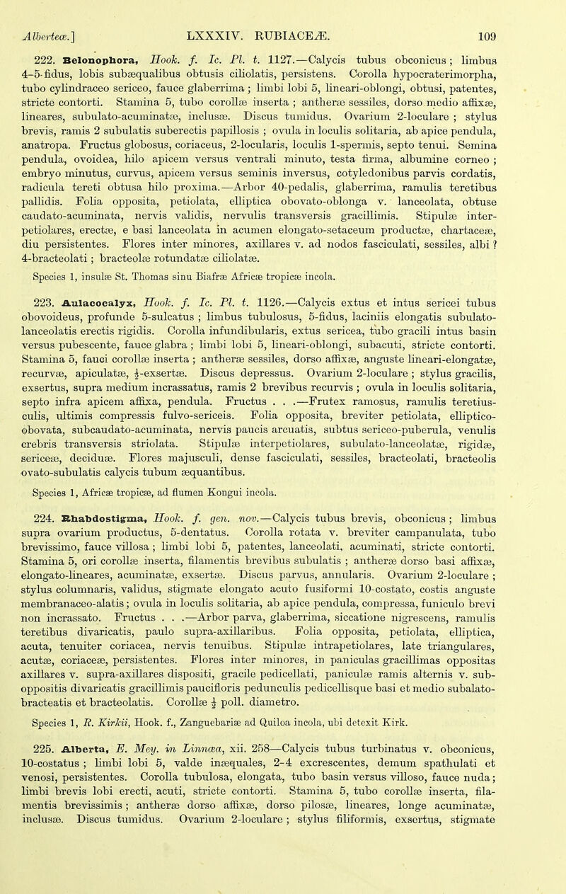 222. Belonopbora, Hook. f. Ic. Fl. t. 1127.—Calycis tiibiis obconicus; limbus 4-5-fidus, lobis subcequalibus obtusis ciHolatis, persistens. Corolla hypocraterimorplia, tubo cylindraceo sericeo, fauce glaberrima ; limbi lobi 5, lineari-oblongi, obtusi, patentes, stricte contorti. Stamina 5, tubo corollas inserta ; antherse sessiles, dorso medio aSixEe, lineares, subulato-acuminat;e, inchisEe. Discus tumidus. Ovarium 2-loculare ; stylus brevis, ramis 2 subulatis suberectis papillosis ; ovula in loculis solitaria, ab apice pendula, anatropa. Fructus globosus, coriaceus, 2-locularis, locuhs l-spermis, septo tenui. Semina pendula, ovoidea, hilo apicem versus ventrah minuto, testa firma, albumine corneo ; embryo minutus, curvus, axjicem versus seminis inversxis, cotyledonibus parvis cordatis, radicula tereti obtusa hilo proxima.—Arbor 40-pedaKs, glaberrima, ramuhs teretibus paUidis. Foha opposita, petiolata, eUiptica obovato-oblonga v. lanceolata, obtuse caudato-acuminata, nervis vahdis, nervuhs transversis gracilhmis. Stipulte inter- petiolares, erectse, e basi lanceolata in acumen elongato-setaceum productiie, chartacetB, diu persistentes. Flores inter minores, axiUares v. ad nodos fasciculati, sessiles, albi ? 4-bracteolati ; bracteol£e rotundatse ciliolatse. Species 1, insulae St. Thomas sinu Biafrae Afriese tropicae incola. 223. Aulacocalyx, Hook. f. Ic. Pl. t. 1126.—Calycis extus et intus sericei tubus obovoideus, profunde 5-sulcatus ; limbus tiibulosus, 5-fidus, laciniis elongatis subulato- lanceolatis erectis rigidis. Corolla infundibularis, extus sericea, tubo gracili intus basin versus pubescente, fauce glabra ; limbi lobi 5, lineari-oblongi, subacuti, stricte contorti. Stamina 5, fauci coroUas inserta ; antherse sessiles, dorso affixse, anguste lineari-elongatae, recurvse, apiculatse, ^-exsertse. Discus depressus. Ovarium 2-loculare ; stylus gracilis, exsertus, supra medium incrassatus, ramis 2 brevibus recurvis ; ovula in loculis solitaria, septo infra apicem afiixa, pendula. Fructus . . .—Frutex ramosus, ramulis teretius- culis, ultimis compressis fulvo-sericeis. Folia opposita, breviter petiolata, elliptico- obovata, subcaudato-acuminata, nervis paucis arcuatis, subtus sericeo-puberula, venulis crebris transversis striolata. StipulEe interpetiolares, subulato-lanceolatae, rigidas, sericese, deciduse. Flores majusculi, dense fasciculati, sessiles, bracteolati, bracteolis ovato-subulatis calycis tubum sequantibus. Species 1, Africae tropicse, ad flumen Kongui incola. 224. Bhabdostigrma, Hook. f. gen. nov.—Calycis tubus brevis, obconicus ; limbus supra ovarium productus, 5-dentatus. CoroUa rotata v. breviter campanulata, tubo brevissimo, fauce villosa ; limbi lobi 5, patentes, lanceolati, acuminati, stricte contorti. Stamina 5, ori coroUse inserta, filamentis brevibus subulatis ; antheras dorso basi affixEe, elongato-lineares, acuminatfe, exsertse. Discus parvus, annularis. Ovarium 2-loculare ; stylus columnaris, validus, stigmate elongato acuto fusiformi 10-costato, costis anguste membranaceo-alatis ; ovula in loculis sohtaria, ab apice pendula, com.pressa, funiculo brevi non incrassato. Fructus . . .—Arbor parva, glaberrima, siccatione nigrescens, ramulis teretibus divaricatis, paulo supra-axillaribus. Folia opposita, petiolata, elliptica, acuta, tenuiter coriacea, nervis tenuibus. Stipulse intrapetiolares, late triangulares, acutse, coriacese, persistentes. Flores inter minores, in paniculas gracillimas oppositas axillares v. supra-axillares dispositi, gracile pedicellati, paniculse ramis alternis v. sub- oppositis divaricatis gracillimis paucifloris pedunculis pedicellisque basi et medio subalato- bracteatis et bracteolatis. CoroUse ^ poU. diametro. Species 1, R. Kirkii, Hook. f., Zanguebariae ad Quiloa incola, ubi detexit Kirk. 225. Alberta, E. Mey. in Linnaea, xii. 258—Calycis tubus turbinatus v. obconicus, 10-costatus ; hmbi lobi 5, valde insequales, 2-4 excrescentes, demum spathulati et venosi, persistentes. CoroUa tubulosa, elongata, tubo basin versus viUoso, fauce nuda; limbi brevis lobi erecti, acuti, stricte contorti. Stamina 5, tubo coroUse inserta, fila- mentis brevissimis; antherse dorso affixse, dorso pilosae, lineares, longe acuminatse, inclusse. Discus tumidus. Ovarium 2-loculare ; stylus filiformis, exsertus, stigmate