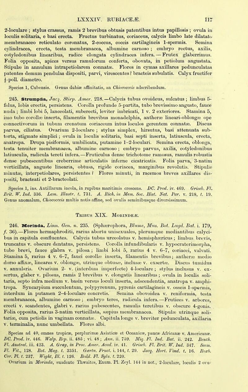 2-loculare ; stylus crasaus, raniis 2 brevibus obtusis patentibus intus papillosis ; ovula in loculis solitaria, e basi erecta. Fructus turbinatus, coriaceus, calycis limbo late dilatato membranaceo reticulato coronatus, 2-coccus, coccis cartilagineis 1-spermis. Semina cylindracea, erecta, testa membranacea, albumine carnoso ; embryo rectus, axilis, cotyledonibus linearibus, radice elongata cylindracea infera. — Frutex glaberrimus. Folia opposita, apices versus ramulorum conferta, obovata, in petiolum angustata. Stipulaj in annulum intrapetiolarem connatse. Flores in cymas axillares pedunculatas patentes demum pendulas dispositi, parvi, virescentes? bracteis subulatis. Calyx fructifer ^-poll. diametro. Species 1, Cubensis. Genus dubiae affinitatis, an Chiococceis adscribendum. 245. Strumpfia, Jacq^. Stirp. Amer. 218.—Calycis tubus ovoideus, sulcatus ; limbus 5- fidus, lobis erectis, persistens. Corolla profunde 5-partita, tubo brevissimo angusto, fauce nuda ; limbi lobi 5, lanceolati, suberecti, leviter imbricati, 1 v. 2 exteriores. Stamina 5, imo tubo coroIIiB inserta, filamentis brevibus monadelphis, antherae lineari-oblongaj ope connectivorum in tubum crenatum coriaceum intus loculos gerentem connatte. Discus parvus, ciliatus. Ovarium 2-locuIare ; stylus simplex, hirsutus, basi attenuata sub- torta, stigmate simplici; ovula in loculis solitaria, basi septi inserta, latiuscula, erecta, anatropa. Drupa pisiformis, umbilicata, putamine 1-2-IocuIari. Semina erecta, oblonga, testa tenuiter membranacea, albumine carnoso ; embryo parvua, axilis, cotyledonibus latiusculia, radicula tereti infera.—Fruticulus dense trichotome ramosus, ramulis robustis dense pubescentibus creberrime articulatis inferne cicatricatis. Folia parva, 3-natim verticillata, anguste linearia, obtusa, rigide coriacea, marginibus revolutis. Stipulie minutae, interpetiolares, peraistentes l Flores minuti, in racemos breves axillares dis- poaiti, bracteati et 2-bracteolati. ^pecies 1, ins. Antillarum incola, in rupibus maritimis crescens. DC. Prod. iv. 469. Griseb. Fl. Brit. W. Ind. 336. Lam. lllustr. t. 731. A. Eich. in Mem. 8oc. Hist. Nat. Par. v. 218, t. 19. Genus anomalum, Chiococceis multis notis affine, sod ovulis seminibusque diversissimum. TrIBUS XIX. MORINDE^. 246. ItXorinda, Linn. Gen. n. 235. (Sphserophora, Blume, Mus. Bot. Lugd. Bat. i. 179, /. 36).—Flores hermaphroditi, rarius abortu unisexuales, plerumque mediantibus calyci- bus in capitula confluentes. Calycis tubus urceolatus v. heniisphasricus ; linibus brevis, truncatus v. obscure dentatus, persistens. Corolla infundibularis v. hypocraterimorplia, tubo brevi, fauce glabra v. pilosa ; linibi lobi 5, rarius 4 v. 6-7, coriacei, valvati. Stamina 5, rarius 4 v. 6-7, fauci corolhe inserta, filamentis brevibus; anther;e medio dorao affixas, lineares v. oblong;e, utrinque obtuste, inclusaj v. exsert;e. Discus tuuiidus V. annularis. Ovarium 2- v. (interduui imperfecte) 4-IocuIare ; stylus inclusua v. ex- sertus, glaber v. pilosus, ramis 2 brevibus v. elongatis linearibus ; ovula in loculis soli- taria, septo infra medium v. basin versus loculi inserta, adscendentia, anatropa v. amjjhi- tropa. Syncari)ium ancculentum, polypyrenum, pyrenis cartilagineis v. osseis 1-spennis, interdum in putamen 2-4-IocuIare concretis. Semina obovoidea v. reniformia, testa membranacea, albumine carnoso ; embryo teres, radicula infera.—Frutices v. arbores, erecti v. scandentes, glabri v. rarius pubeacentes, ramulis teretibua v. obscure 4-gonis. Folia opposita, rarius 3-natim verticillata, saepius membranacea. Stipulaa utrinque soli- tarise, cum petiolis in vaginam connataj. Capitula longe v. breviter pedunculata, axillaria V. terminalia, nunc umbellata. Flores albi. Species ad 40, omnes tropicae, perplurimae Asiaticse et Oceanicae, paucse Africanae v. Americanae. BC. Prod. iv. 446. Walp. Eip. ii. 486 ; vi. 48 ; Ann. ii. 7o9. Miq. Fl. Ind. Bat. ii. 242. Benth. Fl. AustraL iii. 423. A. Gray, in Proc. Amer. Acad. iv. 41. Griseh. Fl. Brit. W. Ind. 347. Secm. F/. Vit., 128. Bot. Mag. t. 3351. i/>Mrf. i. 144, i. 29. Jacq. Hort. Vind. t. 16. Eoxb. Cor. Pl. t. 237. Wight, III. t. 126. Bedd. Fl. 8yh. t. 220. Ovarium in Morinda, suadento Thwaites, Enum. Pl. Zeyl. 144 in not., 2-locuhire, loculis 2 ovu-